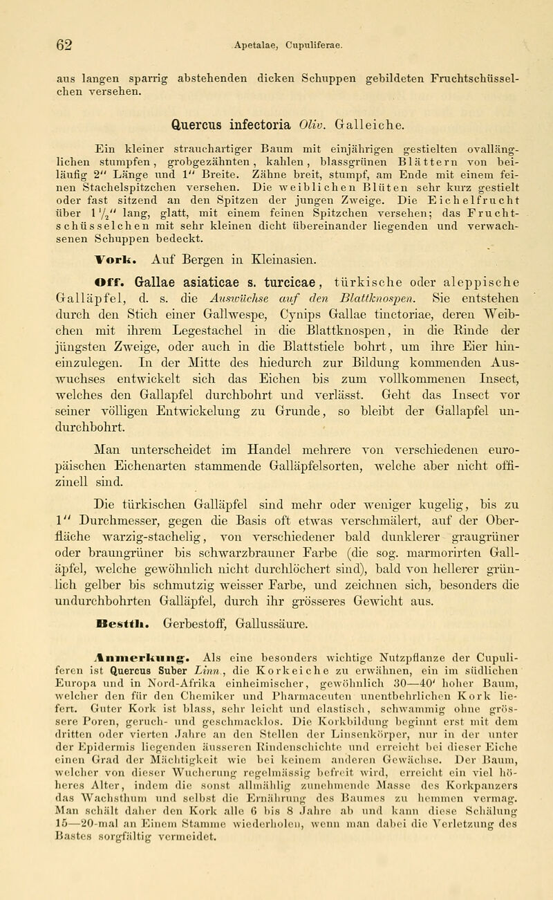 aus langen sparrig abstehenden dicken Schuppen gebildeten Fruchtschüssel- chen versehen. Quercus infectoria Oliv. Galleiche. Ein kleiner strauchartiger Baum mit einjährigen gestielten ovalläng- lichen stumpfen, grobgezähnten, kahlen, blassgrünen Blättern von bei- läufig 2 Länge und 1 Breite. Zähne breit, stumpf, am Ende mit einem fei- nen Stachelspitzchen versehen. Die weiblichen Blüten sehr kurz gestielt oder fast sitzend an den Spitzen der jungen Zweige. Die Eichelfrucht über 1'/i lang, glatt, mit einem feinen Spitzchen versehen; das Frucht- schüsselchen mit sehr kleinen dicht übereinander liegenden und verwach- senen Schuppen bedeckt. Vork. Auf Bergen in Kleinasien. Off. Gallae asiaticae s. turcicae, türkische oder aleppische Galläpfel, d. s. die Auswüchse auf den Blattknospen. Sie entstehen durch den Stich einer Gallwespe, Cynips Gallae tinctoriae, deren Weib- chen mit ihrem Legestachel in die Blattknospen, in die Binde der jüngsten Zweige, oder auch in die Blattstiele bohrt, um ihre Eier hin- einzulegen. In der Mitte des hiedurch zur Bildung kommenden Aus- wuchses entwickelt sich das Eichen bis zum vollkommenen Insect, welches den Gallapfel durchbohrt und verlässt. Geht das Insect vor seiner völligen Entwicklung zu Grunde, so bleibt der Gallapfel un- durchbohrt. Man unterscheidet im Handel mehrere von verschiedenen euro- päischen Eichenarten stammende Galläpfelsorten, welche aber nicht offi- zinell sind. Die türkischen Galläpfel sind mehr oder weniger kugelig, bis zu 1 Durchmesser, gegen die Basis oft etwas verschmälert, auf der Ober- fläche warzig-stachelig, von verschiedener bald dunklerer graugrüner oder braungrüner bis schwarzbrauner Farbe (die sog. marmorirten Gall- äpfel, welche gewöhnlich nicht durchlöchert sind), bald von hellerer grün- lieh gelber bis schmutzig weisser Farbe, und zeichnen sich, besonders die undurchbohrten Galläpfel, durch ihr grösseres Gewicht aus. Hesttli. Gerbestoff, Gallussäure. Anmerkung. Als eine besonders wichtige Nutzpflanze der Cupuli- feren ist Quercus Suber Linn., die Korkeiche zu erwähnen, ein im südlichen Europa und in Nord-Afrika einheimischer, gewöhnlich 30—40' hoher Baum, welcher den für den Chemiker und Pharmaceuten unentbehrlichen Kork lie- fert. Guter Kork ist blass, sehr leicht und elastisch, schwammig ohne grös- sere Poren, geruch- und geschmacklos. Die Korkbildung beginnt erst mit dem dritten oder vierten Jahre an den Stellen der Linsenkörper, nur in der unter der Epidermis liegenden äusseren Rindenschichte und erreicht bei dieser Eiche einen Grad der Mächtigkeit wie bei keinem anderen Gewächse. Der Baum, welcher von dieser Wucherung regelmässig befreit wird, erreicht ein viel hö- heres Alter, indem die sonst allmählig zunehmende Masse des Korkpanzers das Wachsthum und selbst die Ernährung des Baumes zu hemmen vermag. Man schält daher den Kork alle 6 bis 8 Jahre ah und kann diese Schälung 15—'20-mal an Einem .Stamme wiederholen, wenn man dabei die Verletzung des Bastes sorgfältig vermeidet.