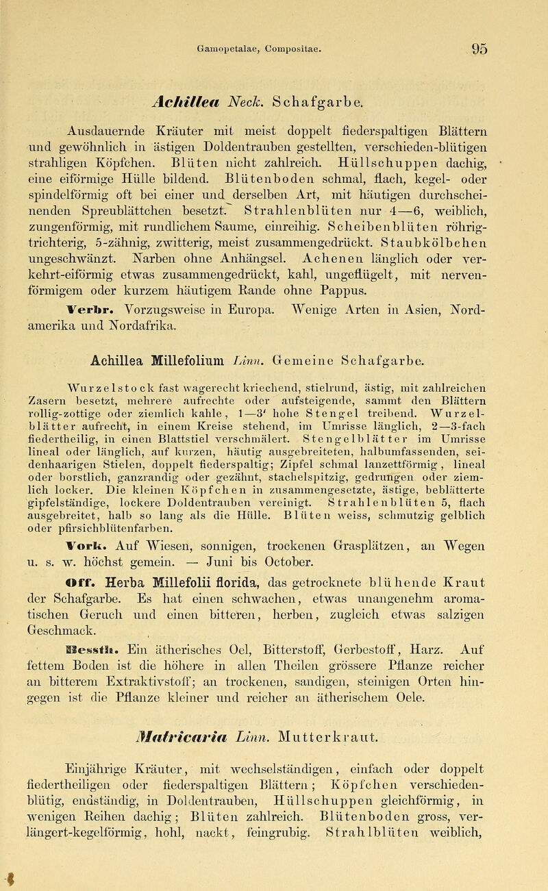 Achillea Neck. Schafgarbe. Ausdauernde Kräuter mii meist doppelt fiederspaltigen Blättern und gewöhnlich in ästigen Doldentrauben gestellten, verschieden-blutigen strahligen Köpfchen. Blüten nicht zahlreich. Hüll schuppen dachig, eine eiförmige Hülle bildend. Blütenboden schmal, flach, kegel- oder spindelförmig oft bei einer und derselben Art, mit häutigen durchschei- nenden Spreublättchen besetzt. Strahlenblüten nur 4—6, weiblich, zungenförmig, mit rundlichem Saume, einreihig. Scheibenblüten röhrig- trichterig, 5-zähnig, zwitterig, meist zusammengedrückt. Staubkölbchen ungeschwänzt. ISTarben ohne Anhängsel. Achenen länglich oder ver- kehrt-eiförmig etwas zusammengedrückt, kahl, ungeflügelt, mit nerven- förmigem oder kurzem häutigem Bande ohne Pappus. Verbr. Vorzugsweise in Europa. Wenige Arten in Asien, Nord- amerika und Nordafrika. Achillea Mülefolium Linn. Gemeine Schafgarbe. Wurzelsto ck fast wagereclit kriechend, stielrund, ästig, mit zahlreichen Zasern besetzt, mehrere aufrechte oder aufsteigende, sammt den Blättern rollig-zottige oder ziemlich kahle, 1—3' hohe Stengel treibend. Wurzel- blätter aufrecht, in einem Kreise stehend, im Umrisse länglich, 2—3-fach fiedertheilig, in einen Blattstiel verschmälert. Stengelblätter im Umrisse lineal oder länglich, auf kurzen, häutig ausgebreiteten, halbumfassenden, sei- denhaarigen Stielen, doppelt fiederspaltig; Zipfel schmal lanzettförmig, lineal oder borstlich, ganzrandig oder gezähnt, stachelspitzig, gedrungen oder ziem- lich locker. Die kleinen Köpfchen in zusammengesetzte, ästige, beblätterte gipfelständige, lockere Doldentrauben vereinigt. Strahlenblüten 5, flach ausgebreitet, halb so lang als die Hülle. Blüten weiss, schmutzig gelblich oder ptirsichblütenfarben. Vorli. Auf Wiesen, sonnigen, trockenen Grasplätzen, an Wegen u. s. w. höchst gemein. — Juni bis October. Off. Herba Millefolii florida, das getrocknete blühende Kraut der Schafgarbe. Es hat einen schwachen, etwas unangenehm aroma- tischen Gerach und einen bitteren, herben, zugleich etwas salzigen Geschmack. HesstSa. Ein ätherisches Oel, Bitterstoff, Gerbestoff, Harz. Auf fettem Boden ist die höhere in allen Theilen grössere Pflanze reicher an bitterem Extraktivstoff; an trockenen, sandigen, steinigen Orten hin- gegen ist die Pflanze kleiner und reicher an ätherischem Oele. Matricaria Linn. Mutter kraut. Einjährige Kräuter, mit wechselständigen, einfach oder doppelt fiedertheiligen oder fiederspaltigen Blättern; Köpfchen verschieden- blutig, endständig, in Doldentrauben, Hüllschuppen gleichförmig, in wenigen Beihen dachig; Blüten zahlreich. Blütenboden gross, ver- längert-kegelförmig, hohl, nackt, feingrubig. Strahlblüten weiblich,