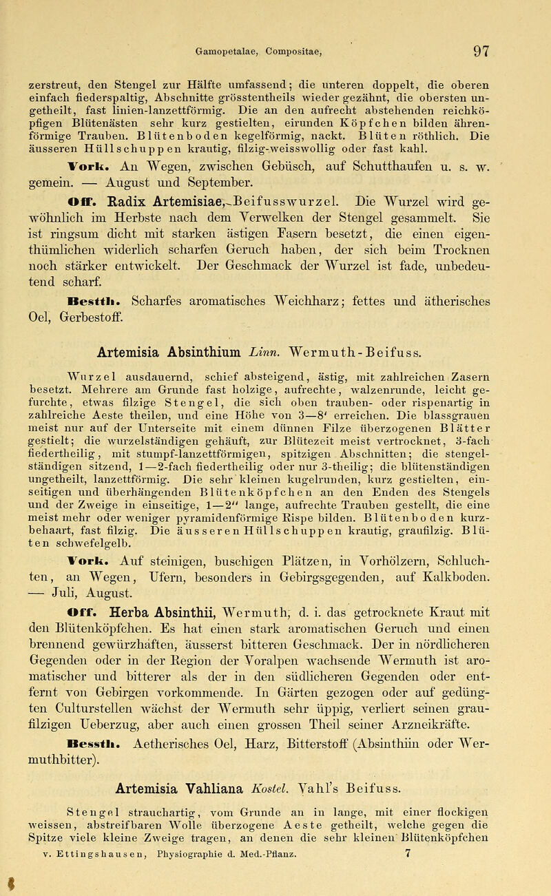 zerstreut, den Stengel zur Hälfte umfassend; die unteren doppelt, die oberen einfach fiederspaltig, Abschnitte grösstenteils wieder gezähnt, die obersten un- getheilt, fast linien-lanzettförmig. Die an den aufrecht abstehenden reichkö- pfigen Blütenästen sehr kurz gestielten, eirunden Köpfchen bilden ähren- förrnige Trauben. Blütenboden kegelförmig, nackt. Blüten röthlich. Die äusseren Hüllschuppen krautig, filzig-weisswollig oder fast kahl. Vork. Au Wegen, zwischen Gebüsch, auf Schutthaufen u. s. w. gemein. — August und September. Off. Radix Artemisiae,-Beifusswurzel. Die Wurzel wird ge- wöhnlich im Herbste nach dem Verwelken der Stengel gesammelt. Sie ist ringsum dicht mit starken ästigen Fasern besetzt, die einen eigen- thümlichen widerlich scharfen Geruch haben, der sich beim Trocknen noch stärker entwickelt. Der Geschmack der Wurzel ist fade, unbedeu- tend scharf. Besttli. Scharfes aromatisches Weichharz; fettes und ätherisches Oel, Gerbestoff. Artemisia Absinthium Linn. Wermuth-Beifuss. Wurzel ausdauernd, schief absteigend, ästig, mit. zahlreichen Zasern besetzt. Mehrere am Grunde fast holzige, aufrechte, walzenrunde, leicht ge- furchte, etwas filzige Stengel, die sich oben trauben- oder rispenartig in zahlreiche Aeste theilen, und eine Höhe von 3—8' erreichen. Die blassgrauen meist nur auf der Unterseite mit einem dünnen Filze überzogenen Blätter gestielt; die wurzelständigen gehäuft, zur Blütezeit meist vertrocknet, 3-fach fiedertheilig, mit stumpf-lanzettförmigen, spitzigen Abschnitten; die stengel- ständigen sitzend, 1 — 2-fach fiedertheilig oder nur 3-theilig; die blütenständigen ungetheilt, lanzettförmig. Die sehr kleinen kugelrunden, kurz gestielten, ein- seitigen und überhängenden Blutenköpfchen an den Enden des Stengels und der Zweige in einseitige, 1—2 lange, aufrechte Trauben gestellt, die eine meist mehr oder weniger pyramidenförmige Rispe bilden. Blütenbo den kurz- behaart, fast filzig. Die aus seren Hüllschuppen krautig, graufilzig. Blü- ten schwefelgelb. Vork. Auf steinigen, buschigen Plätzen, in Vorhölzern, Schluch- ten, an Wegen, Ufern, besonders in Gebirgsgegenden, auf Kalkboden. — Juli, August. Off. Herba Absinthii, Wermuth, d. i. das getrocknete Kraut mit den Blütenköpfchen. Es hat einen stark aromatischen Geruch und einen brennend gewürzhäften, äusserst bitteren Geschmack. Der in nördlicheren Gegenden oder in der Begion der Voralpen wachsende Wermuth ist aro- matischer und bitterer als der in den südlicheren Gegenden oder ent- fernt von Gebirgen vorkommende. In Gärten gezogen oder auf gedüng- ten Culturstellen wächst der Wermuth sehr üppig, verliert seinen grau- filzigen Ueberzug, aber auch einen grossen Theil seiner Arzneikräfte. Hesstli. Aetherisches Oel, Harz, Bitterstoff (Absinthiin oder Wer- muthbitter). Artemisia Vahliana Koslel. Vahl's Beifuss. Stengel strauchartig, vom Grunde an in lange, mit einer flockigen weissen, abstreifbaren Wolle überzogene Aeste getheilt, welche gegen die Spitze viele kleine Zweige tragen, an denen die sehr kleinen Blütenköpfchen v. Ettingshausen, Physiographie d. Med.-Pflanz. 7