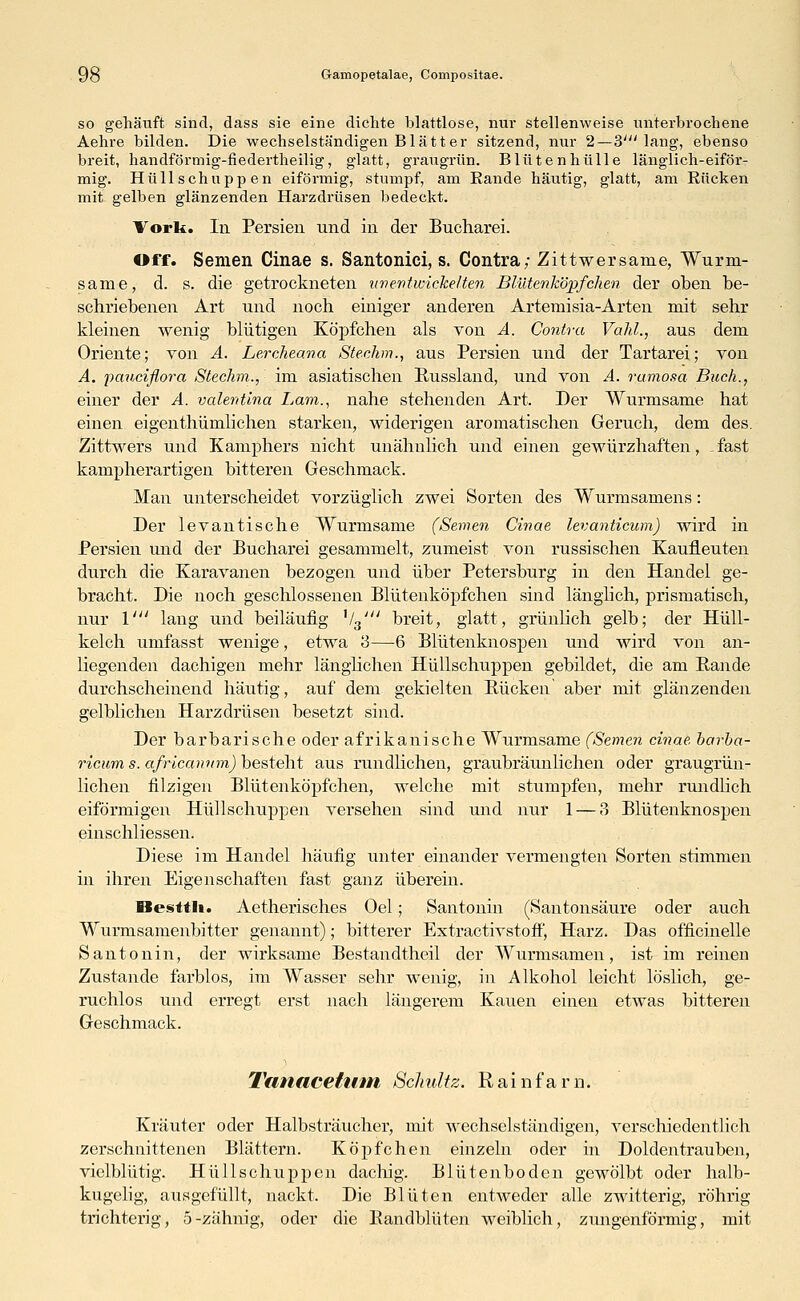so gehäuft sind, dass sie eine dichte blattlose, nur stellenweise unterbrochene Aehre bilden. Die wechselständigen Blatt er sitzend, nur 2—3' lang, ebenso breit, handförmig-fiedertheilig, glatt, graugrün. Blütenhülle länglich-eiför- mig. Hüllschuppen eiförmig, stumpf, am Bande häutig, glatt, am Rücken mit gelben glänzenden Harzdrüsen bedeckt. Vork. In Persien und in der Bucharei. Off. Semen Cinae s. Santonici, s. Contra; Zittwersame, Wurm- same, d. s. die getrockneten unentwickelten Blütenköpfchen der oben be- schriebenen Art und noch einiger anderen Artemisia-Arten mit sehr kleinen wenig blutigen Köpfchen als von A. Contra Vahl., aus dem Oriente; von A. Lercheana Stechm., aus Persien und der Tartarei; von A. pauciflora Stechm., im asiatischen Pussland, und von A. ramosa Buch., einer der A. valentina Lam., nahe stehenden Art. Der Wurmsame hat einen eigenthümlichen starken, widerigen aromatischen Geruch, dem des. Zittwers und Kamphers nicht unähnlich und einen gewürzhaften, -fast kampherartigen bitteren Geschmack. Man unterscheidet vorzüglich zwei Sorten des Wurmsamens: Der levantische Wurmsame (Semen Cinae levanticum) wird in Persien und der Bucharei gesammelt, zumeist von russischen Kaufleuten durch die Karavanen bezogen und über Petersburg in den Handel ge- bracht. Die noch geschlossenen Blütenköpfchen sind länglich, prismatisch, nur \' lang und beiläufig i/3' breit, glatt, grünlich gelb; der Hüll- kelch umfasst wenige, etwa 3—6 Blütenknospen und wird von an- liegenden dachigen mehr länglichen Hüllschuppen gebildet, die am Bande durchscheinend häutig, auf dem gekielten Bücken aber mit glänzenden gelblichen Harzdrüsen besetzt sind. Der barbarische oder afrikanische Wurmsame (Semen cinae, barba- ricum s. africannm) besteht aus rundlichen, graubräunlichen oder graugrün- lichen filzigen Blütenköpfchen, welche mit stumpfen, mehr rundlich eiförmigen Hüllschuppen versehen sind und nur 1 — 3 Blütenknospen einschliessen. Diese im Handel häufig unter einander vermengten Sorten stimmen in ihren Eigenschaften fast ganz überein. Besttli. Aetherisches Oel; Santonin (Santonsäure oder auch Wurmsamenbitter genannt); bitterer Extractivstoff, Harz. Das officinelle Santonin, der wirksame Bestandtheil der Wurmsamen, ist im reinen Zustande farblos, im Wasser sehr wenig, in Alkohol leicht löslich, ge- ruchlos und erregt erst nach längerem Kauen einen etwas bitteren Geschmack. Tanacetum Schultz. Rainfarn. Kräuter oder Halbsträucher, mit wechselständigen, verschiedentlich zerschnittenen Blättern. Köpfchen einzeln oder in Doldentrauben, vielblütig. Hüllschuppen dachig. Blütenboden gewölbt oder halb- kugelig, ausgefüllt, nackt. Die Blüten entweder alle zwitterig, röhrig trichterig, 5-zähnig, oder die Bandblüten weiblich, zungenförmig, mit