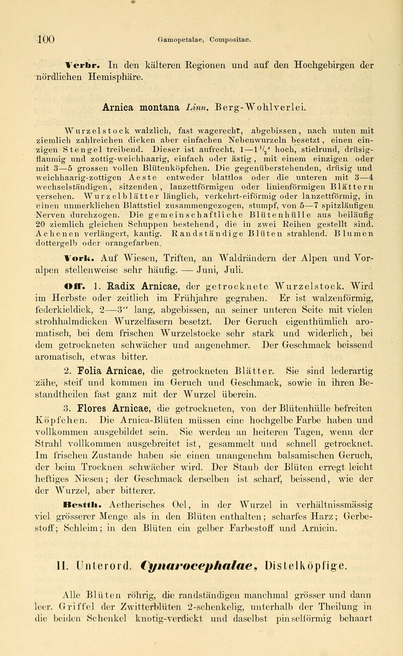 Terbr. In den kälteren Regionen und auf den Hochgebirgen der nördlichen Hemisphäre. Arnica montana Linn. Berg-Wohlverlei. Wurzelstock walzlich, fast wagerecht, abgebissen, nach unten mit ziemlich zahlreichen dicken aber einfachen Nebenwurzeln besetzt, einen ein- zigen Stengel treibend. Dieser ist aufrecht, 1 — 1 '/2' hoch, stielrund, drüsig- flaumig und zottig-weichhaarig, einfach oder ästig, mit einem einzigen oder mit 3—5 grossen vollen Blütenköpfchen. Die gegenüberstehenden, drüsig und weichhaarig-zottigen Aeste entweder blattlos oder die unteren mit 3—4 wechselständigen, sitzenden, lanzettförmigen oder linienförmigen Blättern versehen. Wurzelblätter länglich, verkehrt-eiförmig oder lanzettförmig, in einen unmerklichen Blattstiel zusammengezogen, stumpf, von 5—7 spitzläufigen Nerven durchzogen. Die gemeinschaftliche Blütenhülle aus beiläufig 20 ziemlich gleichen Schuppen bestehend, die in zwei Reihen gestellt sind. Adienen verlängert, kantig. Randständige Blüten strahlend. Blumen dottergelb oder orangefarben. Vorlt. Auf Wiesen, Triften, an Waldrändern der Alpen und Vor- alpen stellenweise sehr häufig. — Juni, Juli. Off. 1. Radix Arnicae, der getrocknete Wurzelstock. Wird im Herbste oder zeitlich im Frühjahre gegraben. Er ist walzenförmig, federkieldick, 2—3 lang, abgebissen, an seiner unteren Seite mit vielen strohhalmdicken Wurzelfasern besetzt. Der Geruch eigenthümlich aro- matisch, bei dem frischen Wurzelstocke sehr stark und widerlich, bei dem getrockneten schwächer und angenehmer. Der Geschmack beissend aromatisch, etwas bitter. 2. Folia Arnicae, die getrockneten Blätter. Sie sind lederartig zähe, steif und kommen im Geruch und Geschmack, sowie in ihren Be- standteilen fast ganz mit der Wurzel überein. 3. Flores Arnicae, die getrockneten, von der Blütenhülle befreiten Köpfchen. Die Arnica-Blüten müssen eine hochgelbe Farbe haben und vollkommen ausgebildet sein. Sie werden an heiteren Tagen, wenn der Strahl vollkommen ausgebreitet ist, gesammelt und schnell getrocknet. Im frischen Zustande haben sie einen unangenehm balsamischen Geruch, der beim Trocknen schwächer wird. Der Staub der Blüten erregt leicht heftiges Niesen; der Geschmack derselben ist scharf, beissend, wie der der Wurzel, aber bitterer. Desttlt. Aetherisches Oel, in der Wurzel in verhältnissmässig viel grösserer Menge als in den Blüten enthalten; scharfes Harz; Gerbe- stoff; Schleim; in den Blüten ein gelber Farbestoff und Arnicin. II. Unterord. Cynaroceplmlae3 Üistelköpfige. Alle Blüten röhrig, die randständigen manchmal grösser und dann leer. Griffel der Zwitterblüten 2-schenkelig, unterhalb der Theilung in die beiden Schenkel knotig-verdickt und daselbst pinselförmig behaart