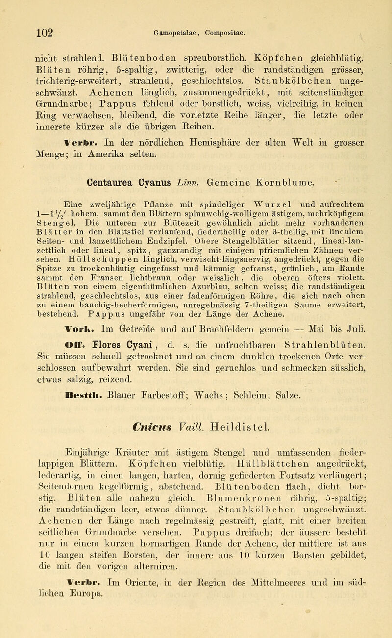 nicht strahlend. Blütenboden spreuborstlieh. Köpfchen gleichblütig. Blüten röhrig, 5-spaltig, zwitterig, oder die randständigen grösser, trichterig-erweitert, strahlend, geschlechtslos. Stanbkölbchen unge- schwänzt. Achenen länghch, zusammengedrückt, mit seitenständiger Grundnarbe; Pappus fehlend oder borstlich, weiss, vielreihig, in keinen Bing verwachsen, bleibend, die vorletzte Beihe länger, die letzte oder innerste kürzer als die übrigen Beihen. Verlbr. In der nördlichen Hemisphäre der alten Welt in grosser Menge; in Amerika selten. Centaurea Cyanus Linn. Gemeine Kornblume. Eine zweijährige Pflanze mit spindeliger Wurzel und aufrechtem 1—1 '/j' hohem, sammt den Blättern spinnwebig-wolligem ästigem, mehrköpfigem Stengel. Die unteren zur Blütezeit gewöhnlich nicht mehr vorhandenen Blätter in den Blattstiel verlaufend, fiedertheilig oder 3-theilig, mit linealem Seiten- und lanzettlichem Endzipfel. Obere Stengelblätter sitzend, lineal-lan- zettlich oder lineal, spitz, ganzrandig mit einigen pfriemlichen Zähnen ver- sehen. Hüllschuppen länglich, verwischt-längsnervig, angedrückt, gegen die Spitze zu trockenhäutig eingefasst und kämmig gefranst, grünlich, am Rande sammt den Fransen lichtbraun oder weisslich, die oberen öfters violett. Blüten von einem eigenthümlichen Azurblau, selten weiss; die randständigen strahlend, geschlechtslos, aus einer fadenförmigen Röhre, die sich nach oben zu einem bauchig-becherförmigen, unregelmässig 7-theiligen Saume erweitert, bestehend. Pappus ungefähr von der Länge der Achene. Vorl*. Im Getreide und auf Brachfeldern gemein — Mai bis Juli. Off. Flores Cyani, d. s. die unfruchtbaren Strahlenblüten. Sie müssen schnell getrocknet und an einem dunklen trockenen Orte ver- schlossen aufbewahrt werden. Sie sind geruchlos und schmecken süsslich, etwas salzig, reizend. Besttlt. Blauer Farbestoff; Wachs; Schleim; Salze. Cnicns Vaill. Heildistel. Einjährige Kräuter mit ästigem Stengel und umfassenden fieder- lappigen Blättern. Köpfchen vielblütig. Hü 11 blättchen angedrückt, lederartig, in einen langen, harten, dornig gefiederten Fortsatz verlängert; Seiten dornen kegelförmig, abstehend. Blütenboden flach, dicht bor- stig. Blüten alle nahezu gleich. Blumen krönen röhrig, 5-spaltig; die randständigen leer, etwas dünner. Staubkölbchen ungeschwänzt, Achenen der Länge nach regelmässig gestreift, glatt, mit einer breiten seitlichen Grundnarbe versehen. Pappus dreifach; der äussere besteht nur in einem kurzen hornartigen Bande der Achene, der mittlere ist aus 10 langen steifen Borsten, der innere aus 10 kurzen Borsten gebildet, die mit den vorigen alterniren. Verlbr. Im Oriente, in der Begion des Mittelmeeres und im süd- lichen Europa.