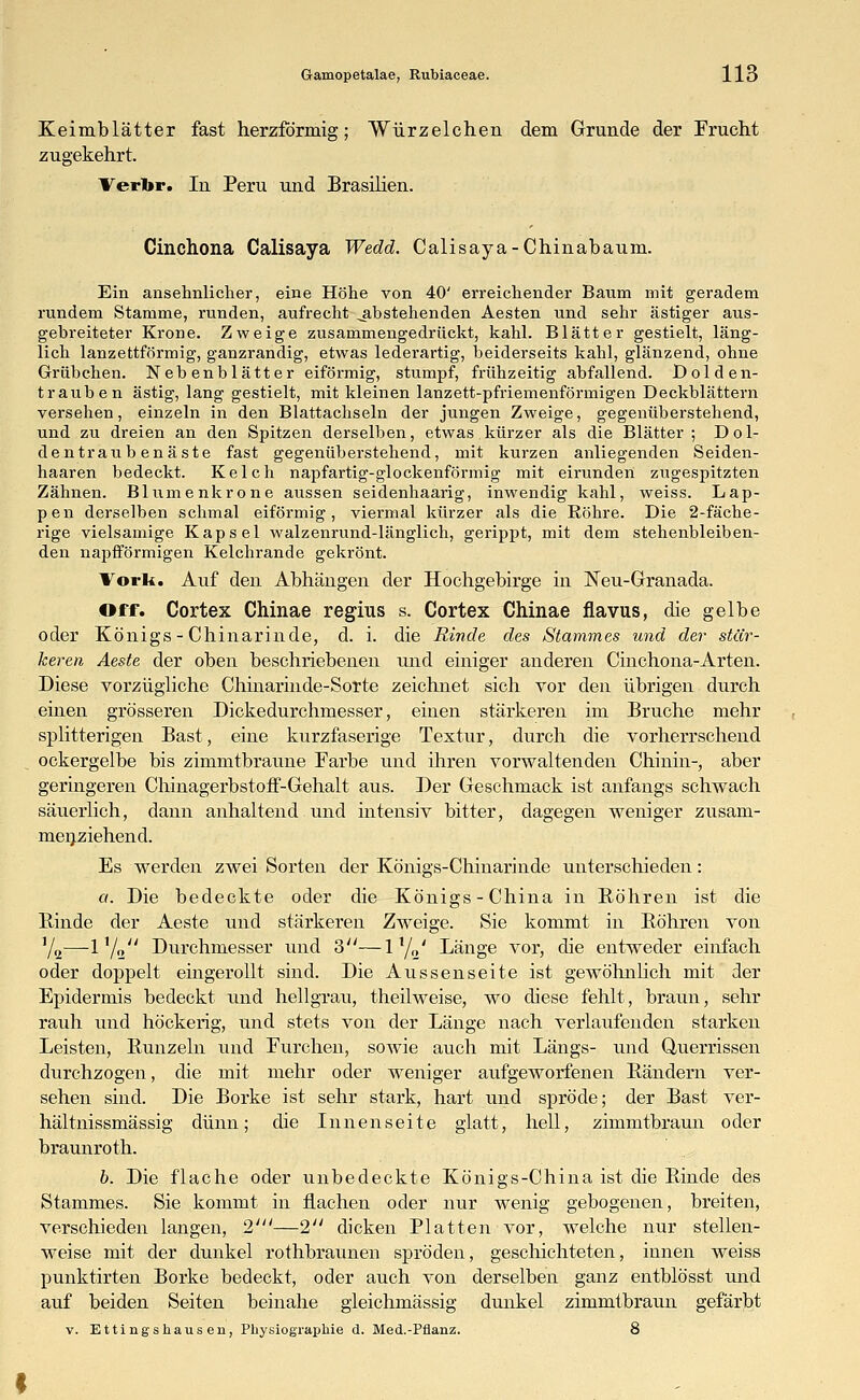 Keimblätter fast herzförmig; Würzelchen dem Grunde der Frucht zugekehrt. Verbr. Iu Peru und Brasilien. Cinchona Calisaya Wedd. Calisaya-Chinabaum. Ein ansehnlicher, eine Höhe von 40' erreichender Baum mit geradem rundem Stamme, runden, aufrecht .abstehenden Aesten und sehr ästiger aus- gebreiteter Krone. Zweige zusammengedrückt, kahl. Blätter gestielt, läng- lich lanzettförmig, ganzrandig, etwas lederartig, beiderseits kahl, glänzend, ohne Grübchen. Nebenblätter eiförmig, stumpf, frühzeitig abfallend. Dolden- trauben ästig, lang gestielt, mit kleinen lanzett-pfriemenförmigen Deckblättern versehen, einzeln in den Blattachseln der jungen Zweige, gegenüberstehend, und zu dreien an den Spitzen derselben, etwas kürzer als die Blätter; Dol- dentraub enäste fast gegenüberstehend, mit kurzen anliegenden Seiden- haaren bedeckt. Kelch napfartig-glockenförmig mit eirunden zugespitzten Zähnen. Blumenkrone aussen seidenhaarig, inwendig kahl, weiss. Lap- pen derselben schmal eiförmig, viermal kürzer als die Eöhre. Die 2-fäche- rige vielsamige Kapsel walzenrund-länglich, gerippt, mit dem stehenbleiben- den napfförmigen Kelchrande gekrönt. Vorl.,. Auf den Abhängen der Hochgebirge in Neu-Granada. Off. Cortex Chinae regius s. Cortex Chinae flavus, die gelbe oder Königs - Chinarinde, d. i. die Binde des Stammes und der stär- keren Aeste der oben beschriebenen und einiger anderen Cinchona-Arten. Diese vorzügliche Chinarinde-Sorte zeichnet sich vor den übrigen durch einen grösseren Dickedurchmesser, einen stärkeren im Bruche mehr splitterigen Bast, eine kurzfaserige Textur, durch die vorherrschend ockergelbe bis zimmtbraune Farbe und ihren vorwaltenden Chinin-, aber geringeren ChinagerbstofF-Gehalt aus. Der Geschmack ist anfangs schwach säuerlich, dann anhaltend und intensiv bitter, dagegen weniger zusam- menziehend. Es werden zwei Sorten der Königs-Chinarinde unterschieden: a. Die bedeckte oder die Königs-China in Röhren ist die Binde der Aeste und stärkeren Zweige. Sie kommt in Bohren von ]/2—1 ll„ Durchmesser und 3—ll/2' Länge vor, die entweder einfach oder doppelt eingerollt sind. Die Aussenseite ist gewöhnlich mit der Epidermis bedeckt und hellgrau, theilweise, wo diese fehlt, braun, sehr rauh und höckerig, und stets von der Länge nach verlaufenden starken Leisten, Runzeln und Furchen, sowie auch mit Längs- und Querrissen durchzogen, die mit mehr oder weniger aufgeworfenen Rändern ver- sehen sind. Die Borke ist sehr stark, hart und spröde; der Bast ver- hältnissmässig dünn; die Innenseite glatt, hell, zimmtbraun oder braunroth. b. Die flache oder unbedeckte Königs-China ist die Rinde des Stammes. Sie kommt in flachen oder nur wenig gebogenen, breiten, verschieden langen, 2'—2 dicken Platten vor, welche nur stellen- weise mit der dunkel rothbraunen spröden, geschichteten, innen weiss punktirten Borke bedeckt, oder auch von derselben ganz entblösst und auf beiden Seiten beinahe gleichmässig dunkel zimmtbraun gefärbt v. Ettingshausen, Physiographie d. Med.-Pflanz. 8