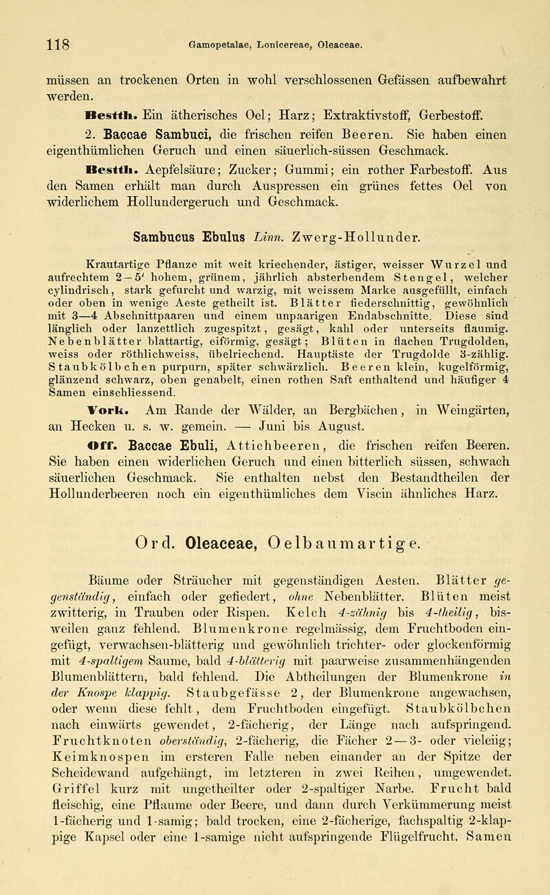 müssen an trockenen Orten in wohl verschlossenen Gefässen aufbewahrt werden. Besttli. Ein ätherisches Oel; Harz; Extraktivstoff, Gerbestoff. 2. Baccae Sambuci, die frischen reifen Beeren. Sie haben einen eigenthümlichen Geruch und einen säuerlich-süssen Geschmack. Besttli. Aepfelsäure; Zucker; Gummi; ein rother Farbestoff. Aus den Samen erhält man durch Auspressen ein grünes fettes Oel von widerlichem Hollundergeruch und Geschmack. Sambucus Ebulus Linn. Zwerg-Hollunder. Krautartige Pflanze mit weit kriechender, ästiger, weisser Wurzel und aufrechtem 2 —5J hohem, grünem, jährlich absterbendem Stengel, welcher cylindrisch, stark gefurcht und warzig, mit weissem Marke ausgefüllt, einfach oder oben in wenige Aeste getheilt ist. Blätter fiederschnittig, gewöhnlich mit 3—4 Abschnittpaaren und einem unpaarigen Endabschnitte. Diese sind länglich oder lanzettlich zugespitzt, gesägt, kahl oder unterseits flaumig. Nebenblätter blattartig, eiförmig, gesägt; Blüten in flachen Trugdolden, weiss oder röthlichweiss, übelriechend. Hauptäste der Trugdolde 3-zählig. S taubkölb chen purpurn, später schwärzlich. Beeren klein, kugelförmig, glänzend schwarz, oben genabelt, einen rothen Saft enthaltend und häufiger 4 Samen einschliessend. Vork. Am Bande der Wälder, an Bergbächen, in Weingärten, an Hecken u. s. w. gemein. — Juni bis August. Off. Baccae Ebuli, Attichbeeren, die frischen reifen Beeren. Sie haben einen widerlichen Geruch und einen bitterlich süssen, schwach säuerlichen Geschmack. Sie enthalten nebst den Bestandtheilen der Hollunderbeeren noch ein eigenthümliches dem Viscin ähnliches Harz. Ord. Oleaceae, Oelbaum artige. Bäume oder Sträucher mit gegenständigen Aesten. Blätter ge- genständig, einfach oder gefiedert, ohne Nebenblätter. Blüten meist zwitterig, in Trauben oder Bispen. Kelch 4-zähnig bis 4-theilig, bis- weilen gaiiz fehlend. Blumen kröne regelmässig, dem Eruchtboden ein- gefügt, verwachsen-blätterig und gewöhnlich trichter- oder glockenförmig mit 4-spaltigem Saume, bald 4-blätterig mit paarweise zusammenhängenden Blumenblättern, bald fehlend. Die Abtheilungen der Blumenkrone in der Knospe klappig. Staubgefasse 2, der Blumenkrone angewachsen, oder wenn diese fehlt, dem Fruchtboden eingefügt. Staubkölbchen nach einwärts gewendet, 2-fächerig, der Länge nach aufspringend. Fruchtknoten oberständig, 2-fächerig, die Fächer 2 — 3- oder vieleiig; Keimknospen im ersteren Falle neben einander an der Spitze der Scheidewand aufgehängt, im letzteren in zwei Beihen, umgewendet. Griffel kurz mit ungetheilter oder 2-spaltiger Narbe. Frucht bald fleischig, eine Pflaume oder Beere, und dann durch Verkümmerung meist 1-fächerig und 1-sämig; bald trocken, eine 2-fächerige, fachspaltig 2-klap- pige Kapsel oder eine 1-sämige nicht aufspringende Flügelfrucht, Samen