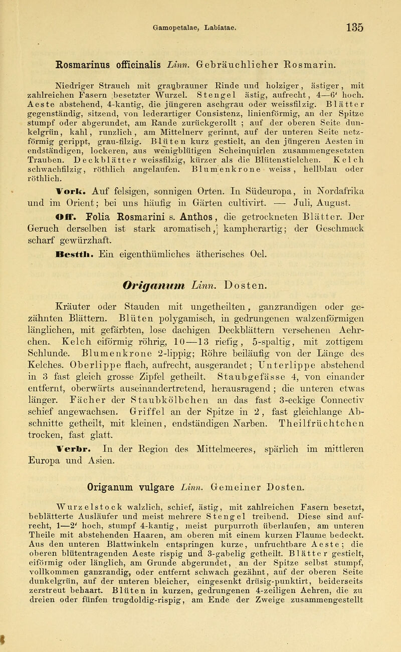 Rosmarinus ofFicinalis Linn. Gebräuchlicher Rosmarin. Niedriger Strauch mit graubrauner Rinde und bolziger, ästiger, mit zahlreichen Fasern ;besetzter Wurzel. Stengel ästig, aufrecht, 4—6' hoch. Aeste abstehend, 4-kantig, die jüngeren aschgrau oder weissfilzig. Blätter gegenständig, sitzend, von lederartiger Consistenz, linienförmig, an der Spitze stumpf oder abgerundet, am Rande zurückgerollt ; auf der oberen Seite dun- kelgrün, kahl, runzlich , am Mittelnerv gerinnt, auf der unteren Seite netz- förmig gerippt, grau-filzig. Blüten kurz gestielt, an den jüngeren Aesten in endständigen, lockeren, aus wenigblütigen Scheinquirlen zusammengesetzten Trauben. Deckblätter weissfilzig, kürzer als die Bliitenstielchen. Kelch schwachfilzig, röthlich angelaufen. Blumenkrone weiss , hellblau oder röthlich. Work. Auf felsigen, sonnigen Orten. In Südeuropa, in Nordafrika und im Orient; bei uns häufig in Gärten cultivirt. — Juli, August. Off. Folia Rosmarini s. Anthos, die getrockneten Blätter. Der Geruch derselben ist stark aromatisch,- kampherartig; der Geschmack scharf gewürzhaft. Hesttli. Ein eigentümliches ätherisches Oel. Origanum Linn. Dosten. Kräuter oder Stauden mit ungetheilten, ganzrandigen oder ge- zähnten Blättern. Blüten polygamisch, in gedrungenen walzenförmigen länglichen, mit gefärbten, lose dachigen Deckblättern versehenen Aehr- chen.. Kelch eiförmig röhrig, 10 —13 riefig, 5-spaltig, mit zottigem Schlünde. Blumenkrone 2-lippig; Röhre beiläufig von der Länge des Kelches. Oberlippe flach, aufrecht, ausgerandet; Unterlippe abstehend in 3 fast gleich grosse Zipfel getheilt. Staubgefässe 4, von einander entfernt, oberwärts auseinandertretend, herausragend ; die unteren etwas länger. Fächer der Staubkölbchen an das fast 3-eckige Connectiv schief angewachsen. Griffel an der Spitze in 2, fast gleichlange Ab- schnitte getheilt, mit kleinen, endständigen Narben. Theilfrüchtchen trocken, fast glatt. Verbr. In der Region des Mittelmeeres, spärlich im mittleren Europa und Asien. Origanum vulgare Linn. Gemeiner Dosten. Wurzelstock walzlich, schief, ästig, mit zahlreichen Fasern besetzt, beblätterte Ausläufer und meist mehrere Stengel treibend. Diese sind auf- recht, 1—2' hoch, stumpf 4-kantig, meist purpurroth überlaufen, am unteren Theile mit abstehenden Haaren, am oberen mit einem kurzen Flaume bedeckt. Aus den unteren Blattwinkeln entspringen kurze, unfruchtbare Aeste; die oberen blütentragenden Aeste rispig und 3-gabelig getheilt. Blätter gestielt, eiförmig oder länglich, am Grunde abgerundet, an der Spitze selbst stumpf, vollkommen ganzrandig, oder entfernt schwach gezähnt, auf der oberen Seite dunkelgrün, auf der unteren bleicher, eingesenkt drüsig-punktirt, beiderseits zerstreut behaart. Blüten in kurzen, gedrungenen 4-zeiligen Aehren, die zu dreien oder fünfen trugdoldig-rispig, am Ende der Zweige zusammengestellt