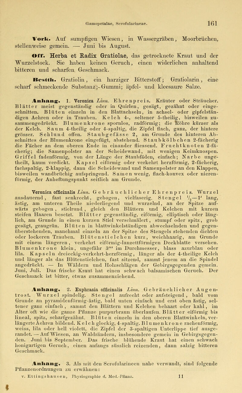 Vork. Auf sumpfigen Wiesen, in Wassergräben, Moorbrüchen, stellenweise gemein. — Juni bis August. Off. Herba et Radix Gratioiae, das getrocknete Kraut und der Wurzelstock. Sie haben keinen Geruch, einen widerlichen anhaltend bitteren und scharfen Geschmack. Besttli. Gratiolin, ein harziger Bitterstoff; Gratiolarin, eine scharf schmeckende Substanz;-Gummi; äpfel- und kleesaure Salze. %n9iaiEi>. 1. Veronica Linn. Ehrenpreis. Kräuter oder Sträucher. Blätter meist gegenständig oder in Quirlen, gesägt, gezähnt oder einge- schnitten. Blüten einzeln in den Blattachseln, in achsel- oder gipfelstän- digen Aehren oder in Trauben. Kelch 4-, seltener 5-theilig, bisweilen zu- sammengedrückt. Blumenkrone spornlos, radförmig; die Röhre kürzer als der Kelch. Saum 4-theilig oder 4-spaltig, die Zipfel flach, ganz, der hintere grösser. Schlund offen. Staubgefässe 2, am Grunde des hinteren Ab- schnittes der Blumenkrone eingefügt, abstehend. S taubkölb chen 2-fächerig die Fächer an dem oberen Ende in einander fliessend. Fruchtknoten 2-fä- cherig; die Samenpolster an der Scheidewand, mit wenigen Keimknospen. Griffel fadenförmig, von der Länge der Staubfäden, einfach; Narbe unge- theilt, kaum verdickt. Kapsel eiförmig oder verkehrt herzförmig, 2-fächerig, fachspaltig, 2-klappig, dann die Scheidewand und Samenpolster an den Klappen, bisweilen wandbrüchig aufspringend. Samen wenig, flach-konvex oder nieren- förmig, der Anheftungspunkt seitlich am Grunde. Veronica officinalis Linn. Gebräuchlicher Ehrenpreis. Wu r z e 1 ausdauernd, fast senkrecht, gebogen, vielfaserig. Stengel V2—1' lang, ästig, am unteren Theile niederliegend und wurzelnd, an der Spitze auf- wärts gebogen , stielrund , gleich den Blättern und Kelchen mit kurzen steifen Haaren besetzt. Blätter gegenständig, eiförmig, elliptisch oder läng- lich, am Grunde in einen kurzen Stiel verschmälert, stumpf oder spitz, grob gesägt, graugrün. Blüten in blattwinkelständigen abwechselnden und gegen- überstehenden, manchmal einzeln an der Spitze des Stengels stehenden dichten oder lockeren Trauben. Blütenstielchen kurz, weichhaarig, am Grunde mit einem längeren, verkehrt eiförmig-lanzettförmigen Deckblatte versehen. Blumenkrone klein, ungefähr 3' im Durchmesser, blass azurblau oder lila. Kapseln dreieckig-verkehrt-herzförmig, länger als der 4-theilige Kelch und länger als das Blütenstielchen, fast sitzend, sammt jenem an die Spindel angedrückt. — In Wäldern und Holzschlägen der Gebirgsgegenden gemein. Juni, Juli. Das frische Kraut hat einen schwach balsamischen Geruch. Der Geschmack ist bitter, etwas zusammenziehend. Anlia.ng'. 2. Euphrasia officinalis Linn. Gebräuchlicher Augen- trost. Wurzel spindelig. Stengel aufrecht oder aufsteigend, bald vom Grunde an pyramidenförmig-ästig, bald unten einfach und erst oben ästig, sel- tener ganz einfach, sammt den Blättern und Kelchen behaart oder kahl, im Alter oft wie die ganze Pflanze purpurbraun überlaufen. Blätter eiförmig bis lineal, spitz, scharfgezähnt. Blüten einzeln in den oberen Blattwinkeln, ver- längerte Aehren bildend. Kelch glockig, 4-spaltig. Blumenkrone rachenförmig, weiss, lila oder hell violett, die Zipfel der 3-spaltigen Unterlippe tief ausge- randet.—Aufwiesen, an Waldrändern, insbesondere gemein in Gebirgsgegen- den. Juni bis September. Das frische blühende Kraut hat einen schwach honigartigen Geruch, einen anfangs süsslich reizenden, dann salzig bitteren Geschmack. Anhang. 3. Als mit den Scrofularineen nahe verwandt, sind folgende Pflanzenordnungen zu erwähnen: v. Ettingshaviseu, PhysiogTaphie d. Med.-Pflanz. 11