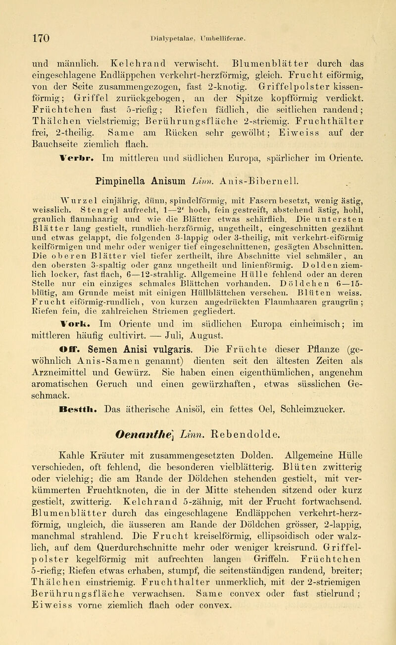 und männlich. Kelchrand verwischt. Blumenblätter durch das eingeschlagene Endläppchen verkehrt-herzförmig, gleich. Frucht eiförmig, von der Seite zusammengezogen, fast 2-knotig. Griffelpolster kissen- förmig; Griffel zurückgebogen, an der Spitze kopfförmig verdickt. Früchtchen fast 5-riefig; Riefen fädlich, die seitlichen randend; Thälchen vielstriemig; Berührungsfläche 2-striemig. Fruchthälter frei, 2-theilig. Same am Rücken sehr gewölbt; Eiweiss auf der Bauchseite ziemlich flach. Verlir. Im mittleren und südlichen Europa, spärlicher im Oriente. Pimpinella Anisum Linn. Anis-Bibernell. Wurzel einjährig, dünn, spindelförmig, mit Fasern besetzt, wenig ästig, weisslieh. Stengel aufrecht, 1—2' hoch, fein gestreift, abstehend ästig, hohl, graulich flaumhaarig und wie die Blätter etwas schärflich. Die untersten Blätter lang gestielt, rundlich-herzförmig, ungetheilt, eingeschnitten gezähnt und etwas gelappt, die folgenden 3-lappig oder 3-theilig, mit verkehrt-eiförmig keilförmigen und mehr oder weniger tief eingeschnittenen, gesägten Abschnitten. Die oberen Blätter viel tiefer zertheilt, ihre Abschnitte viel schmäler, an den obersten 3-spaltig oder ganz ungetheilt und linienförmig. Dolden ziem- lich locker, fast flach, 6—12-strahlig. Allgemeine Hülle fehlend oder an deren Stelle nur ein einziges schmales Blättchen vorhanden. Döldchen 6 —15- blütig, am Grunde meist mit einigen Hüllblättchen versehen. Blüten weiss. Frucht eiförmig-rundlich, von kurzen angedrückten Flaumhaaren graugrün; Riefen fein, die zahlreichen Striemen gegliedert. Vorli. Im Oriente und im südlichen Europa einheimisch; im mittleren häufig cultivirt. — Juli, August. Off. Semen Anisi vulgaris. Die Früchte dieser Pflanze (ge- wöhnlich Anis-Samen genannt) dienten seit den ältesten Zeiten als Arzneimittel und Gewürz. Sie haben einen eigenthümlichen, angenehm aromatischen Geruch und einen gewürzhaften, etwas süsslichen Ge- schmack. Besttli. Das ätherische Anisöl, ein fettes Oel, Schleimzucker. Oenanfhe] Linn. Rebendolde. Kahle Kräuter mit zusammengesetzten Dolden. Allgemeine Hülle verschieden, oft fehlend, die besonderen vielblätterig. Blüten zwitterig oder vielehig; die am Rande der Döldchen stehenden gestielt, mit ver- kümmerten Fruchtknoten, die in der Mitte stehenden sitzend oder kurz gestielt, zwitterig. Kelchrand 5-zähnig, mit der Frucht fortwachsencl. Blumenblätter durch das eingeschlagene Endläppchen verkehrt-herz- förmig, ungleich, die äusseren am Rande der Döldchen grösser, 2-lappig, manchmal strahlend. Die Frucht kreiseiförmig, ellipsoidisch oder walz- lich, auf dem Querdurchschnitte mehr oder weniger kreisrund. Griffel- polster kegelförmig mit aufrechten langen Griffeln. Früchtchen 5-riefig; Riefen etwas erhaben, stumpf, die seitenständigen randend, breiter; Thälchen einstriemig. Fruchthalter unmerklich, mit der 2-striemigen Berührungsfläche verwachsen. Same convex oder fast stielrund ; Eiweiss vorne ziemlich flach oder convex.