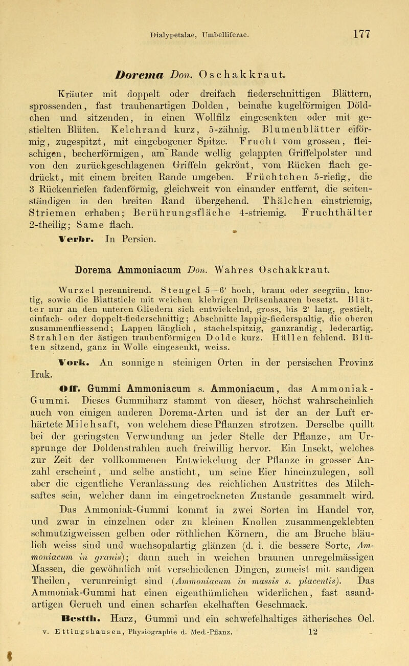 Dorema Don. Oschakkraut. Kräuter mit doppelt oder dreifach fiederschnittigen Blättern, sprossenden, fast traubenartigen Dolden, beinahe kugelförmigen Dö'ld- chen und sitzenden, in einen Wollfilz eingesenkten oder mit ge- stielten Blüten. Kelchrand kurz, 5-zähnig. Blumenblätter eiför- mig, zugespitzt, mit eingebogener Spitze. Frucht vom grossen, flei- schigen, becherförmigen, amBande wellig gelappten Griffelpolster und von den zurückgeschlagenen Griffeln gekrönt, vom Bücken flach ge- drückt, mit einem breiten Bande umgeben. Früchtchen 5-riefig, die 3 Bückenriefen fadenförmig, gleichweit von einander entfernt, die seiten- ständigen in den breiten Band übergehend. Thälchen einstriemig, Striemen erhaben; Berührungsfläche 4-striemig. Fruchthälter 2-theilig; Same flach. Verbr. In Persien. Dorema Ammoniacum Don. Wahres Oschakkraut. Wurzel perennirend. Stengel 5—6' hoch, braun oder seegrün, kno- tig, sowie die Blattstiele mit weichen klebrigen Drüsenhaaren besetzt. Blät- ter nur an den unteren Gliedern sich entwickelnd, gross, bis 2' lang, gestielt, einfach- oder doppelt-fiederschnittig; Abschnitte lappig-fiederspaltig, die oberen zusammenfliessend; Lappen länglich, stachelspitzig, ganzrandig, lederartig. Strahlen der ästigen traubenförmigen Dolde kurz. Hüllen fehlend. Blü- ten sitzend, ganz in Wolle eingesenkt, weiss. Voi'fk. An sonnige n steinigen Orten in der persischen Provinz Irak. Off. Gummi Ammoniacum s. Ammoniacum, das Ammoniak - Gummi. Dieses Gummiharz stammt von dieser, höchst wahrscheinlich auch von einigen anderen Dorema-Arten und ist der an der Luft er- härtete Milchsaft, von welchem diese Pflanzen strotzen. Derselbe quillt bei der geringsten Verwundung an jeder Stelle der Pflanze, am Ur- sprünge der Doldenstrahlen auch freiwillig hervor. Ein Insekt, welches zur Zeit der vollkommenen Entwickelung der Pflanze in grosser An- zahl erscheint, und selbe ansticht, um seine Eier hineinzulegen, soll aber die eigentliche Veranlassung des reichlichen Austrittes des Milch- saftes sein, welcher dann im eingetrockneten Zustande gesammelt wird. Das Ammoniak-Gummi kommt in zwei Sorten im Handel vor, und zwar in einzelnen oder zu kleinen Knollen zusammengeklebten schmutzigweissen gelben oder röthliehen Körnern, die am Bruche bläu- lich weiss sind und wachsopalartig glänzen (d. i. die bessere Sorte, Am- moniacum in granis); dann auch in weichen braunen unregelmässigen Massen, die gewöhnlich mit verschiedenen Dingen, zumeist mit sandigen Theilen, verunreinigt sind {Ammoniacum in massis s. placentis). Das Ammoniak-Gummi hat einen eigenthümlichen widerlichen, fast asand- artigen Geruch und einen scharfen ekelhaften Geschmack. Besttli. Harz, Gummi und ein schwefelhaltiges ätherisches Oel. v. E ttings hau sen, Physiographie d. Med. -Pflanz. 12