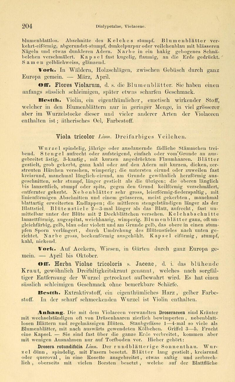 blumenblattlos. Abschnitte des Kelches stumpf. Blumenblätter ver- kehrt-eiförmig, abgerundet-stumpf, dunkelpurpur oder veilchenblau mit blasseren Nägeln und etwas dunkleren Adern. Narbe in ein hakig gebogenes Schnä- belchen verschmälert. Kapsel fast kugelig, flaumig, an die Erde gedrückt. Samen gelblichweiss, glänzend. Vorlt. In Wäldern, Herzschlägen, zwischen Gebüsch durch ganz Europa gemein. — März, April. «ff. Flores Violaruin, d. s. die Blumenblätter. Sie haben einen anfangs süsslich schleimigen, später etwas scharfen Geschmack. - SSestfli. Violin, ein eigentümlicher, emetisch wirkender Stoff, welcher in den Blumenblättern nur in geringer Menge, in viel grosserer aber im Wurzelstocke dieser und vieler anderer Arten der Violaceen enthalten ist; ätherisches OeL Farbestoff. Viola tricolor Linn. Dreifarbiges Veilchen. Wurzel spindelig, jährige oder ausdauernde fädliche Stämmchen trei- bend. Stengel aufrecht oder aufsteigend, einfach oder vom'Grunde an aus- gebreitet ästig, 3-kantig, mit kurzen angedrückten Flaumhaaren. Blätter gestielt, grob gekerbt, ganz kahl oder auf den Adern mit kurzen, dicken, zer- streuten Härchen versehen, wimperig; die untersten eirund oder zuweilen fast kreisrund, manchmal länglich-eirund, am Grunde gewöhnlich herzförmig aus- geschnitten, sehr stampf, länger gestielt als die übrigen; die oberen länglich bis lanzettlich, stumpf oder spitz, gegen den Grund keilförmig verschmälert, entfernter gekerbt. Nebenblätter sehr gross, leierförmig-fiederspaltig, mit linienförmigen Abschnitten und einem grösseren, meist gekerbten , manchmal blattartig erweiterten Endlappen; die mittleren stengelständigen länger als der Blattstiel. Blütenstiele 2—3-mal länger als das Blatt, aufrecht, fast un- mittelbar unter der Blüte mit 2 Deckblättchen versehen. Kelchabschnitte lanzettförmig, zugespitzt, weichhaarig, wimperig. Blum enblätt er ganz, oft un- gleichfärbig, gelb, blau oder violett und am Grunde gelb, das obere in einen stum- pfen Sporn verlängert, durch Umdrehung des Blütenstieles nach unten ge- richtet. Narbe gross, beckenförmig ausgehöhlt. Kapsel eiförmig, stumpf, kahl, nickend. ¥ork. Auf Aeckern, Wiesen, in Gärten durch ganz Europa ge- mein. — April bis Oktober. Off. Herba Violae tricoloris s. Jaceae, d. i. das blühende Kraut, gewöhnlich Dreifaltigkeitskraut genannt, welches nach sorgfäl- tiger Entfernung der Wurzel getrocknet aufbewahrt wird. Es hat einen süsslich schleimigen Geschmack ohne bemerkbare Schärfe. ■lestila. Extraktivstoff, ein eigenthümliches Harz , gelber Farbe- stoff. In der scharf schmeckenden Wurzel ist Violin enthalten. Anhang1. Die mit dem Violaceen verwandten Droseraceen sind Kräuter mit wechselständigen oft von Drüsenhaaren zierlich bewimperten , nebenblatt- losen Blättern und regelmässigen Blüten. Staubgefässe 1—4-mal so viele als Blumenblätter, mit nach auswärts gewendeten Körbchen. Griffel 3—5. Frucht eine Kapsel. — Sie sind fast über die ganze Erde verbreitet, kommen aber mit wenigen Ausnahmen nur auf Torfboden vor. Hieher gehört: Drosera rotundifolia Linn. Der rundblätterige Sonnenthau. Wur- zel dünn, spindelig, mit Fasern besetzt. Blätter lang gestielt, kreisrund oder queroval, in eine Rosette ausgebreitet, etwas saftig und zerbrech- lich , oberseits mit vielen Borsten besetzt , welche auf der Blattfläche