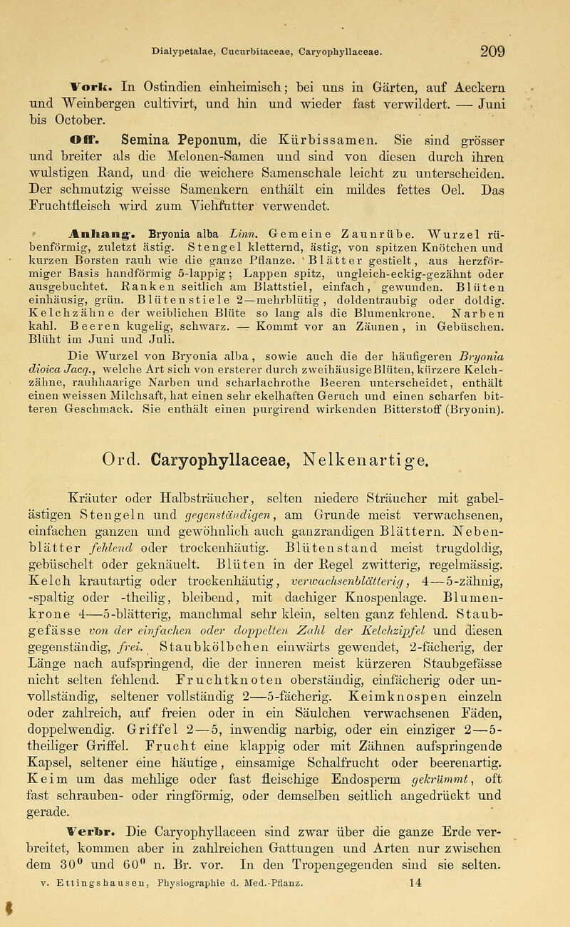 Vork. In Ostindien einheimisch; bei uns in Gärten, auf Aeckern und Weinbergen cultivirt, und hin und wieder fast verwildert. — Juni bis October. Off. Semina Peponum, die Kürbissamen. Sie sind grösser und breiter als die Melonen-Samen und sind von diesen durch ihren wulstigen Band, und die weichere Samenschale leicht zu unterscheiden. Der schmutzig weisse Samenkern enthält ein mildes fettes Oel. Das Fruchtfleisch wird zum Viehfutter verwendet. Anhang-. Bryonia alba Linh. Gemeine Zaunrübe. Wurzel rü- benförmig, zuletzt ästig. Stengel kletternd, ästig, von spitzen Knötchen und kurzen Borsten rauh wie die ganze Pflanze. 'Blätter gestielt, aus herzför- miger Basis handförmig 5-lappig; Lappen spitz, ungleich-eckig-gezähnt oder ausgebuchtet. Banken seitlich am Blattstiel, einfach, gewunden. Blüten einhäusig, grün. Blütenstiele 2—mehrblütig, doldentraubig oder doldig. Kelchzähne der weiblichen Blüte so lang als die Blumenkrone. Narben kahl. Beeren kugelig, schwarz. — Kommt vor an Zäunen, in Gebüschen. Blüht im Juni und Juli. Die Wurzel von Bryonia alba, sowie auch die der häufigeren Bryonia dioica Jacq., welche Art sich von ersterer durch zweihäusigeBlüten, kürzere Kelch- zähne, rauhhaarige Narben und scharlachrothe Beeren unterscheidet, enthält einen weissen Milchsaft, hat einen sehr ekelhaften Geruch und einen scharfen bit- teren Geschmack. Sie enthält einen purgirend wirkenden Bitterstoff (Bryonin). Ord. Caryophyllaceae, Nelken artige. Kräuter oder Halb sträucher, selten niedere Sträucher mit gabel- ästigen Stengeln und gegenständigen, am Grunde meist verwachsenen, einfachen ganzen und gewöhnlich auch ganzrandigen Blättern. Neben- blätter fehlend oder trockenhäutig. Blutenstand meist trugdoldig, gebüschelt oder geknäuelt. Blüten in der Begel zwitterig, regelmässig. Kelch krautartig oder trockenhäutig, verwachsenblätterig, 4—5-zähnig, -spaltig oder -theilig, bleibend, mit dachiger Knospenlage. Blumen- krone 4—5-blätterig, manchmal sehr klein, selten ganz fehlend. Staub- gefässe von der einfachen oder doppelten Zahl der Kelchzipfel und diesen gegenständig, frei. Staubkölbchen einwärts gewendet, 2-fächerig, der Länge nach aufspringend, die der inneren meist kürzeren Staubgefässe nicht selten fehlend. Fruchtknoten oberständig, einfächerig oder un- vollständig, seltener vollständig 2—5-fächerig. Keimknospen einzeln oder zahlreich, auf freien oder in ein Säulchen verwachsenen Fäden, doppelwendig. Griffel 2—5, inwendig narbig, oder ein einziger 2—5- theiliger Griffel. Frucht eine klappig oder mit Zähnen aufspringende Kapsel, seltener eine häutige, einsamige Schalfrucht oder beerenartig. Keim um das mehlige oder fast fleischige Endosperm gekrümmt, oft fast schrauben- oder ringförmig, oder demselben seitlich angedrückt und gerade. Verbr. Die Caryophyllaeeen sind zwar über die ganze Erde ver- breitet, kommen aber in zahlreichen Gattungen und Arten nur zwischen dem 30° und 60° n. Br. vor. In den Tropengegenden sind sie selten. v. Ettingshausen, Physiographie d. Med.-Pfianz. 14