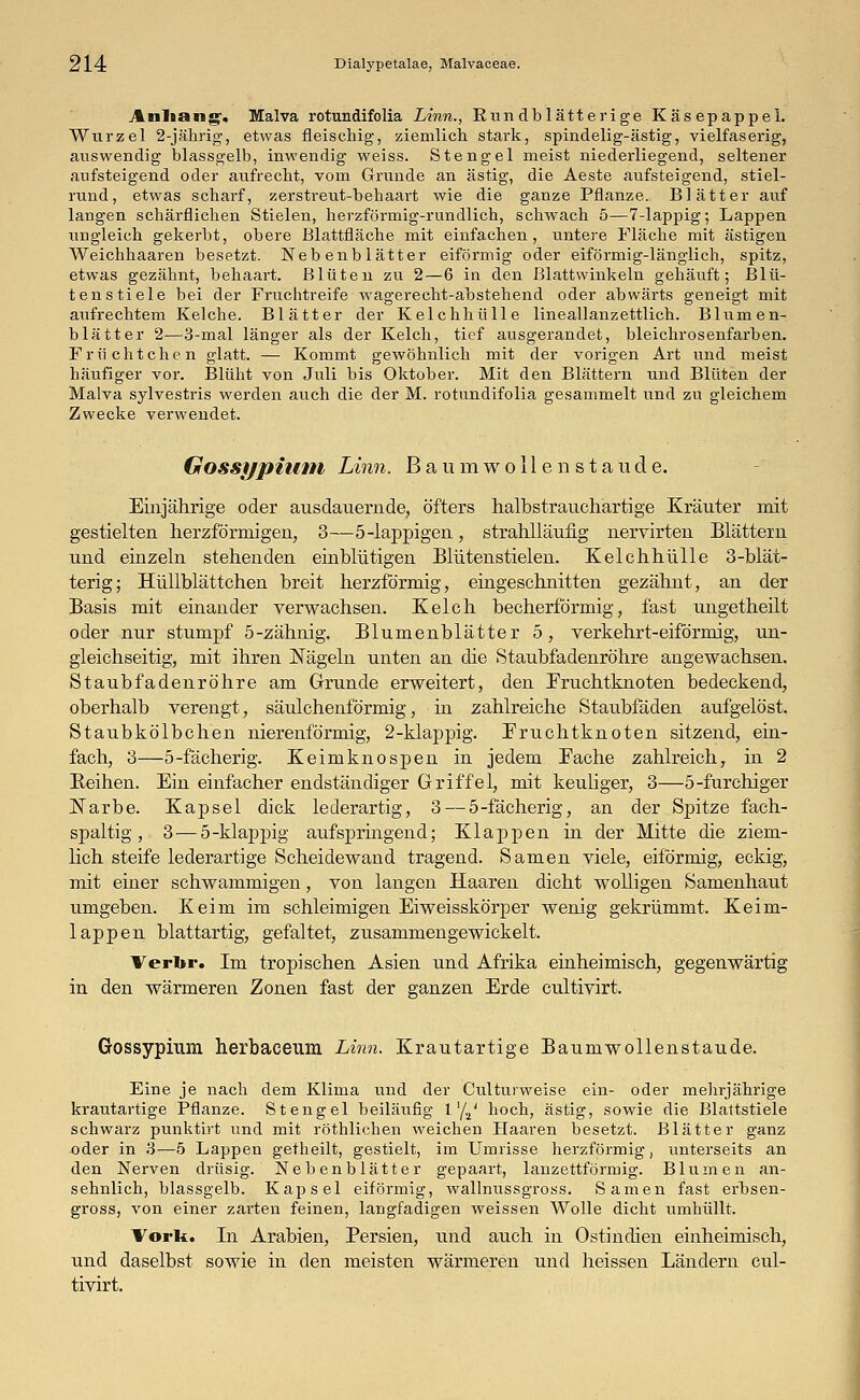 Anhang, Malva rotundifolia Linn., Rundblätterige Käsepappel. Wurzel 2-jährig, etwas fleischig, ziemlich stark, spindelig-ästig, vielfaserig, auswendig blassgelb, inwendig weiss. Stengel meist niederliegend, seltener aufsteigend oder aufrecht, vom Grunde an ästig, die Aeste aufsteigend, stiel- rund, etwas scharf, zerstreut-behaart wie die ganze Pflanze. Blätter auf langen schärflichen Stielen, herzförmig-rundlich, schwach 5—7-lappig; Lappen ungleich gekerbt, obere Blattfläche mit einfachen, untere Fläche mit ästigen Weichhaaren besetzt. Nebenblätter eiförmig oder eiförmig-länglich, spitz, etwas gezähnt, behaart. Blüten zu 2—6 in den ßlattwinkeln gehäuft; Blü- tenstiele bei der Fruchtreife wagerecht-abstehend oder abwärts geneigt mit aufrechtem Kelche. Blätter der Kelchhülle lineallanzettlich. Blumen- blätter 2—3-mal länger als der Kelch, tief ausgerandet, bleichrosenfarben. Früchtchen glatt. — Kommt gewöhnlich mit der vorigen Art und meist häufiger vor. Blüht von Juli bis Oktober. Mit den Blättern und Blüten der Malva sylvestris werden auch die der M. rotundifolia gesammelt und zu gleichem Zwecke verwendet. Gossypium Linn. Baumwollen stände. Einjährige oder ausdauernde, öfters halbstrauchartige Kräuter mit gestielten herzförmigen, 3—5-lappigen , strahlläufig iiervirten Blättern und einzeln stehenden einblütigen Blütenstielen. Kelchhülle 3-blät- terig; Hüllblättchen breit herzförmig, eingeschnitten gezähnt, an der Basis mit einander verwachsen. Kelch becherförmig, fast ungetheilt oder nur stumpf 5-zähnig. Blumenblätter 5, verkehrt-eiförmig, un- gleichseitig, mit ihren Nägeln unten an die Staubfadenröhre angewachsen. Staubfadenröhre am Grunde erweitert, den Fruchtknoten bedeckend, oberhalb verengt, säulchenförmig, in zahlreiche Staubfäden aufgelöst. Staubkölbchen nierenförmig, 2-klappig. Fruchtknoten sitzend, ein- fach, 3—5-fächerig. Keimknospen in jedem Fache zahlreich, in 2 Reihen. Ein einfacher endständiger Griffel, mit keuliger, 3—5-furchiger ISTarbe. Kapsel dick lederartig, 3 — 5-fächerig, an der Spitze fach- spaltig , 3 — 5-klappig aufspringend; Klappen in der Mitte die ziem- lich steife lederartige Scheidewand tragend. Samen viele, eiförmig, eckig, mit einer schwammigen, von langen Haaren dicht wolligen Samenhaut umgeben. Keim im schleimigen Eiweisskörper wenig gekrümmt. Keim- lappen blattartig, gefaltet, zusammengewickelt. Verbr. Im tropischen Asien und Afrika einheimisch, gegenwärtig in den wärmeren Zonen fast der ganzen Erde eultivirt. Gossypium herbaeeum Linn. Krautartige Baumwollenstaude. Eine je nach dem Klima und der Culturweise ein- oder mehrjährige krautartige Pflanze. Stengel beiläufig 1 '/2' hoch, ästig, sowie die Blattstiele schwarz punktirt und mit röthlichen weichen Haaren besetzt. Blätter ganz oder in 3—5 Lappen getheilt, gestielt, im Umrisse herzförmig, unterseits an den Nerven drüsig. Nebenblätter gepaart, lanzettförmig. Blumen an- sehnlich, blassgelb. Kapsel eiförmig, wallnussgross. Samen fast erbsen- gross, von einer zarten feinen, langfadigen weissen Wolle dicht urnhüllt. Vork. In Arabien, Persien, und auch in Ostindien einheimisch, und daselbst sowie in den meisten wärmeren und heissen Ländern eul- tivirt.