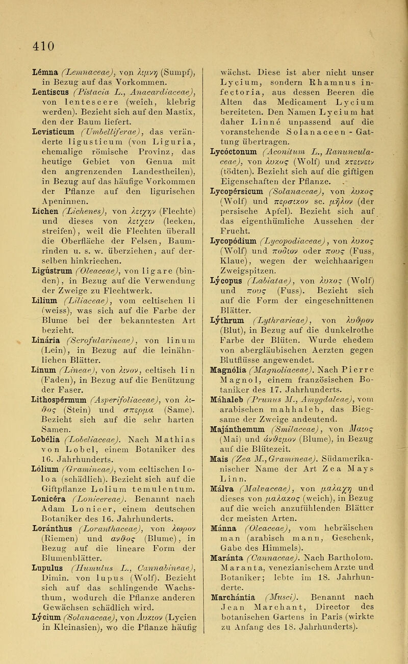 Lemna (Lemnaceae), von hp.vij (Sumpf), in Bezug auf das Vorkommen. Lentiscus (Pistacia L., Anacarcliaceae), von lentescere (weich, klebrig werden). Bezieht sich auf den Mastix, den der Baum liefert. Levisticum (Umbelliferae), das verän- derte ligusticum (von Liguria, ehemalige römische Provinz, das heutige Gebiet von Genua mit den angrenzenden Landestheilen), in Bezug auf das häufige Vorkommen der Pflanze auf den ligurischen Apeninnen. Liehen (Lichenes), von Xziyrp (Flechte) und dieses von Xstyecv (lecken, streifen), weil die Flechten überall die Oberfläche der Felsen, Baum- rinden u. s. w. überziehen, auf der- selben hinkriechen. Ligustrum (Oleaceae), von ligare (bin- den) , in Bezug auf die Verwendung der Zweige zu Flechtwerk. Lilium (Liliaceae), vom celtischen li (weiss), was sich auf die Farbe der Blume bei der bekanntesten Art bezieht. Linäria (Scrofularineae), von linum (Lein), in Bezug auf die leinähn- lichen Blätter. Linum (Lineae), von Xcvov, celtisch lin (Faden), in Bezug auf die Benützung der Faser. Lithospermum (Asperifoliaceae), von Xi- »9o^ (Stein) und oxzpp.o. (Same). Bezieht sich auf die sehr harten Samen. Lobelia (Lobeliaceae). Nach Mathias von Lobel, einem Botaniker des 16. Jahrhunderts. Lölium (Gramineae), vom celtischen 1 o- loa (schädlich). Bezieht sich auf die Giftpflanze Lolium temulentum. Lonicera (LonicereaeJ. Benannt nach Adam Lonicer, einem deutschen Botaniker des 16. Jahrhunderts. Loränthus (Loranthaceae), von Xmpov (Riemen) und avfto$ (Blume), in Bezug auf die lineare Form der Blumenblätter. Lupulus (Humulus L., Cannabineae), Dimin. von lupus (Wolf). Bezieht sich auf das schlingende Wachs- thum, wodurch die Pflanze anderen Gewächsen schädlich wird. Lycium (Solanaceae), von Auxcov (Lycien in Kleinasien), wo die Pflanze häufig wächst. Diese ist aber nicht unser Lycium, sondern Rhamnus in- fectoria, aus dessen Beeren die Alten das Medicament Lycium bereiteten. Den Namen Lycium hat daher Linne unpassend, auf die voranstehende Solanaceen - Gat- tung übertragen. Lycöctonum (Aconitum L., Banuncula- ceae), von Xuzos (Wolf) und xretveü (tödten). Bezieht sich auf die giftigen Eigenschaften der Pflanze. Lycopersicum (SolanaceaeJ, von Xoxoq (Wolf) und Ttepor/.ov sc. p.yXov (der persische Apfel). Bezieht sich auf das eigenthümliche Aussehen der Frucht. Lycopödium (Lycopodiaceae), von Xuxo<; (Wolf) und nodiov oder 7tou$ (Fuss, Klaue), wegen der weichhaarigen Zweigspitzen. Lycopus (Labiatae), von X.uxo? (Wolf) und nous (Fuss). Bezieht sich auf die Form der eingeschnittenen Blätter. Lythrum (Lythrarieae), von Xvd-pov (Blut), in Bezug auf die dunkelrothe Farbe der Blüten. Wurde ehedem von abergläubischen Aerzten gegen Blutflüsse angewendet. Magnölia (Magnoliaceae). Nach Pierre Magno 1, einem französischen Bo- taniker des 17. Jahrhunderts. Mähaleb (Prunus IL, Amygdaleae), vom arabischen mahhaleb, das Bieg- same der Zweige andeutend. Majänthemum (Smilaceae), von 31aiog (Mai) und äv&sp.ov (Blume), in Bezug auf die Blütezeit. Mais (Zea M., Gramineae). Südamerika- nischer Name der Art Zea Mays L i n n. Malva (Malvaceae), von p.a.Xajrj und dieses von paXaxoq (weich), in Bezug auf die weich anzufühlenden Blätter der meisten Arten. Manna (Oleaceae), vom hebräischen man (arabisch mann, Geschenk, Gabe des Himmels). Maranta (Cannaceae). Nach Bartholom. Maranta, venezianischem Arzte und Botaniker; lebte im 18. Jahrhun- derte. Marchantia (Musci). Benannt nach Jean Marchant, Director des botanischen Gartens in Paris (wirkte zu Anfang des 18. Jahrhunderts).
