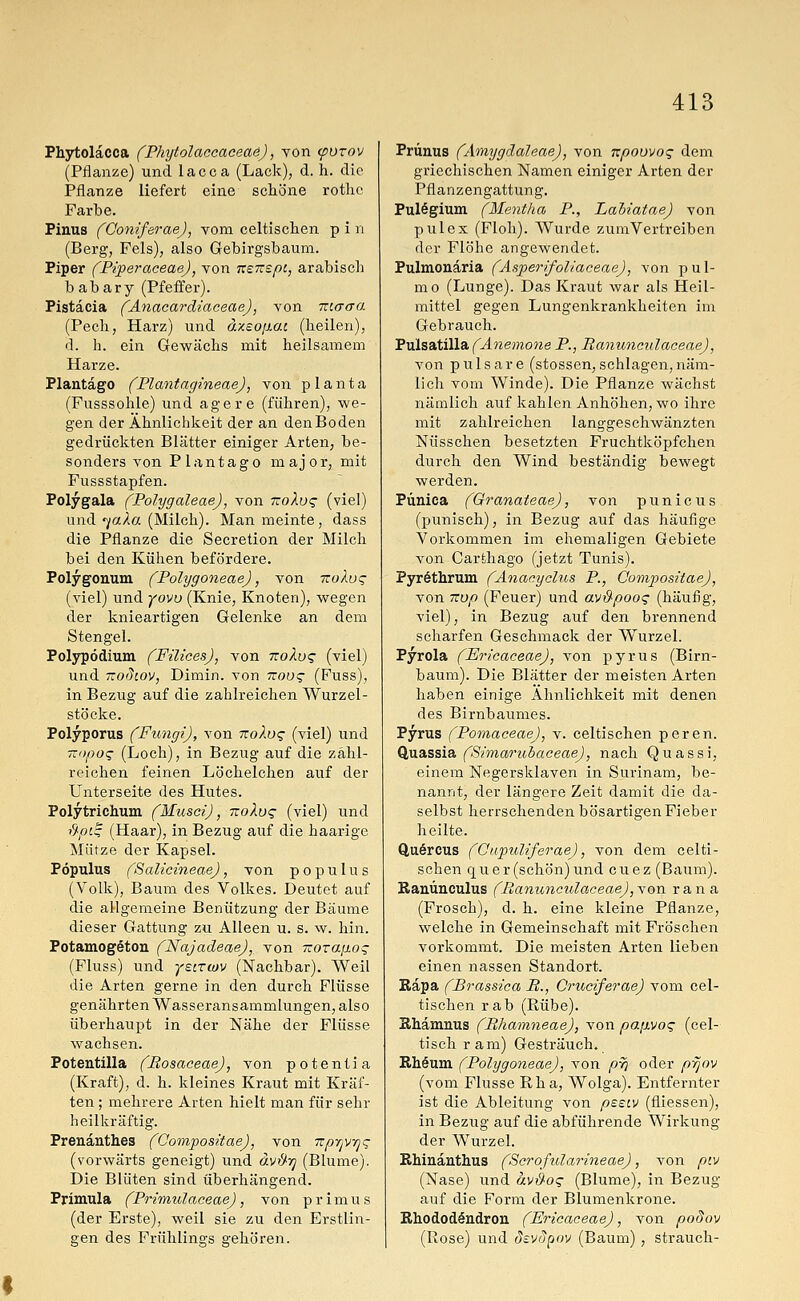 Phytoläcca (Pkytolaccaceae), von <porov (Pflanze) und lacca (Lack), d. h. die Pflanze liefert eine schöne rothc Farbe. Pinus (Goniferae), vom celtischen p i n (Berg, Fels), also Gebirgsbaum. Piper (Piperaceae), von nenept, arabisch babary (Pfeffer). Pistäcia (Anacardiaceae), von maoa (Pech, Harz) und äxeofiac (heilen), d. h. ein Gewächs mit heilsamem Harze. Plantago (Plantagineae), von planta (Fusssohle) und agere (führen), we- gen der Ähnlichkeit der an denBoden gedrückten Blätter einiger Arten, be- sonders von Plantago major, mit Fussstapfen. Polygala (Polygaleae), von izoXvq (viel) und «yflcA« (Milch). Man meinte, dass die Pflanze die Secretion der Milch bei den Kühen befördere. Polygonum (Polygoneae), von -Koloq (viel) und yovu (Knie, Knoten), wegen der knieartigen Gelenke an dem Stengel. Polypödium (FilicesJ, von ■nolw; (viel) und tzoSlov, Dimin. von ttous (Fuss), in Bezug auf die zahlreichen Wurzel- stöcke. Polyporus (Fungi), von izoloq (viel) und Tropos (Loch), in Bezug auf die zähl- reichen feinen Löchelchen auf der Unterseite des Hutes. Polytrichum (Musci), itokug (viel) und ftptf; (Haar), in Bezug auf die haarige Mütze der Kapsel. Pöpulus (Salicineae), von populus (Volk), Baum des Volkes. Deutet auf die allgemeine Benützung der Bäume dieser Gattung zu Alleen u. s. w. hin. Potamog§ton (Najadeae), von irorafio^ (Fluss) und ystTwv (Nachbar). Weil die Arten gerne in den durch Flüsse genährten Wasseransammlungen, also überhaupt in der Nähe der Flüsse wachsen. Potentilla (Bosaceae), von potentia (Kraft), d. h. kleines Kraut mit Kräf- ten; mehrere Arten hielt man für sehr heilkräftig. Prenanthes (Compositae), von -Kpr^-qq (vorwärts geneigt) und ävüiq (Blume). Die Blüten sind überhängend. Primula (Primulaceae), von primus (der Erste), weil sie zu den Erstlin- gen des Frühlings gehören. Prunus (Amygdaleae), von rcpoovog dem griechischen Namen einiger Arten der Pflanzengattung. Pulögium (Mentha P., LabiataeJ von pul ex (Floh). Wurde zumVertreiben der Flöhe angewendet. Pulmonaria (Asper•ifoliaceae), von pul- mo (Lunge). Das Kraut war als Heil- mittel gegen Lungenkrankheiten im Gebrauch. Pulsatilla (Anemone P., Ranunculaceae), von pulsare (stossen,schlagen,näm- lich vom Winde). Die Pflanze wächst nämlich auf kahlen Anhöhen, wo ihre mit zahlreichen langgeschwänzten Nüsschen besetzten Fruchtköpfchen durch den Wind beständig bewegt werden. Pünica (GranateaeJ, von punicus (punisch), in Bezug auf das häufige Vorkommen im ehemaligen Gebiete von Carthago (jetzt Tunis). Pyröthrum (Anacyclus P., CompositaeJ, von Ttop (Feuer) und av#poo$ (häufig, viel), in Bezug auf den brennend scharfen Geschmack der Wurzel. Pyrola (EricaceaeJ, von pyrus (Birn- baum). Die Blätter der meisten Arten haben einige Ähnlichkeit mit denen des Birnbaumes. Pyrus (PomaceaeJ, v. celtischen peren. Quassia (Simarubaceae), nach Quassi, einem Negersklaven in Surinam, be- nannt, der längere Zeit damit die da- selbst herrschenden bösartigen Fieber heilte. Quercus (Cnpuliferae), von dem celti- schen quer (schön) und cuez (Baum). Ranünculus (Ranunculaceae), von r a n a (Frosch), d. h. eine kleine Pflanze, welche in Gemeinschaft mit Fröschen vorkommt. Die meisten Arten lieben einen nassen Standort. Räpa (Brassica R., Oruciferae) vom cel- tischen rab (Rübe). Rhamnus (Bhamneae), von pa\j.vo<; (cel- tisch ram) Gesträuch. Rheum (Polygoneae), von pri oder pyjov (vom Flusse Rh a, Wolga). Entfernter ist die Ableitung von peecv (fliessen), in Bezug auf die abführende Wirkung der Wurzel. Rhinänthus (Scrofularineae), von piv (Nase) und ävßoq (Blume), in Bezug auf die Form der Blumenkrone. Rhododendron (Ericaceae), von podov (Rose) und devSpov (Baum) , Strauch-