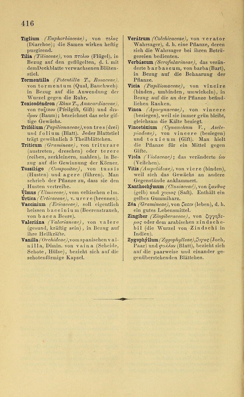 Tiglium (Euphorliaceae), von nXoq (Diarrhoe); die Samen wirken heftig purgirend. Tilia (TiliaceaeJ, von 7triXov (Flügel), in Bezug auf den geflügelten, d. i. mit demDeckblatte verwachsenen Blüten- stiel. Tormentilla (Potentüla T., BosaceaeJ, von tormentum (Qual, Bauchweh) in Bezug auf die Anwendung der Wurzel gegen die Ruhr. Toxicodendron fBhus T., AnacardiaceaeJ, von rofyzov (Pfeilgift, Gift) und dev- dpov (Baum); bezeichnet das sehr gif- tige Gewächs. Trifolium (Papüionaceae),sor\ tr e s (drei) und folium (Blatt). Jeder Blattstiel trägt gewöhnlich 3 Theilblättchen. Triticum (Gramineae), von triturare (austreten, dreschen) oder terere (reiben, zerkleinern, mahlen), in Be- zug auf die Gewinnung der Körner. Tussilago (Compositae), von t u s s i s (Husten) und agere (führen). Man schrieb der Pflanze zu, dass sie den Husten vertreibe. tUmus (Ulmaceae), vom celtischen elm. Urtica (Urticaceae), v. urere (brennen). Vaccinium (Erieaceae). soll eigentlich heissen baccinium (Beerenstrauch, von b ac c a Beere). Valeriana (Valerianeae), von valere (gesund, kräftig sein) , in Bezug auf ihre Heilkräfte. Vanilla (Orchideae),vom spanischen v a i- nilla, Dimin. von vaina (Scheide, Schote, Hülse), bezieht sich auf die schotenförmige Kapsel. Veratrum (Colchicaceae), von verator Wahrsager), d. h. eine Pflanze, deren sich die Wahrsager bei ihren Betrü- gereien bedienten. Verbascum (Scrofularineae), das verän- derte barbascum, von barba(Bart), in Bezug auf die Behaarung der Pflanze. Vicia (Papilionaceae), von vincire (binden, umbinden, umwickeln), in Bezug auf die an der Pflanze befind- lichen Ranken. Vinca (Apocynaceae), von vincere (besiegen), weil sie immer grün bleibt, gleichsam die Kälte besiegt. Vincetöxium (Cynanchum V., Ascle- piadeae), von vincere (besiegen) und toxi cum (Gift). Man hielt die Pflanze für ein Mittel gegen Gifte. Viola (Yiolaceae); das veränderte iov (Veilchen). Vitis (Ampelideae), von viere (binden), weil sich das Gewächs an andere Gegenstände anklammert. Xanthochymum (Clusiaceae),von ^avßo^ (gelb) und yotj.oq (Saft). Enthält ein gelbes Gummiharz. Zea (Gramineae), von Caew (leben), d. h. ein gutes Lebensmittel. Zingiber (Zingiberaceae), von t,iyytßs- po$ oder dem arabischen zindsche- bil (die Wurzel von Zindschi in Indien). Zygo-ph.yllvLm fZygophyIleaeJ,Coyog (Joch, Paar) und (pulkov (Blatt), bezieht sich auf die paarweise und einander ge- genüberstehenden Blättchen.