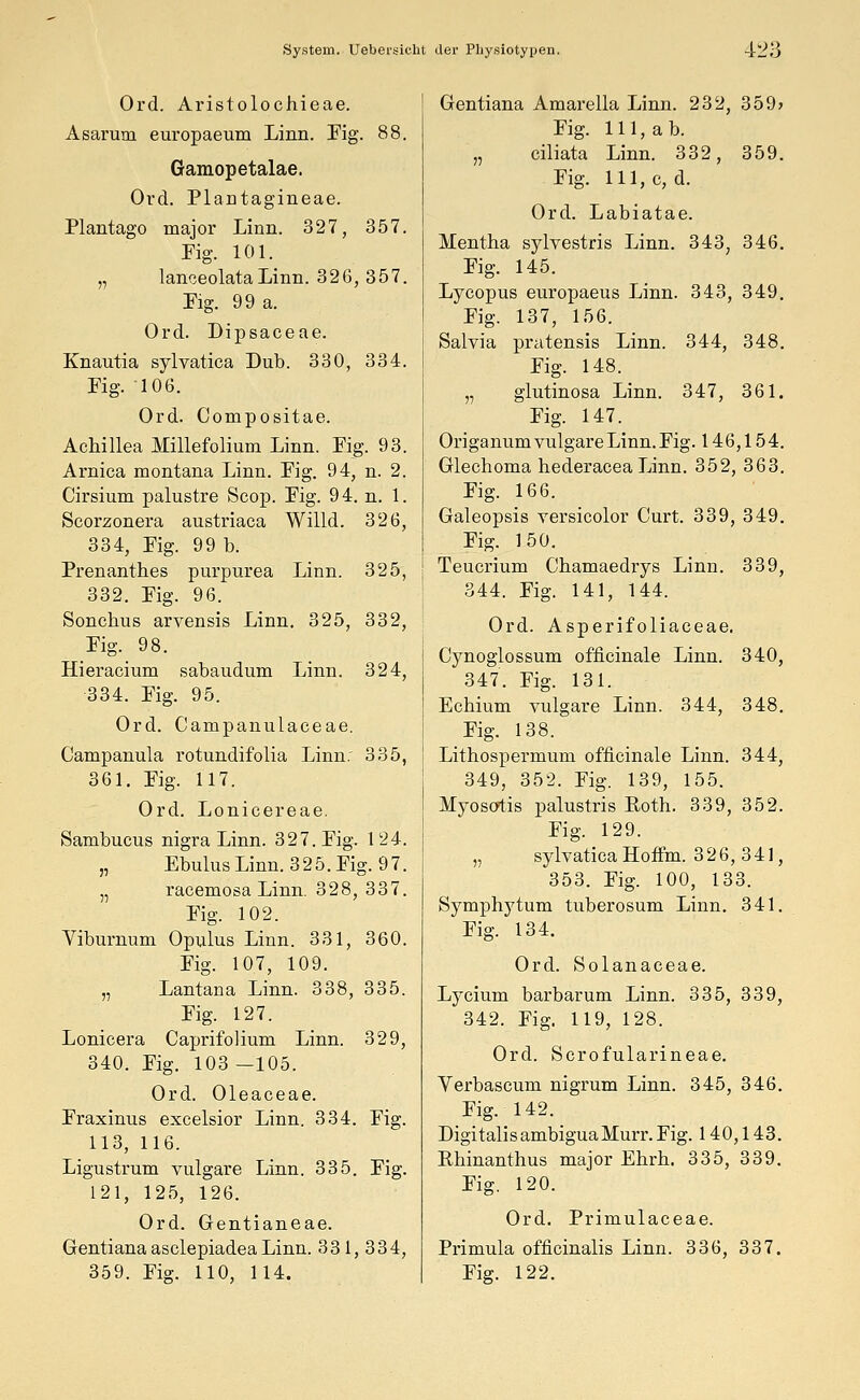 Ord. Aristolochieae. Asarum europaeum Linn. Fig. 88. Gamopetalae. Ord. Plantagineae. Plantago major Linn. 327, 357. Fig. 101. „ lanceolata Linn. 326, 357. Fig. 99 a. Ord. Dipsaceae. Knautia sylvatica Dub. 330, 334. Fig. 106. Ord. Compositae. Achillea Millefolium Linn. Fig. 93. Arnica montana Linn. Fig. 94, n. 2. Cirsium palustre Scop. Fig. 94. n. 1. Scorzonera austriaca Willd. 326, 334, Fig. 99 b. Prenanthes purpurea Linn. 325, 332. Fig. 96. Soncbus arvensis Linn. 325, 332, Fig. 98. Hieracium sabaudum Linn. 324, 334. Fig. 95. Ord. Campanulaceae. Campanula rotundifolia Linn: 335, 361. Fig. 117. Ord. Lonicereae. Sambucus nigra Linn. 327. Fig. 124. „ EbulusLinn. 325. Fig. 97. n racemosa Linn. 328, 337. Fig. 102. Viburnum Opulus Linn. 331, 360. Fig. 107, 109. „ Lantana Linn. 338, 335. Fig. 127. Lonicera Caprifolium Linn. 329, 340. Fig. 103 —105. Ord. Oleaceae. Fraxinus excelsior Linn. 334. Fig. 113, 116. Ligustrum vulgare Linn. 335. Fig. 121, 125, 126. Ord. Gentianeae. Gentiana asclepiadea Linn. 33 1, 334, 359. Fig. 110, 114. 1 Gentiana Amarella Linn. 232, 359? Fig. 111, ab. „ ciliata Linn. 332, 359. Fig. 111, c, d. Ord. Labiatae. Mentha sylvestris Linn. 343, 346. Fig. 145. Lycopus europaeus Linn. 343, 349. Fig. 137, 156. Salvia pratensis Linn. 344, 348. Fig. 148. „ glutinosa Linn. 347, 361. Fig. 147. Origanum vulgare Linn. Fig. 146,154. Glechoma hederacea Linn. 352, 363. Fig. 166. Galeopsis versicolor Curt. 339, 349. Fig. 150. Teucrium Chamaedrys Linn. 339, 344. Fig. 141, 144. Ord. Asperifoliaceae. Cynoglossum officinale Linn. 340, 347. Fig. 131. Echium vulgare Linn. 344, 348. Fig. 138. Lithospermum officinale Linn. 344, 349, 352. Fig. 139, 155. Myositis palustris Eoth. 339, 352. Fig. 129. „ sylvatica Hoffm. 326,341, 353. Fig. 100, 133. Symphytum tuberosum Linn. 341. Fig. 134. Ord. Solanaceae. Lycium barbarum Linn. 335, 339, 342. Fig. 119, 128. Ord. Scrofularineae. Verbascum nigrum Linn. 345, 346. Fig. 142. DigitalisambiguaMurr.Fig. 140,143. Rbinanthus major Ehrh. 335, 339. Fig. 120. Ord. Primulaceae. Primula officinalis Linn. 336, 337. Fig. 122.
