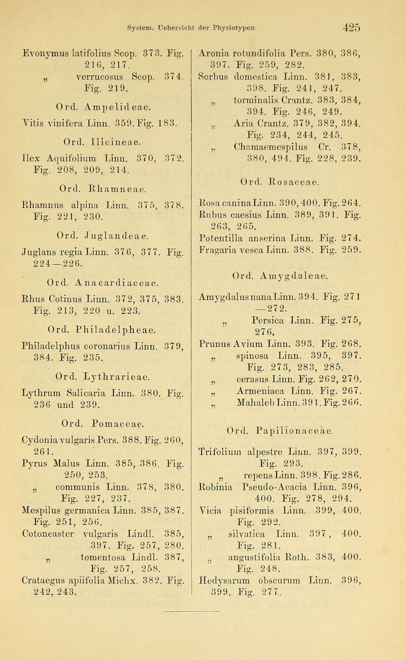 Evonymus latifolius Scop. 37 3. Fig. 216, 217. „ verrucosus Scop. 374. Fig. 219. Orcl. Ampelideae. Vitis vinifera Linn. 359. Fig. 183. Orcl. Ilicineae. Hex Aquifolium Linn. 370, 372. Fig. 208, 209, 214. Orcl. Rhamneae. Rhainnus alpina Linn. 375, 37 8. Fig. 221, 230. Orcl. Juglancleae. Juglans regia Linn. 376, 377. Fig. 224—226. Ord. Anacardiaceae. Bhus Cotinus Linn. 37 2, 37 5, 383. Fig. 213, 220 u. 223. Ord. Philadelpheae. Philadelphus coronarius Linn. 379, 384. Fig. 235. Ord. Lythrarieae. Lythrum Salicaria Linn. 380. Fig. 236 und 239. Ord. Pomaceae. Cydonia vulgaris Pers. 388. Fig 260, 261. Pyrus Malus Linn. 385, 386. Fig. 250, 253. „ communis Linn. 378, 380. Fig. 227, 237. Mespilus germanica Linn. 385, 387. Fig. 251, 256. Cotoneaster vulgaris Lindl. 385, 397. Fig. 257, 280. „ tomentosa Lindl. 387, Fig. 257, 258. Crataegus apiifolia Michx. 382 Fig. 242, 243. Aronia rotundifolia Pers. 380, 386, 397. Fig. 259, 282. Sorbus domestica Linn. 381, 383, 398. Fig. 241, 247. „ torminalis Crantz. 383, 384, 394. Fig. 246, 249. „ Aria Crantz. 379, 382, 394. Fig. 234, 244, 245. „ Chamaemespilus Cr. 378, 380, 494. Fig. 228, 239. Ord. Rosaceae. Eosa caninaLinn. 390, 400. Fig. 264. Rubus caesius Linn. 389, 391. Fig. 263, 265. Potentilla anserina Linn. Fig. 274. Fragaria vesca Linn. 388. Fig. 259. Ord. Amygdaleae. Amygdalus nana Linn. 394. Fig. 271 — 272. „ Persica Linn. Fig. 275, 276. Prunus Avium Linn. 393. Fig. 268. „ spinosa Linn. 395, 397. Fig. 273, 283, 285. „ cera sus Linn. Fig. 2 6 2, 2 7 0. „ Armeniaca Linn. Fig. 267. „ MahalebLinn.391.Fig.266. Ord. Papilionaceae. Trifolium alpestre Linn. 397, 399. Fig. 293. „ repensLinn. 398. Fig. 286. Robinia Pseudo-Acacia Linn. 396, 400. Fig. 278, 294. Vicia pisiformis Linn. 399, 400. Fig. 292. „ silvatica Linn. 397 , 400. Fig. 281. „ angustifolia Roth. 383, 400. Fig. 248. Hedysarum obscurum Linn. 396, 399. Fig. 277.