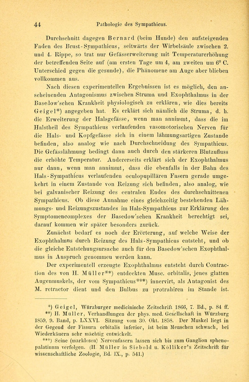 Durchschnitt dagegen Bernard (beim Hunde) den aufsteigenden Faden des Brust-Sympathicus, seitwärts der Wirbelsäule zwischen 2. und 4. Rippe, so trat nur Gefässerwciterung mit Temperaturerhöhung der betreffenden Seite auf (am ersten Tage um 4, am zweiten um 6° C. Unterschied gegen die gesunde), die Phänomene am Auge aber blieben vollkommen ans. Nach diesen experimentellen Ergebnissen ist es möglich, den an- scheinenden Antagonismus zwischen Struma und Exophthalmus in der Basedow'schen Krankheit physiologisch zu erklären, wie dies bereits Geigel*) angegeben hat. Es erklärt sich nämlich die Struma, d. h. die Erweiterung der Halsgefässe, wenn man annimmt, dass die im Halstheil des Sympathicus verlaufenden vasomotorischen Nerven für die Hals- und Kopfgefässe sich in einem lähmungsartigen Zustande befinden, also analog wie nach Durchschneidung des Sympathicus. Die Gefässlähmung bedingt dann auch durch den stärkeren Blutzufluss die erhöhte Temperatur. Andererseits erklärt sich der Exophthalmus nur dann, wenn man annimmt, dass die ebenfalls in der Bahn des Hals - Sympathicus verlaufenden oculopupillären Fasern gerade umge- kehrt in einem Zustande von Reizung sich befinden, also analog, wie bei galvanischer Reizung des centralen Endes des durchschnittenen Sympathicus. Ob diese Annahme eines gleichzeitig bestehenden Läh- mungs- und Reizungszustandes im Hals-Sympathicus zur Erklärung des Symptomencomplexes der Basedow'schen Krankheit berechtigt sei, darauf kommen wir später besonders zurück. Zunächst bedarf es noch der Erörterung, auf welche Weise der Exophthalmus durch Reizung des Hals-Sympathicus entsteht, und ob die gleiche Entstehungsursache auch für den Basedow'schen Exophthal- mus in Anspruch genommeu werden kann. Der experimentell erzeugte Exophthalmus entsteht durch Contrac- tion des von H. Müller**) entdeckten Muse, orbitalis, jenes glatten Augenmuskels, der vom Sympathicus***) innervirt, als Antagonist des M. retractor dient und den Bulbus zu protra.hiren im Stande ist. *) Geigel, Würzburger medicinische Zeitschrift 1866, 7. Bd., p. 84 ff. **) IT. Müller, Verhandlungen der phys. med. Gesellschaft in Würzburg 1859, 9. Band, p. LXXVI. Sitzung vom 30. Okt. 1858. Der Muskel liegt in der Gegend der Fissura orbitalis inferior, ist beim Menschen schwach, bei Wiederkäuern sehr mächtig entwickelt. ***■) Seine (marklosen) Nervenfasern lassen sich bis zum Ganglion spheno- palatinum verfolgen. (II. Müller in Sicbold u. Köllikcr's Zeitschrift für wissenschaftliche Zoologie, Bd. IX., p. 541.)