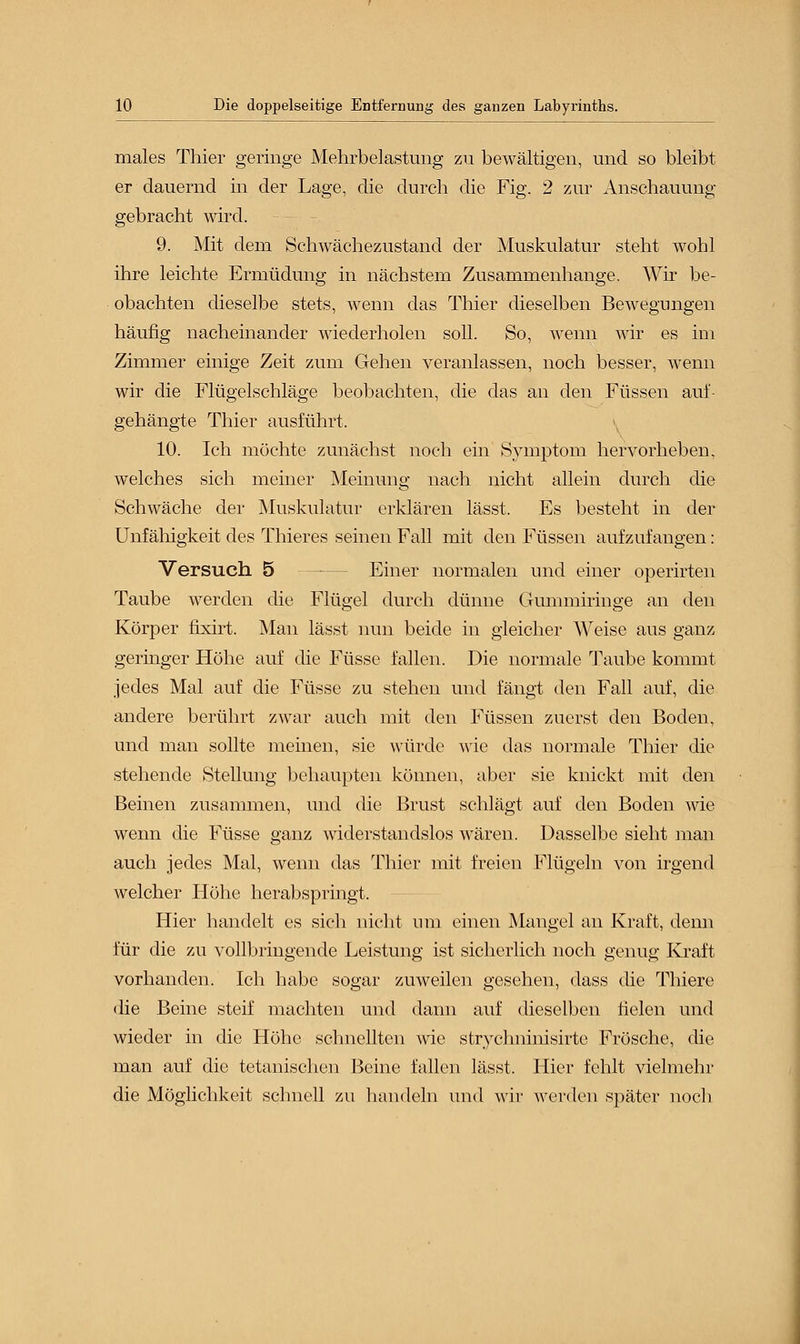 males Thier geringe Mehrbelastung zu bewältigen, und so bleibt er dauernd in der Lage, die durch die Fig. 2 zur Anschauung gebracht wird. 9. Mit dem Schwächezustand der Muskulatur steht wohl ihre leichte Ermüdung in nächstem Zusammenhange. Wir be- obachten dieselbe stets, wenn das Thier dieselben Bewegungen häufig nacheinander wiederholen soll. So, wenn wir es im Zimmer einige Zeit zum Gehen veranlassen, noch besser, wenn wir die Flügelschläge beobachten, die das an den Füssen auf- gehängte Thier ausführt. 10. Ich möchte zunächst noch ein Symptom hervorheben, welches sich meiner Meinung nach nicht allein durch die Schwäche der Muskulatur erklären lässt. Es besteht in der Unfähigkeit des Thieres seinen Fall mit den Füssen aufzufangen: Versuch. 5 Einer normalen und einer operirten Taube werden die Flügel durch dünne Gummiringe an den Körper frxirt. Man lässt nun beide in gleicher Weise aus ganz geringer Höhe auf die Füsse fallen. Die normale Taube kommt jedes Mal auf die Füsse zu stehen und fängt den Fall auf, die andere berührt zwar auch mit den Füssen zuerst den Boden, und man sollte meinen, sie würde wie das normale Thier die stehende Stellung behaupten können, aber sie knickt mit den Beinen zusammen, und die Brust schlägt auf den Boden wie wenn die Füsse ganz widerstandslos wären. Dasselbe sieht man auch jedes Mal, wenn das Thier mit freien Flügeln von irgend welcher Höhe herabspringt. Hier handelt es sich nicht um einen Mangel an Kraft, denn für die zu vollbringende Leistung ist sicherlich noch genug Kraft vorhanden. Ich habe sogar zuweilen gesehen, dass die Thiere die Beine steif machten und dann auf dieselben fielen und wieder in die Höhe schnellten wie strychniiiisirte Frösche, die man auf die tetanischen Beine fallen lässt. Hier fehlt vielmehr die Möglichkeit schnell zu handeln und wir werden später noch