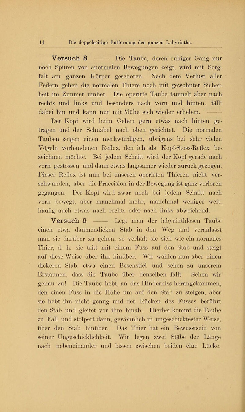 Versuch 8 Die Taube, deren ruhiger Gang nur noch Spuren von anormalen Bewegungen zeigt, wird mit Sorg- falt am ganzen Körper geschoren. Nach dem Verlust aller Federn gehen die normalen Thiere noch mit gewohnter Sicher- heit im Zimmer umher. Die operirte Taube taumelt aber nach rechts und links und besonders nach vorn und hinten, fällt dabei hin und kann nur mit Mühe sich wieder erheben. Der Kopf wird beim Gehen gern etwas nach hinten ge- tragen und der Schnabel nach oben gerichtet. Die normalen Tauben zeigen einen merkwürdigen, übrigens bei sehr vielen Vögeln vorhandenen Reflex, den ich als Kopf-Stoss-Reflex be- zeichnen möchte. Bei jedem Schritt wird der Kopf gerade nach vorn gestossen und dann etwas langsamer wieder zurück gezogen. Dieser Reflex ist nun bei unseren operirten Thieren nicht ver- schwunden, aber die Praecision in der Bewegung ist ganz verloren gegangen. Der Kopf wird zwar noch bei jedem Schritt nach vorn bewegt, aber manchmal mehr, manchmal weniger weit, häufig auch etwas nach rechts oder nach links abweichend. Versuch 9 Legt man der labyrinthlosen Taube einen etwa daumendicken Stab in den Weg und veranlasst man sie darüber zu gehen, so verhält sie sich wie ein normales Thier, d. h. sie tritt mit einem Fuss auf den Stab und steigt auf diese Weise über ihn hinüber. Wir wählen nun aber einen dickeren Stab, etwa einen Besenstiel und sehen zu unserem Erstaunen, dass die Taube über denselben fällt. Sehen wir genau zu! Die Taube hebt, an das Hinderniss herangekommen, den einen Fuss in die Höhe um auf den Stab zu steigen, aber sie hebt ihn nicht genug und der Rücken des Fusses berührt den Stab und gleitet vor ihm hinab. Hierbei kommt die Taube zu Fall und stolpert dann, gewöhnlich in ungeschicktester Weise, über den Stab hinüber. Das Thier hat ein Bewusstsein von seiner Ungeschicklichkeit. WTir legen zwei Stäbe der Länge nach nebeneinander und lassen zwischen beiden eine Lücke.