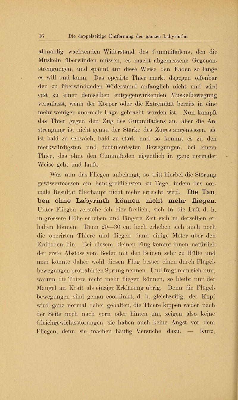 allmählig wachsenden Widerstand des Gnmmifadens, den die Muskeln überwinden müssen, es macht abgemessene Gegenan- strengimgen, und spannt auf diese Weise den Faden so lange es will und kann. Das operirte Thier merkt dagegen offenbar den zu überwindenden Widerstand anfänglich nicht und wird erst zu einer demselben entgegenwirkenden Muskelbewegung veranlasst, wenn der Körper oder die Extremität bereits in eine mehr weniger anormale Lage gebracht worden ist. Nun kämpft das Thier gegen den Zug des Gummifadens an, aber die An- strengung ist nicht genau der Stärke des Zuges angemessen, sie ist bald zu schwach, bald zu stark und so kommt es zu den merkwürdigsten und turbulentesten Bewegungen, bei einem Thier, das ohne den Gummifaden eigentlich in ganz normaler Weise geht und läuft. Was nun das Fliegen anbelangt, so tritt hierbei die Störung gewissermassen am handgreiflichsten zu Tage, indem das nor- male Resultat überhaupt nicht mehr erreicht wird. Die Tau- ben ohne Labyrinth können nicht mehr fliegen. Unter Fliegen verstehe ich hier freilich, sich in die Luft d. h. in grössere Höhe erheben und längere Zeit sich in derselben er- halten können. Denn 20—30 cm hoch erheben sich auch noch die operirten Thiere und fliegen dann einige Meter über den Erdboden hin. Bei diesem kleinen Flug kommt ihnen natürlich der erste Abstoss vom Boden mit den Beinen sehr zu Hülfe und man könnte daher wohl diesen Flug besser einen durch Flügel- bewegungen protrahirten Sprung nennen. Und fragt man sich nun, warum die Thiere nicht mehr fliegen können, so bleibt nur der Mangel an Kraft als einzige Erklärung übrig. Denn die Flügel- bewegungen sind genau coordinirt, d. h. gleichzeitig, der Kopf wird ganz normal dabei gehalten, die Thiere kippen weder nach der Seite noch nach vorn oder hinten um, zeigen also keine Gleichgewichtsstörungen, sie haben auch keine Angst vor dem Fliegen, denn sie machen häufig Versuche dazu. — Kurz,