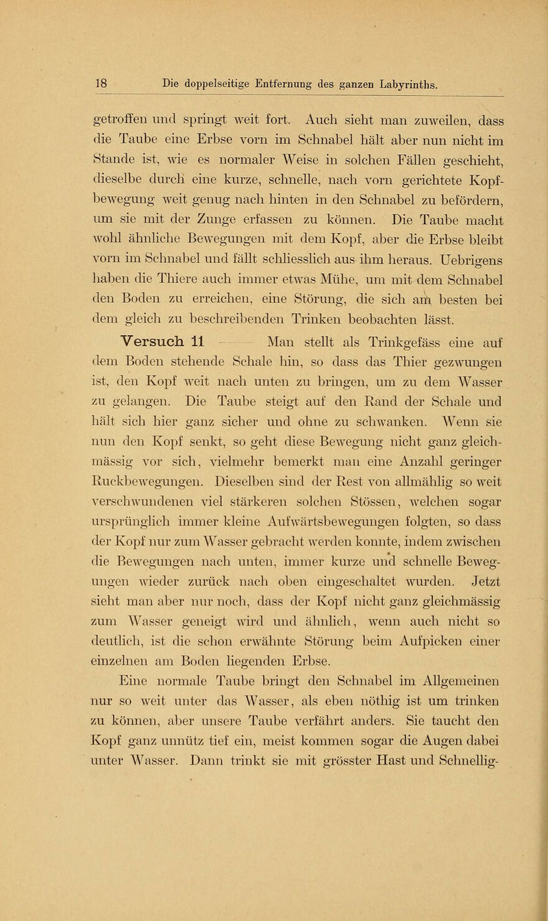 getroffen und springt weit fort. Auch sieht man zuweilen, dass die Taube eine Erbse vorn im Schnabel hält aber nun nicht im Stande ist, wie es normaler Weise in solchen Fällen geschieht, dieselbe durch eine kurze, schnelle, nach vorn gerichtete Kopf- bewegung weit genug nach hinten in den Schnabel zu befördern, um sie mit der Zunge erfassen zu können. Die Taube macht wohl ähnliche Bewegungen mit dem Kopf, aber die Erbse bleibt vorn im Schnabel und fällt schliesslich aus ihm heraus. Uebrigens haben die Thiere auch immer etwas Mühe, um mit dem Schnabel den Boden zu erreichen, eine Störung, die sich am besten bei dem gleich zu beschreibenden Trinken beobachten lässt. Versuch 11 Man stellt als Trinkgefäss eine auf dem Boden stehende Schale hin, so dass das Thier gezwungen ist, den Kopf weit nach unten zu bringen, um zu dem Wasser zu gelangen. Die Taube steigt auf den Rand der Schale und hält sich hier ganz sicher und ohne zu schwanken. Wenn sie nun den Kopf senkt, so geht diese Bewegung nicht ganz gleich- massig vor sich, vielmehr bemerkt man eine Anzahl geringer Ruckbewegungen. Dieselben sind der Rest von allmählig so weit verschwundenen viel stärkeren solchen Stössen, welchen sogar ursprünglich immer kleine Aufwärtsbewegungen folgten, so dass der Kopf nur zum Wasser gebracht werden konnte, indem zwischen die Bewegungen nach unten, immer kurze und schnelle Beweg- ungen wieder zurück nach oben eingeschaltet wurden. Jetzt sieht man aber nur noch, dass der Kopf nicht ganz gleichmässig zum Wasser geneigt wird und ähnlich, wenn auch nicht so deutlich, ist die schon erwähnte Störung beim Aufpicken einer einzelnen am Boden liegenden Erbse. Eine normale Taube bringt den Schnabel im Allgemeinen nur so weit unter das Wasser, als eben nöthig ist um trinken zu können, aber unsere Taube verfährt anders. Sie taucht den Kopf ganz unnütz tief ein, meist kommen sogar die Augen dabei unter Wasser. Dann trinkt sie mit grösster Hast und Schnellig-