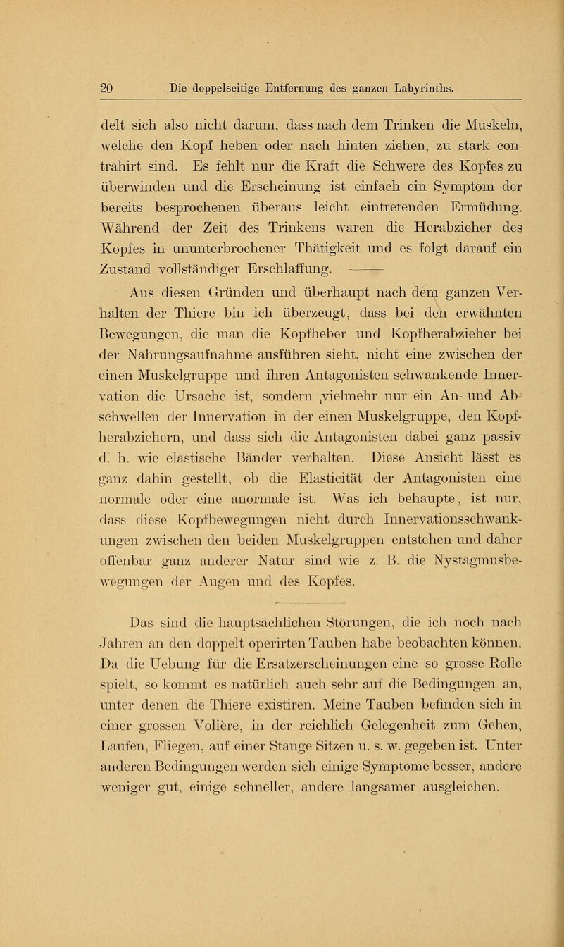 delt sich also nicht darum, dass nach dem Trinken die Muskeln, welche den Kopf heben oder nach hinten ziehen, zu stark con- trahirt sind. Es fehlt nur die Kraft die Schwere des Kopfes zu überwinden und die Erscheinung ist einfach ein Symptom der bereits besprochenen überaus leicht eintretenden Ermüdung. Während der Zeit des Trinkens waren die Herabzieher des Kopfes in ununterbrochener Thätigkeit und es folgt darauf ein Zustand vollständiger Erschlaffung. Aus diesen Gründen und überhaupt nach dem ganzen Ver- halten der Thiere bin ich überzeugt, dass bei den erwähnten Bewegungen, die man die Kopfheber und Kopfherabzieher bei der Nahrungsaufnahme ausführen sieht, nicht eine zwischen der einen Muskelgruppe und ihren Antagonisten schwankende Inner- vation die Ursache ist, sondern vielmehr nur ein An- und Ab- schwellen der Innervation in der einen Muskelgruppe, den Kopf- herabziehern, und dass sich die Antagonisten dabei ganz passiv d. h. wie elastische Bänder verhalten. Diese Ansicht lässt es ganz dahin gestellt, ob die Elasticität der Antagonisten eine normale oder eine anormale ist. Was ich behaupte, ist nur, dass diese Kopfbewegungen nicht durch Innervationsschwank- ungen zwischen den beiden Muskelgruppen entstehen und daher offenbar ganz anderer Natur sind wie z. B. die Nystagmusbe- wegungen der Augen und des Kopfes. Das sind die hauptsächlichen Störungen, die ich noch nach Jahren an den doppelt operirtcn Tauben habe beobachten können. Da die Uebung für die Ersatzerscheinungen eine so grosse Rolle spielt, so kommt es natürlich auch sehr auf die Bedingungen an, unter denen die Thiere existiren. Meine Tauben befinden sich in einer grossen Voliere, in der reichlich Gelegenheit zum Gehen, Laufen, Fliegen, auf einer Stange Sitzen u. s. w. gegeben ist. Unter anderen Bedingungen werden sich einige Symptome besser, andere weniger gut, einige schneller, andere langsamer ausgleichen.