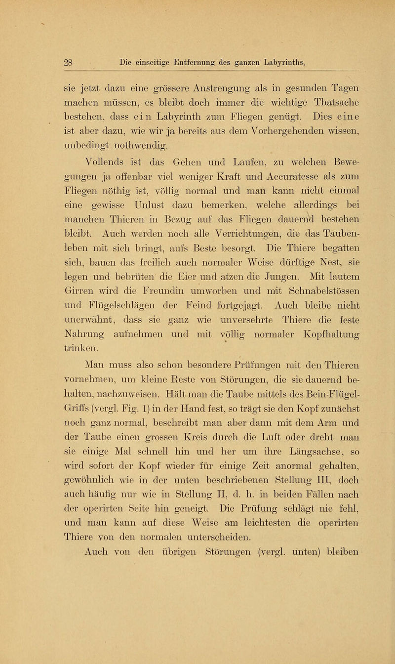 sie jetzt dazu eine grössere Anstrengung als in gesunden Tagen machen müssen, es bleibt doch immer die wichtige Thatsache bestehen, dass ein Labyrinth zum Fliegen genügt. Dies eine ist aber dazu, wie wir ja bereits aus dem Vorhergehenden wissen, unbedingt nothwendig. Vollends ist das Gehen und Laufen, zu welchen Bewe- gungen ja offenbar viel weniger Kraft und Accuratesse als zum Fliegen nöthig ist, völlig normal und man kann nicht einmal eine gewisse Unlust dazu bemerken, welche allerdings bei manchen Thieren in Bezug auf das Fliegen dauernd bestehen bleibt. Auch werden noch alle Verrichtungen, die das Tauben- leben mit sich bringt, aufs Beste besorgt. Die Thiere begatten sich, bauen das freilich auch normaler Weise dürftige Nest, sie legen und bebrüten die Eier und atzen die Jungen. Mit lautem Girren wird die Freundin umworben und mit Schnabelstössen und Flügelschlägen der Feind fortgejagt. Auch bleibe nicht unerwähnt, dass sie ganz wie unversehrte Thiere die feste Nahrung aufnehmen und mit völlig normaler Kopfhaltung trinken. Man muss also schon besondere Prüfungen mit den Thieren vornehmen, um kleine Reste von Störungen, die sie dauernd be- halten, nachzuweisen. Hält man die Taube mittels des Bein-Flügel- Griffs (vergl. Fig. 1) in der Hand fest, so trägt sie den Kopf zunächst noch ganz normal, beschreibt man aber dann mit dem Arm und der Taube einen grossen Kreis durch die Luft oder dreht man sie einige Mal schnell hin und her um ihre Längsachse, so wird sofort der Kopf wieder für einige Zeit anormal gehalten, gewöhnlich wie in der unten beschriebenen Stellung III, doch auch häufig nur wie in Stellung II, d. h. in beiden Fällen nach der operirten Seite hin geneigt. Die Prüfung schlägt nie fehl, und man kann auf diese Weise am leichtesten die operirten Thiere von den normalen unterscheiden. Auch von den übrigen Störungen (vergl. unten) bleiben