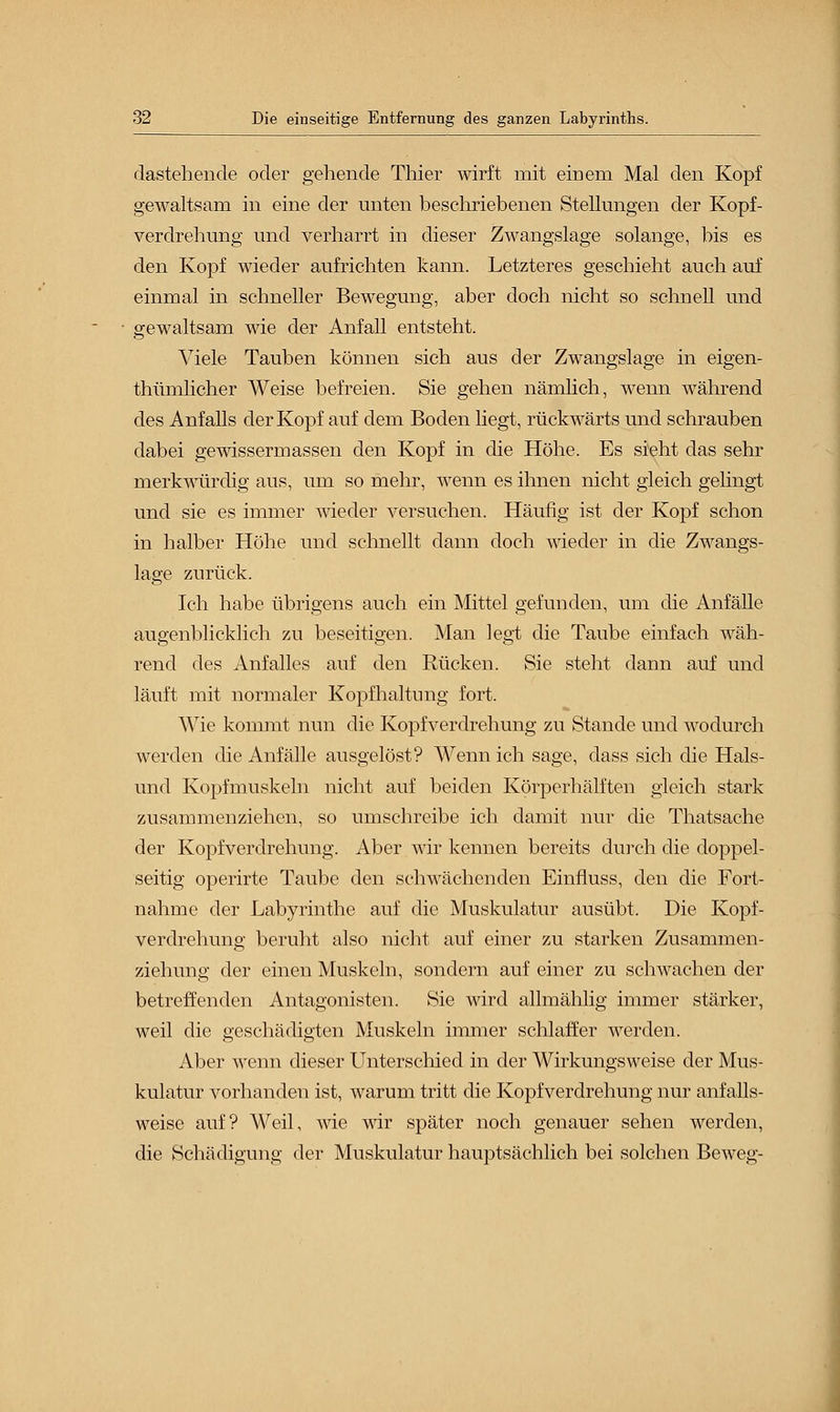 dastehende oder gehende Thier wirft mit einem Mal den Kopf gewaltsam in eine der unten beschriebenen Stellungen der Kopf- verdrehung und verharrt in dieser Zwangslage solange, bis es den Kopf wieder aufrichten kann. Letzteres geschieht auch auf einmal in schneller Bewegung, aber doch nicht so schnell und gewaltsam wie der Anfall entsteht. Viele Tauben können sich aus der Zwangslage in eigen- thümlicher Weise befreien. Sie gehen nämlich, wenn während des Anfalls der Kopf auf dem Boden hegt, rückwärts und schrauben dabei gewissermassen den Kopf in die Höhe. Es sieht das sehr merkwürdig aus, um so mehr, wenn es ihnen nicht gleich gelingt und sie es immer wieder versuchen. Häufig ist der Kopf schon in halber Höhe und schnellt dann doch wieder in die Zwangs- lage zurück. Ich habe übrigens auch ein Mittel gefunden, um die Anfälle augenblicklich zu beseitigen. Man legt die Taube einfach wäh- rend des Anfalles auf den Rücken. Sie steht dann auf und läuft mit normaler Kopfhaltung fort. Wie kommt nun die Kopfverdrehung zu Stande und wodurch werden die Anfälle ausgelöst? AVenn ich sage, dass sich die Hais- und Kopfmuskeln nicht auf beiden Körperhälften gleich stark zusammenziehen, so umschreibe ich damit nur die Thatsache der Kopfverdrehung. Aber wir kennen bereits durch die doppel- seitig operirte Taube den schwächenden Einfluss, den die Fort- nahme der Labyrinthe auf die Muskulatur ausübt. Die Kopf- verdrehung beruht also nicht auf einer zu starken Zusammen- ziehung der einen Muskeln, sondern auf einer zu schwachen der betreffenden Antagonisten. Sie wird allmählig immer stärker, weil die geschädigten Muskeln immer schlaffer werden. Aber wenn dieser Unterschied in der Wirkungsweise der Mus- kulatur vorhanden ist, warum tritt die Kopfverdrehung nur anfalls- weise auf? Weil, wie wir später noch genauer sehen werden, die Schädigung der Muskulatur hauptsächlich bei solchen Beweg-