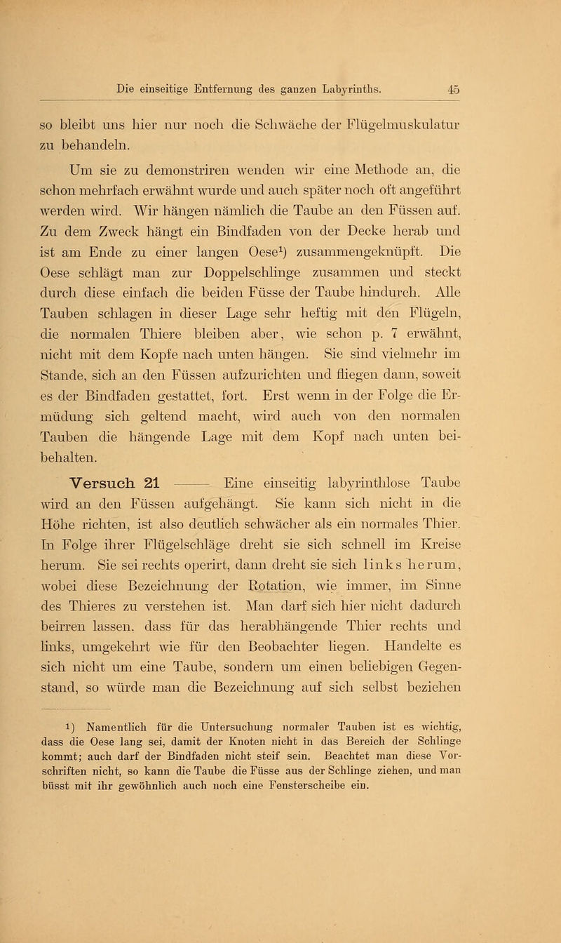 so bleibt uns hier nur noch die Schwäche der Flügelmuskulatur zu behandeln. Um sie zu demonstriren wenden wir eine Methode an, die schon mehrfach erwähnt wurde und auch später noch oft angeführt werden wird. Wir hängen nämlich die Taube an den Füssen auf. Zu dem Zweck hängt ein Bindfaden von der Decke herab und ist am Ende zu einer langen Oese1) zusammengeknüpft. Die Oese schlägt man zur Doppel schlinge zusammen und steckt durch diese einfach die beiden Füsse der Taube hindurch. Alle Tauben schlagen in dieser Lage sehr heftig mit den Flügeln, die normalen Thiere bleiben aber, wie schon p. 7 erwähnt, nicht mit dem Kopfe nach unten hängen. Sie sind vielmehr im Stande, sich an den Füssen aufzurichten und fliegen dann, soweit es der Bindfaden gestattet, fort. Erst wenn in der Folge die Er- müdung sich geltend macht, wird auch von den normalen Tauben die hängende Lage mit dem Kopf nach unten bei- behalten. Versuch 21 Eine einseitig labyrinthlose Taube wird an den Füssen aufgehängt. Sie kann sich nicht in die Höhe richten, ist also deutlich schwächer als ein normales Thier. In Folge ihrer Flügelschläge dreht sie sich schnell im Kreise herum. Sie sei rechts operirt, dann dreht sie sich links herum, wobei diese Bezeichnung der Rotation, wie immer, im Sinne des Thieres zu verstehen ist. Man darf sich hier nicht dadurch beirren lassen, dass für das herabhängende Thier rechts und links, umgekehrt wie für den Beobachter liegen. Handelte es sich nicht um eine Taube, sondern um einen beliebigen Gegen- stand, so würde man die Bezeichnung auf sich selbst beziehen i) Namentlich für die Untersuchung normaler Tauben ist es wichtig, dass die Oese lang sei, damit der Knoten nicht in das Bereich der Schlinge kommt; auch darf der Bindfaden nicht steif sein. Beachtet man diese Vor- schriften nicht, so kann die Taube die Füsse aus der Schlinge ziehen, und man büsst mit ihr gewöhnlich auch noch eine Fensterscheibe ein.