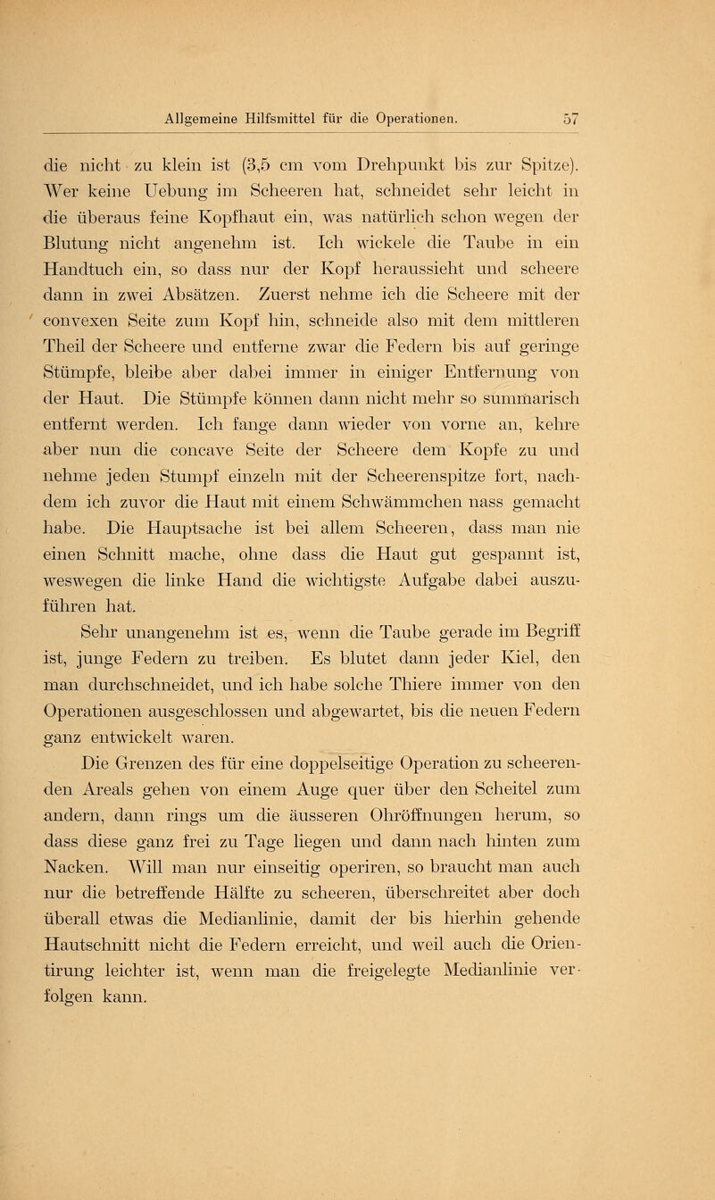 die nicht zu klein ist (3,5 cm vom Drehpunkt bis zur Spitze). Wer keine Uebung im Scheeren hat, schneidet sehr leicht in die überaus feine Kopfhaut ein, was natürlich schon wegen der Blutung nicht angenehm ist. Ich wickele die Taube in ein Handtuch ein, so dass nur der Kopf heraussieht und scheere dann in zwei Absätzen. Zuerst nehme ich die Scheere mit der convexen Seite zum Kopf hin, schneide also mit dem mittleren Theil der Scheere und entferne zwar die Federn bis auf geringe Stümpfe, bleibe aber dabei immer in einiger Entfernung von der Haut. Die Stümpfe können dann nicht mehr so summarisch entfernt werden. Ich fange dann wieder von vorne an, kehre aber nun die concave Seite der Scheere dem Kopfe zu und nehme jeden Stumpf einzeln mit der Scheerenspitze fort, nach- dem ich zuvor die Haut mit einem Schwämmchen nass gemacht habe. Die Hauptsache ist bei allem Scheeren, dass man nie einen Schnitt mache, ohne dass die Haut gut gespannt ist, weswegen die linke Hand die wichtigste Aufgabe dabei auszu- führen hat. Sehr unangenehm ist es, wenn die Taube gerade im Begriff ist, junge Federn zu treiben. Es blutet dann jeder Kiel, den man durchschneidet, und ich habe solche Thiere immer von den Operationen ausgeschlossen und abgewartet, bis die neuen Federn ganz entwickelt waren. Die Grenzen des für eine doppelseitige Operation zu scheeren- den Areals gehen von einem Auge quer über den Scheitel zum andern, dann rings um die äusseren Ohröfmungen herum, so dass diese ganz frei zu Tage liegen und dann nach hinten zum Nacken. Will man nur einseitig operiren, so braucht man auch nur die betreffende Hälfte zu scheeren, überschreitet aber doch überall etwas die Medianlinie, damit der bis hierhin gehende Hautschnitt nicht die Federn erreicht, und weil auch die Orien- tirung leichter ist, wenn man die freigelegte Medianlinie ver- folgen kann.