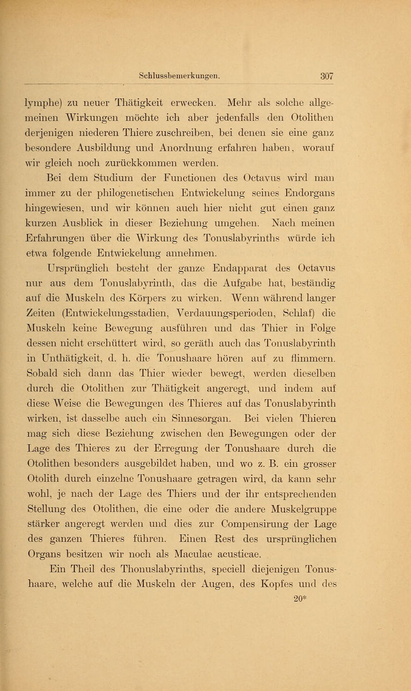 lymphe) zu neuer Thätigkeit erwecken. Mehr als solche allge- meinen Wirkungen möchte ich aber jedenfalls den Otolithen derjenigen niederen Thiere zuschreiben, bei denen sie eine ganz besondere Ausbildung und Anordnung erfahren haben, worauf wir gleich noch zurückkommen werden. Bei dem Studium der Functionen des Octavus wird mau immer zu der philogenetischen Entwickelung seines Endorgans hingewiesen, und wir können auch hier nicht gut einen ganz kurzen Ausblick in dieser Beziehung umgehen. Nach meinen Erfahrungen über die Wirkung des Tonuslabyrinths würde ich etwa folgende Entwickelung annehmen. Ursprünglich besteht der ganze Endapparat des Octavus nur aus dem Tonuslabyrinth, das die Aufgabe hat, beständig auf die Muskeln des Körpers zu wirken. Wenn während langer Zeiten (Entwiekelungsstadien, Verdauungsperioden, Schlaf) die Muskeln keine Bewegung ausführen und das Thier in Folge dessen nicht erschüttert wird, so geräth auch das Tonuslabyrinth in Unthätigkeit, d. h. die Tonushaare hören auf zu flimmern. Sobald sich dann das Thier wieder bewegt, werden dieselben durch die Otolithen zur Thätigkeit angeregt, und indem auf diese Weise die Bewegungen des Thieres auf das Tonuslabyrinth wirken, ist dasselbe auch ein Sinnesorgan. Bei vielen Thieren mag sich diese Beziehung zwischen den Bewegungen oder der Lage des Thieres zu der Erregung der Tonushaare durch die Otolithen besonders ausgebildet haben, und wo z. B. ein grosser Otolith durch einzelne Tonushaare getragen wird, da kann sehr wohl, je nach der Lage des Thiers und der ihr entsprechenden Stellung des Otolithen, die eine oder die andere Muskelgruppe stärker angeregt werden und dies zur Compensirung der Lage des ganzen Thieres führen. Einen Rest des ursprünglichen Organs besitzen wir noch als Maculae acusticae. Ein Theil des Thonuslabyrinths, speciell diejenigen Tonus- haare, welche auf die Muskeln der Augen, des Kopfes und des 20*