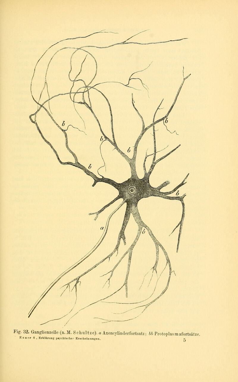 Fig. 32. Ganglienzelle (n.M. Schultze). « Axencylinderfortsatz; hh Protoplasraafortsätze.