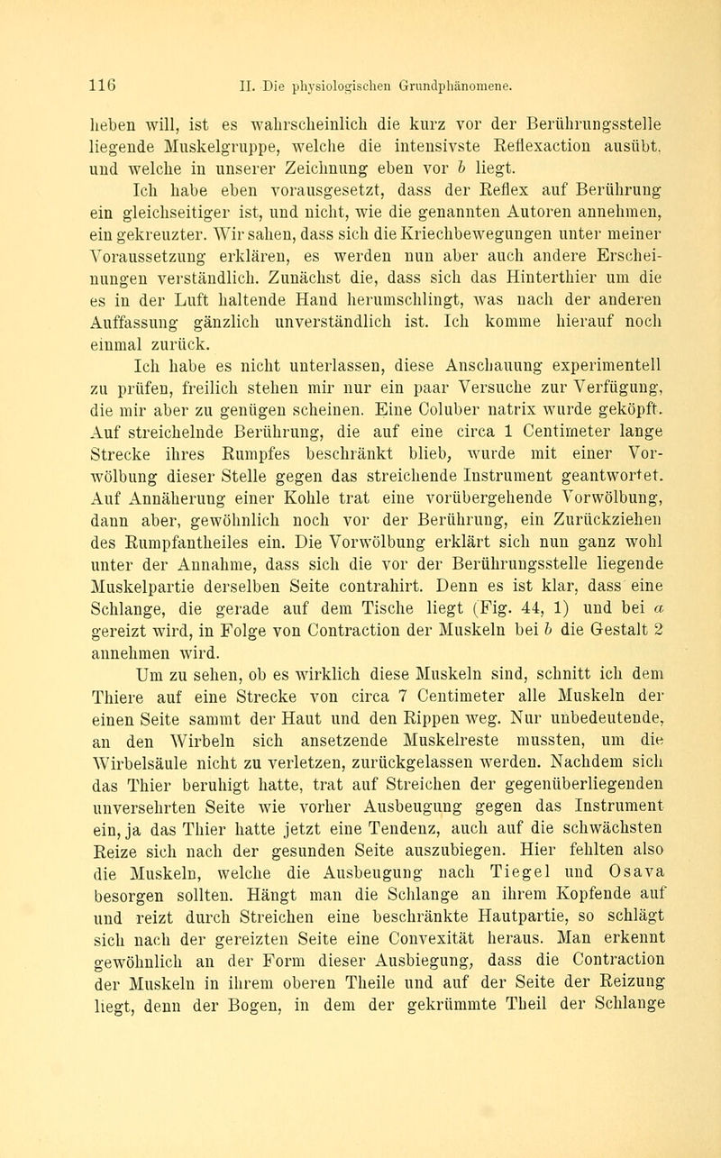 heben will, ist es wahrscheinlich die kurz vor der Berühriingsstelle liegende Muskelgruppe, welche die intensivste Reflexaction ausübt, und welche in unserer Zeichnung eben vor l liegt. Ich habe eben vorausgesetzt, dass der Eeflex auf Berührung ein gleichseitiger ist, und nicht, wie die genannten Autoren annehmen, ein gekreuzter. Wir sahen, dass sich die Kriechbewegungen unter meiner Voraussetzung erklären, es werden nun aber auch andere Erschei- nungen verständlich. Zunächst die, dass sich das Hinterthier um die es in der Luft haltende Hand herumschlingt, w^as nach der anderen Auffassung gänzlich unverständlich ist. Ich komme hierauf noch einmal zurück. Ich habe es nicht unterlassen, diese Anschauung experimentell zu prüfen, freilich stehen mir nur ein paar Versuche zur Verfügung, die mir aber zu genügen scheinen. Eine Coluber natrix wurde geköpft. Auf streichelnde Berührung, die auf eine circa 1 Centimeter lange Strecke ihres Eumpfes beschränkt blieb; wurde mit einer Vor- wölbung dieser Stelle gegen das streichende Instrument geantwortet. Auf Annäherung einer Kohle trat eine vorübergehende Vorwölbung, dann aber, gewöhnlich noch vor der Berührung, ein Zurückziehen des Eumpfantheiles ein. Die Vorwölbung erklärt sich nun ganz wohl unter der Annahme, dass sich die vor der Berührungsstelle liegende Muskelpartie derselben Seite contrahirt. Denn es ist klar, dass eine Schlange, die gerade auf dem Tische liegt (Fig. 44, 1) und bei a gereizt wird, in Folge von Contraction der Muskeln bei h die Gestalt 2 annehmen wird. Um zu sehen, ob es wirklich diese Muskeln sind, schnitt ich dem Thiere auf eine Strecke von circa 7 Centimeter alle Muskeln der einen Seite sammt der Haut und den Rippen weg. Nur unbedeutende, an den Wirbeln sich ansetzende Muskelreste mussten, um die Wirbelsäule nicht zu verletzen, zurückgelassen werden. Nachdem sich das Thier beruhigt hatte, trat auf Streichen der gegenüberliegenden unversehrten Seite wie vorher Ausbeugung gegen das Instrument ein, ja das Thier hatte jetzt eine Tendenz, auch auf die schwächsten Reize sich nach der gesunden Seite auszubiegen. Hier fehlten also die Muskeln, welche die Ausbeugung nach Tiegel und Osava besorgen sollten. Hängt man die Schlange an ihrem Kopfende auf und reizt durch Streichen eine beschränkte Hautpartie, so schlägt sich nach der gereizten Seite eine Convexität heraus. Man erkennt gewöhnlich an der Form dieser Ausbiegung; dass die Contraction der Muskeln in ihrem oberen Theile und auf der Seite der Reizung liegt, denn der Bogen, in dem der gekrümmte Theil der Schlange