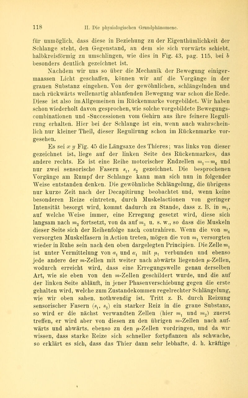 für unmöglich, dass diese in Beziehung zu der Eigenthümlichkeit der Schlange steht, den Gegenstand, an dem sie sich vorwärts schiebt, halbkreisförmig zu umschlingen, wie dies in Fig. 43, pag. 115, bei h besonders deutlich gezeichnet ist. Nachdem wir uns so über die Mechanik der Bewegung einiger- maassen Licht geschalten, können wir auf die Vorgänge in der grauen Substanz eingehen. Von der gewöhnlichen, schlängelnden und nach rückwärts wellenartig ablaufenden Bewegung war schon die Rede. Diese ist also im Allgemeinen im Rückenmarke vorgebildet. Wir haben schon wiederholt davon gesprochen, wie solche vorgebildete Bewegungs- combinationen und -Successionen vom Gehirn aus ihre feinere Reguli- rung erhalten. Hier bei der Schlange ist ein, wenn auch wahrschein- lich nur kleiner Theil, dieser Regulirung schon im Rückenmarke vor- gesehen. Es sei X y Fig. 45 die Längsaxe des Thieres; was links von dieser gezeichnet ist, liege auf der linken Seite des Rückenmarkes, das andere rechts. Es ist eine Reihe motorischer Endzellen m^ — m^ und nur zwei sensorische Fasern s^, s^ gezeichnet. Die besprochenen Vorgänge am Rumpf der Schlange kann man sich nun in folgender Weise entstanden denken. Die gewöhnliche Schlängelung, die übrigens nur kurze Zeit nach der Decapitirung beobachtet und, wenn keine besonderen Reize eintreten, durch Muskelactionen von geringer Intensität besorgt wird, kommt dadurch zu Stande, dass z. B. in m^, auf welche Weise immer, eine Erregung gesetzt wird, diese sich langsam nach mg fortsetzt, von da auf m.^ u. s. w., so dass die Muskeln dieser Seite sich der Reihenfolge nach contrahiren. Wenn die von Wg versorgten Muskelfasern in Action treten, mögen die von m^ versorgten wieder in Ruhe sein nach den oben dargelegten Principien. Die Zelle m^ ist unter Vermittelung von a^ und a^ mit ^, verbunden und ebenso jede andere der m-Zellen mit weiter nach abwärts liegenden fi-Zellen, wodurch erreicht ward, dass eine Erregungswelle genau derselben Art, wie sie eben von den m-Zellen geschildert wurde, und die auf der linken Seite abläuft, in jener Phasenverschiebung gegen die erste gehalten wird, welche zum Zustandekommen regelrechter Schlängelung, wie wir oben sahen, nothwendig ist. Tritt z. B. durch Reizung sensorischer Fasern (s^, «2) ein starker Reiz in die graue Substanz, so wird er die nächst verwandten Zellen (hier m^ und m^) zuerst treffen, er wird aber von diesen zu den übrigen m-Zellen nach auf- wärts und abwärts, ebenso zu den fi-Zellen vordringen, und da wir wissen, dass starke Reize sich schneller fortpflanzen als schwache, so erklärt es sich, dass das Thier dann sehr lebhafte, d. h. kräftige