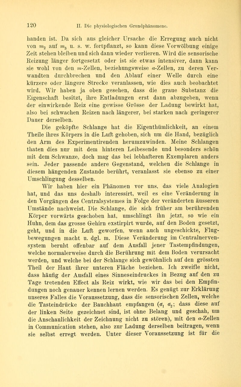 banden ist. Da sich aus gleicher Ursache die Erregung auch nicht von m2 auf W.3 u. s. w. fortpflanzt, so kann diese Vorwölbung einige Zeit stehen bleiben und sich dann wieder verlieren. Wird die sensorische Eeizung länger fortgesetzt oder ist sie etwas intensiver, dann kann sie wohl von den w-Zellen, beziehungsweise a-Zellen, zu deren Ver- wandten durchbrechen und den Ablauf einer Welle durch eine kürzere oder längere Strecke veranlassen, wie dies auch beobachtet wird. Wir haben ja oben gesehen, dass die graue Substanz die Eigenschaft besitzt, ihre Entladungen erst dann abzugeben, wenn der einwirkende Eeiz eine gewisse Grösse der Ladung bewirkt hat, also bei schwachen Reizen nach längerer, bei starken nach geringerer Dauer derselben. Die geköpfte Schlange hat die Eigenthümlichkeit, an einem Theile ihres Körpers in die Luft gehoben, sich um die Hand, bezüglich den Arm des Experimentirenden herumzuwinden. Meine Schlangen thaten dies nur mit dem hinteren Leibesende und besonders schön mit dem Schwänze, doch mag das bei lebhafteren Exemplaren anders sein. Jeder passende andere Gegenstand, welchen die Schlange in diesem hängenden Zustande berührt, veranlasst sie ebenso zu einer Umschlingung desselben. Wir haben hier ein Phänomen vor uns, das viele Analogien hat, und das uns deshalb interessirt, weil es eine Veränderung in den Vorgängen des Centralsystemes in Folge der veränderten äusseren Umstände nachweist. Die Schlange, die sich früher am berührenden Körper vorwärts geschoben hat, umschlingt ihn jetzt, so wie ein Huhn, dem das grosse Gehirn exstirpirt wurde, auf den Boden gesetzt, geht, und in die Luft geworfen, w^enn auch ungeschickte, Flug- bewegungen macht u. dgl. m. Diese Veränderung im Centralnerven- system beruht offenbar auf dem Ausfall jener Tastempfindungen, welche normalerweise durch die Berührung mit dem Boden verursacht werden, und welche bei der Schlange sich gewöhnlich auf den grössten Theil der Haut ihrer unteren Fläche beziehen. Ich zweifle nicht, dass häufig der Ausfall eines Sinneseindruckes in Bezug auf den zu Tage tretenden Effect als Reiz wirkt, wie wir das bei den Empfin- dungen noch genauer kennen lernen werden. Es genügt zur Erklärung unseres Falles die Voraussetzung, dass die sensorischen Zellen, welche die Tasteindrücke der Bauchhaut empfangen {6^ 6^\ dass diese auf der linken Seite gezeichnet sind, ist ohne Belang und geschah, um die Anschaulichkeit der Zeichnung nicht zu stören), mit den a-Zellen in Communication stehen, also zur Ladung derselben beitragen, w^enn sie selbst erregt werden. Unter dieser Voraussetzung ist für die