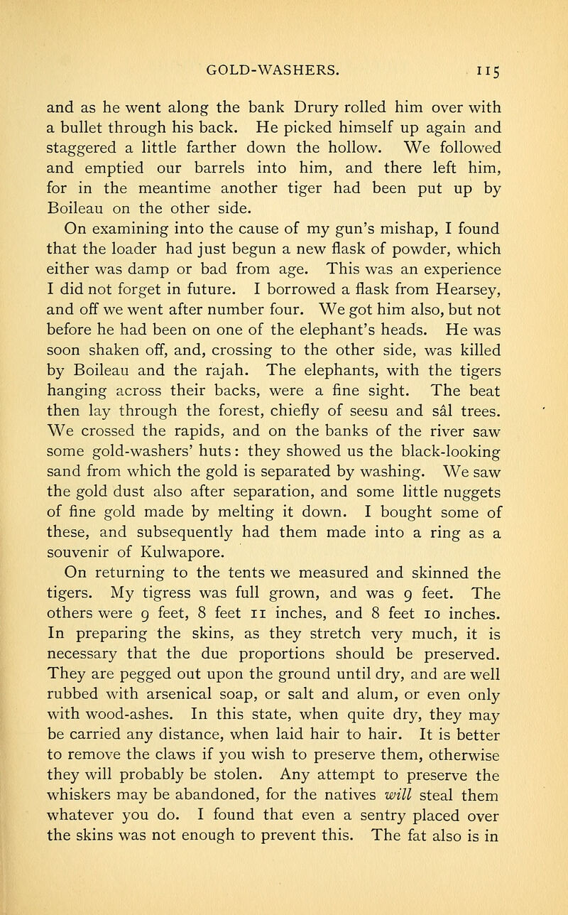 and as he went along the bank Drury rolled him over with a bullet through his back. He picked himself up again and staggered a little farther down the hollow. We followed and emptied our barrels into him, and there left him, for in the meantime another tiger had been put up by Boileau on the other side. On examining into the cause of my gun's mishap, I found that the loader had just begun a new flask of powder, which either was damp or bad from age. This was an experience I did not forget in future. I borrowed a flask from Hearsey, and off we went after number four. We got him also, but not before he had been on one of the elephant's heads. He was soon shaken off, and, crossing to the other side, was killed by Boileau and the rajah. The elephants, with the tigers hanging across their backs, were a fine sight. The beat then lay through the forest, chiefly of seesu and sal trees. We crossed the rapids, and on the banks of the river saw some gold-washers' huts: they showed us the black-looking sand from which the gold is separated by washing. We saw the gold dust also after separation, and some little nuggets of fine gold made by melting it down. I bought some of these, and subsequently had them made into a ring as a souvenir of Kulwapore. On returning to the tents we measured and skinned the tigers. My tigress was full grown, and was 9 feet. The others were g feet, 8 feet 11 inches, and 8 feet 10 inches. In preparing the skins, as they stretch very much, it is necessary that the due proportions should be preserved. They are pegged out upon the ground until dry, and are well rubbed with arsenical soap, or salt and alum, or even only with wood-ashes. In this state, when quite dry, they may be carried any distance, when laid hair to hair. It is better to remove the claws if you wish to preserve them, otherwise they will probably be stolen. Any attempt to preserve the whiskers may be abandoned, for the natives will steal them whatever you do. I found that even a sentry placed over the skins was not enough to prevent this. The fat also is in