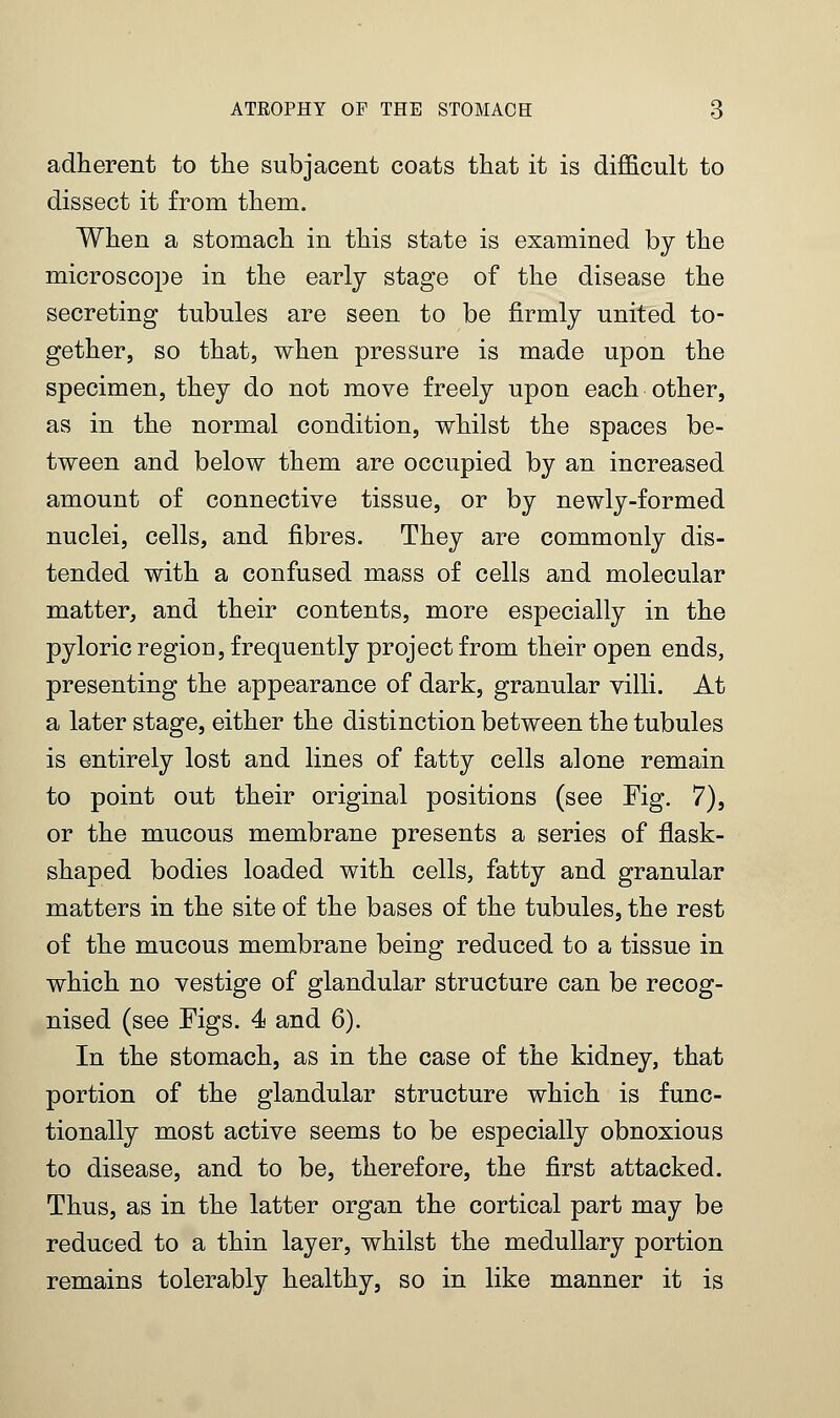 adherent to the subjacent coats that it is difficult to dissect it from them. When a stomach in this state is examined by the microscope in the early stage of the disease the secreting tubules are seen to be firmly united to- gether, so that, when pressure is made upon the specimen, they do not move freely upon each other, as in the normal condition, whilst the spaces be- tween and below them are occupied by an increased amount of connective tissue, or by newly-formed nuclei, cells, and fibres. They are commonly dis- tended with a confused mass of cells and molecular matter, and their contents, more especially in the pyloric region, frequently project from their open ends, presenting the appearance of dark, granular villi. At a later stage, either the distinction between the tubules is entirely lost and lines of fatty cells alone remain to point out their original positions (see Fig. 7), or the mucous membrane presents a series of flask- shaped bodies loaded with cells, fatty and granular matters in the site of the bases of the tubules, the rest of the mucous membrane being reduced to a tissue in which no vestige of glandular structure can be recog- nised (see Figs. 4 and 6). In the stomach, as in the case of the kidney, that portion of the glandular structure which is func- tionally most active seems to be especially obnoxious to disease, and to be, therefore, the first attacked. Thus, as in the latter organ the cortical part may be reduced to a thin layer, whilst the medullary portion remains tolerably healthy, so in like manner it is