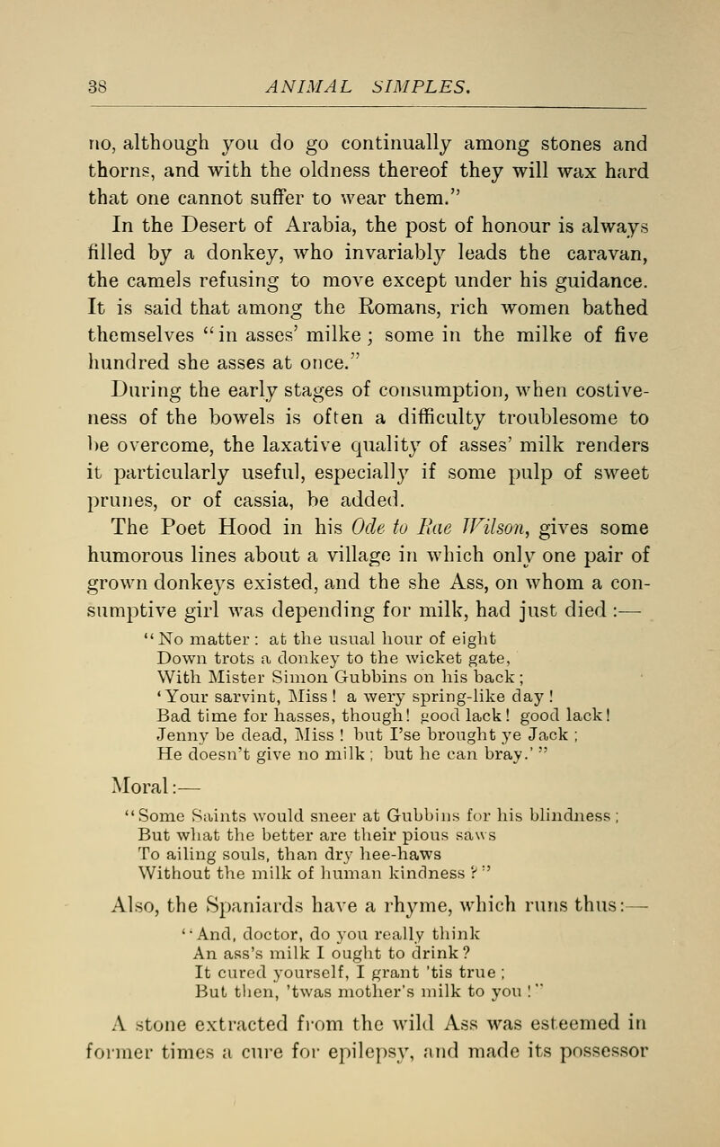 no, although you do go continually among stones and thorns, and with the oldness thereof they will wax hard that one cannot suffer to wear them. In the Desert of Arabia, the post of honour is always filled by a donkey, who invariably leads the caravan, the camels refusing to move except under his guidance. It is said that among the Romans, rich women bathed themselves in asses' milke; some in the milke of five hundred she asses at once. During the early stages of consumption, when costive- ness of the bowels is often a difficulty troublesome to be overcome, the laxative quality of asses' milk renders it particularly useful, especially if some pulp of sweet prunes, or of cassia, be added. The Poet Hood in his OcU to Ihie JFilson, gives some humorous lines about a village in which only one pair of grown donkeys existed, and the she Ass, on whom a con- sumptive girl was depending for milk, had just died :—  No matter : at the usual hour of eight Down trots a donkey to the wicket gate, With Mister Simon Gubbins on his back; 'Your sarvint. Miss ! a wery spring-like day I Bad time for hasses, though I good lack! good lack! Jenny be dead. Miss ! but I'se brought ye Jack ; He doesn't give no milk ; but he can bray.'  Moral:— Some Saints would sneer at Gubbins for his blindness ; But what the better are their pious saws To ailing souls, than dry hee-haws Without the milk of human kindness ?  Also, the Spaniards have a rhyme, which runs thus:— And, doctor, do you really think An ass's milk I ought to drink ? It cured yourself, I grant 'tis true ; But then, 'twas mother's milk to you !' A stone extracted fiom the wild Ass was esteemed in former times a cuie for epilepsy, and made its possessor