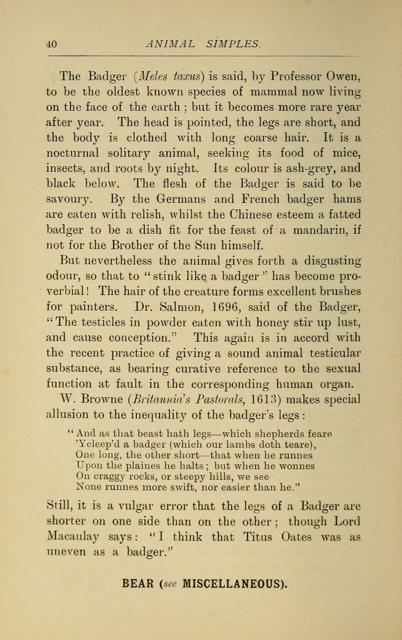 The Badger {Meles taxus) is said, by Professor Owen, to be tbe oldest known species of mammal now living on the face of the earth ; but it becomes more rare year after year. The head is pointed, the legs are short, and the body is clothed with long coarse hair. It is a nocturnal solitary animal, seeking its food of mice, insects, and roots by night. Its colour is ash-grey, and black below. The flesh of the Badger is said to be savoury. By the Germans and French badger hams are eaten with relish, whilst the Chinese esteem a fatted badger to be a dish fit for the feast of a mandarin, if not for the Brother of the Sun himself. But nevertheless the animal gives forth a disgusting odour, so that to  stink like a badger  has become pro- verbial ! The hair of the creature forms excellent brushes for painters. Dr. Salmon, 1696, said of the Badger,  The testicles in powder eaten with honey stir up lust, and cause conception. This again is in accord with the recent practice of giving a sound animal testicular substance, as bearing curative reference to the sexual function at fault in the corresponding human organ. W. Browne {Britannia's Pastorals, 1613) makes special allusion to the inequality of the badger's legs :  And as tliat beast hath legs—which shepherds feare 'Ycleep'd a badger (which our lambs doth teare), One long, the other short—that when he runnes Upon the plaines he halts ; but when he wonnes On craggy rocks, or steepy hills, we see None runnes more swift, nor easier than he. Still, it is a vulgar error that the legs of a Badger are shorter on one side than on the other; though Lord Macaulay says:  I think that Titus Gates was as uneven as a badger. BEAR {sec MISCELLANEOUS).