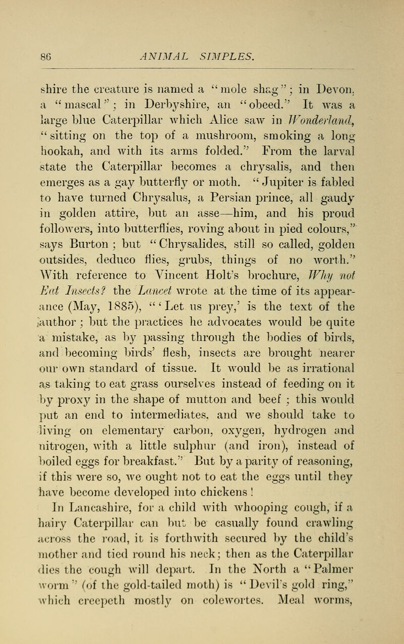 A NIMA L SIM PL ES. shire the creature is named a mole shag; in Devon, a mascal; in Derbj^shire, an obeed. It was a large blue Caterpillar which Alice saw in IFonderland^  sitting on the top of a mushroom, smoking a long hookah, and with its arms folded. From the larval state the Caterpillar becomes a chrysalis, and then emerges as a gay butterfly or moth.  Jupiter is fabled to have turned Chrysalus, a Persian prince, all gaudy in golden attire, but an asse—him, and his proud followers, into butterflies, roving about in pied colours, says Burton; but Chrysalides, still so called, golden outsides, deduco flies, grubs, things of no worth. With reference to Vincent Holt's brochure, JFhy not Eat Insects? the Lancet wrote at the time of its appear- ance (May, 1885), 'Let us prey,' is the text of the [author ; but the pi'actices he advocates would be quite a mistake, as by passing through the bodies of birds, and becoming birds' flesh, insects are brought nearer our own standard of tissue. It would be as irrational a.s taking to eat grass ourselves instead of feeding on it by proxy in the shape of mutton and beef ; this would put an end to intermediates, and we should take to living on elementarj^ carbon, oxygen, hydrogen and nitrogen, with a little sulphiu- (and iron), instead of boiled eggs for breakfast. But by a parity of reasoning, if this were so, Ave ought not to eat the eggs until they have become developed into chickens ! In Lancashire, for a child with whooping cough, if a hairy Caterpillar can but be casually found crawling across the road, it is forthwith secured by the child's mother and tied round his neck; then as the Caterpillar dies the cough will dcpait. In the North a Palmer noi-m  (of the gold-tailed moth) is  Devils gold ring, \vhich crcepcth mostly on colewortes. Meal worms,