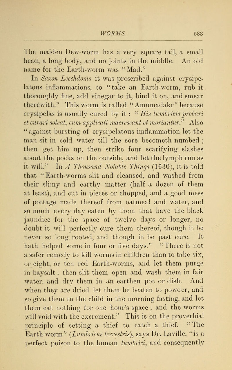 The maiden Dew-worm htas a very square tail, a small head, a long body, and no joints in the middle. An old name for the Earth-worm was Mad. In Saxon Leechdoms it was proscribed against erysipe- latous inflammations, to take an Earth-worm, rub it thoroughly fine, add vinegar to it, bind it on, and smear therewith. This worm is called Amumadakr because erysipelas is usually cured by it : His Inmhricis prohari et ciirari soleat, aim applicati macrescant et morianhir.'^ Also against bursting of erysipelatous imfiammation let the man sit in cold water till the sore becometh numbed ; then get him up, then strike four scarifying slashes about the pocks on the outside, and let the lymph run as it will. In A Thousand Notahle Things (1630), it is told that Earth-worms slit and cleansed, and washed from their slimy and earthy matter (half a dozen of them at least), and cut in pieces or chopped, and a good mess of pottage made thereof from oatmeal and water, and so much every day eaten by them that have the black jaundice for ihe space of twelve days or longer, no doubt it will perfectly cure them thereof, though it be never so long rooted, and though it be past cure. It hath helped some in four or five days. There is not a safer remedy to kill worms in children than to take six, or eight, or ten red Earth-worms, and let them purge in baysalt; then slit them open and wash them in fair water, and dry them in an earthen pot or dish. And when they are dried let them be beaten to powder, and so give them to the child in the morning fasting, and let them eat nothing for one hour's space; and the worms will void with the excrement. This is on the proverbial principle of setting a thief to catch a thief. The Earth-worm {Lumlmcus ierrestris), says Dr. Laville, is a perfect poison to the human lumhrici, and consequently