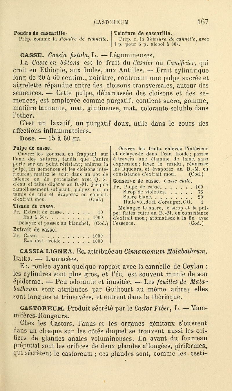 Pondre de cascarille- Prép. comme la Poudre de cannelle. Teinture de cascarille. Prép. c. la Teinture de cannelle, avec i p. pour 5 p. alcool à 80°. CASSE. Cassia fistuIafL.—Légumineuses. La Casse en bâtons est le fruit du Cassier ou Canéficier, qui croît en Ethiopie, aux Indes, aux Antilles. — Fruit cylindrique long de 20 à 60 centim., noirâtre, contenant une pulpe sucrée et aigrelette répandue entre des cloisons transversales, autour des semences. — Cette pulpe, débarrassée des cloisons et des se- mences, est employée comme purgatif; contient sucre, gomme, matière tannante, mat. glutineuse, mat. colorante soluble dans l'éther. C'est un laxatif, un purgatif doux, utile dans le cours des affections inflammatoires. Dose. — 15 à 60 gr. Pulpe de casse. Ouvrez les gousses, en frappant sur l'une des sutures, tandis que l'autre porte sur-un point résistant; enlevez la pulpe, les semences et les cloisons inté- rieures ; mettez le tout dans un pot de faïence ou de porcelaine avec Q. S. d'eau et faites digérer au B.-M. jusqu'à ramollissement suffisant; pulpez sur un tamis de crin et évaporez en consist. d'extrait mou. (God.) Tisane de casse. Pr. Extrait de casse 10 Eau à 60 1000 Délayez et passez au blanchet. (God.) Extrait de casse. Pr. Casse 1000 Eau dist. froide 1000 Ouvrez les fruits, enlevez l'intérieur et délayez-le dans l'eau froide; passez à travers une étamine de laine, sans expression; lavez le résidu , réunissez les liqueurs, et évaporez au B.-M. en consistance d'extrait mou. (Cod.) Conserve de casse. Casse cuite. Pr. Pulpe de casse 100 Sirop de violettes 75 Sucre blanc 20 Huilevol.de fi. d'oranger.Gtt. 1 Mélangez le sucre, le sirop et la pul- pe; faites cuire au B.-M. en consistance d'extrait mou; aromatisez à la fin avec l'essence. (God.) cassia lignea. Ec. attribuée au Cinnamomum Malabathrum, Batka. — Lauracées. Ec. roulée ayant quelque rapport avec la cannelle de Ceylan : les cylindres sont plus gros, et l'éc. est souvent munie de son épiderme. — Peu odorante et inusitée. — Les feuilles de Mala- bathrum sont attribuées par Guibourt au même arbre; elles sont longues et trinervées, et entrent dans la thériaque. gastoreum. Produit sécrété par le Castor Fiber, L. — Mam- mifères-Rongeurs. Chez les Castors, l'anus et les organes génitaux s'ouvrent dans un cloaque sur les côtés duquel se trouvent aussi les ori- fices de glandes anales volumineuses» En avant du fourreau préputial sont les orifices de deux glandes allongées, piriformes, qui sécrètent le castoreum 5 ces glandes sont, comme les testi-