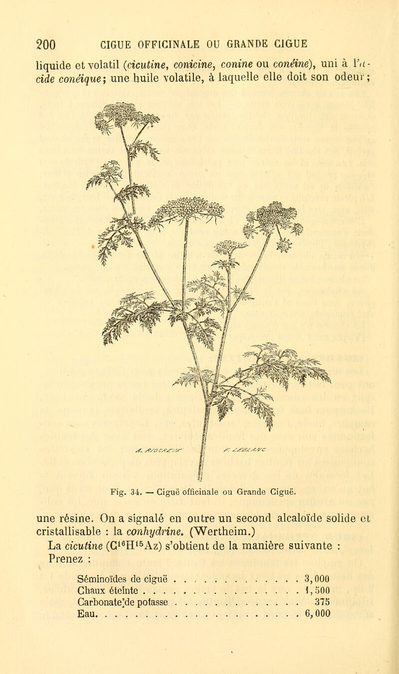 liquide et volatil (cicutine, conicine, conine ou conéine), uni à l'a- cide conéique ; une huile volatile, à laquelle elle doit son odeur ; i !} Fig. 34. — Ciguë officinale ou Grande Ciguë. une résine. On a signalé en outre un second alcaloïde solide et cristallisable : la conhydrine. (Wertheim.) La cicutine (G16H15Az) s'obtient de la manière suivante : Prenez : Séminoïdes de ciguë . . . 3,000 Chaux éteinte 1,500 Carbonate^de potasse 375 Eau 6,000