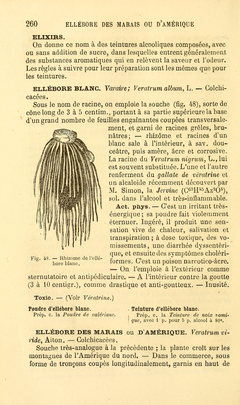 ELIXIRS. On donne ce nom à des teintures alcooliques composées, avec ou sans addition de sucre, dans lesquelles entrent généralement des substances aromatiques qui en relèvent la saveur et l'odeur. Les règles à suivre pour leur préparation sont les mêmes que pour les teintures. ELLÉBORE BLANC. Varaire; Veratrum album, L. — Colchi- cacées. Sous le nom de racine, on emploie la souche (fig. 48), sorte de cône long de 3 à 5 centim., portant à sa partie supérieure la base d'un grand nombre de feuilles engainantes coupées transversale- ment, et garni de racines grêles, bru- nâtres; — rhizome et racines d'un blanc sale à l'intérieur, à sav. dou- ceâtre, puis amère, acre et corrosive. La racine du Veratrum nigrum, L.,lui est souvent substituée. L'une et l'autre renferment du gallate de vératrine et un alcaloïde récemment découvert par M. Simon, la Jervine (G63H45Az205), sol. dans l'alcool et très-inflammable. Act. phys. — C'est un irritant très- énergique ; sa poudre fait violemment éternuer. Ingéré, il produit une sen- sation vive de chaleur, salivation et transpiration ; à dose toxique, des vo- missements, une diarrhée dyssentéri- que, et ensuite des symptômes choléri- formes. C'est un poison narcotico-âcre. — On l'emploie à l'extérieur comme sternutatoire et antipédiculaire. — A l'intérieur contre la goutte (3 à 10 centigr.), comme drastique et anti-goutteux. — Inusité. Fig. 48. — Rhizome de l'ellé- bore blanc. Toxio. — (Voir Vératrine.) Poudre d'ellébore blanc. Prép. c. la Poudre de valériane. Teinture d'ellébore blanc. Prép. c. la Teinture de noix vomi- que, avec 1 p. pour 5 p. alcool à 80°. ELLÉBORE DES MARAIS ou D'AMÉRIQUE. Veratrum VI- ride, Aiton. — Colchicacées. Souche très-analogue à la précédente ; la plante croît sur les montagnes de l'Amérique du nord. — Dans le commerce, sous forme de tronçons coupés longitudinalement, garnis en haut de