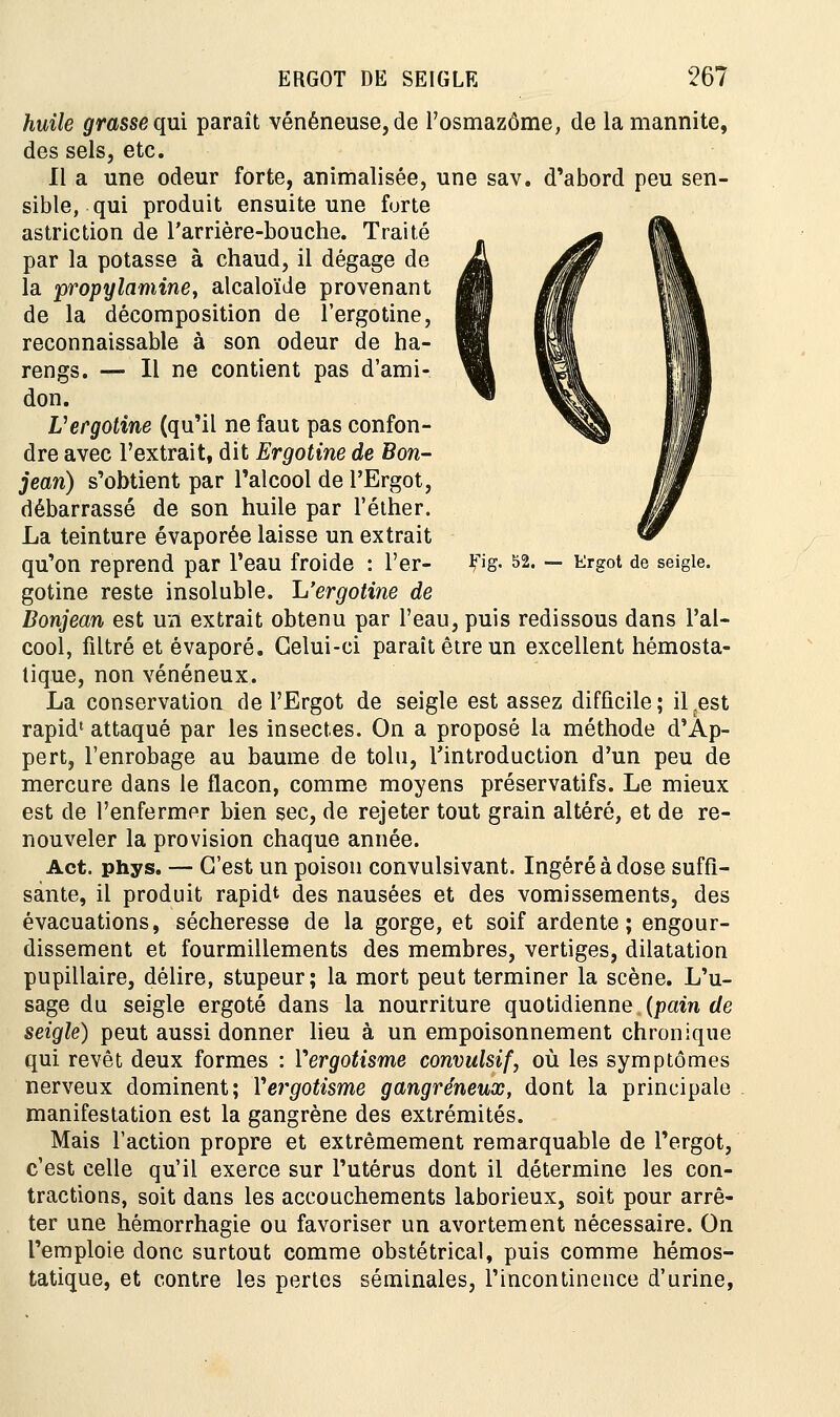 Ifig. 52. — Ergot de seigle. huile grasse qui paraît vénéneuse, de l'osmazôme, de lamannite, des sels, etc. Il a une odeur forte, animalisée, une sav. d'abord peu sen- sible, qui produit ensuite une forte astriction de l'arrière-bouche. Traité par la potasse à chaud, il dégage de la propylamine, alcaloïde provenant de la décomposition de î'ergotine, reconnaissable à son odeur de ha- rengs. — Il ne contient pas d'ami- don. Uergotîne (qu'il ne faut pas confon- dre avec l'extrait, dit Ergotine de Bon- jean) s'obtient par l'alcool de l'Ergot, débarrassé de son huile par l'éther. La teinture évaporée laisse un extrait qu'on reprend par l'eau froide : I'er- gotine reste insoluble. L'ergotine de Bonjean est un extrait obtenu par l'eau, puis redissous dans l'al- cool, filtré et évaporé. Celui-ci paraît être un excellent hémosta- tique, non vénéneux. La conservation de l'Ergot de seigle est assez difficile; ilDest rapid1 attaqué par les insectes. On a proposé la méthode d'Ap- pert, l'enrobage au baume de tolu, l'introduction d'un peu de mercure dans le flacon, comme moyens préservatifs. Le mieux est de l'enfermer bien sec, de rejeter tout grain altéré, et de re- nouveler la provision chaque année. Act. phys, — C'est un poison convulsivant. Ingéré à dose suffi- sante, il produit rapidt des nausées et des vomissements, des évacuations, sécheresse de la gorge, et soif ardente; engour- dissement et fourmillements des membres, vertiges, dilatation pupillaire, délire, stupeur; la mort peut terminer la scène. L'u- sage du seigle ergoté dans la nourriture quotidienne (pain de seigle) peut aussi donner lieu à un empoisonnement chronique qui revêt deux formes : Yergotisme convulsif, où les symptômes nerveux dominent; Yergotisme gangreneux, dont la principale manifestation est la gangrène des extrémités. Mais l'action propre et extrêmement remarquable de l'ergot, c'est celle qu'il exerce sur l'utérus dont il détermine les con- tractions, soit dans les accouchements laborieux, soit pour arrê- ter une hémorrhagie ou favoriser un avortement nécessaire. On l'emploie donc surtout comme obstétrical, puis comme hémos- tatique, et contre les pertes séminales, l'incontinence d'urine,