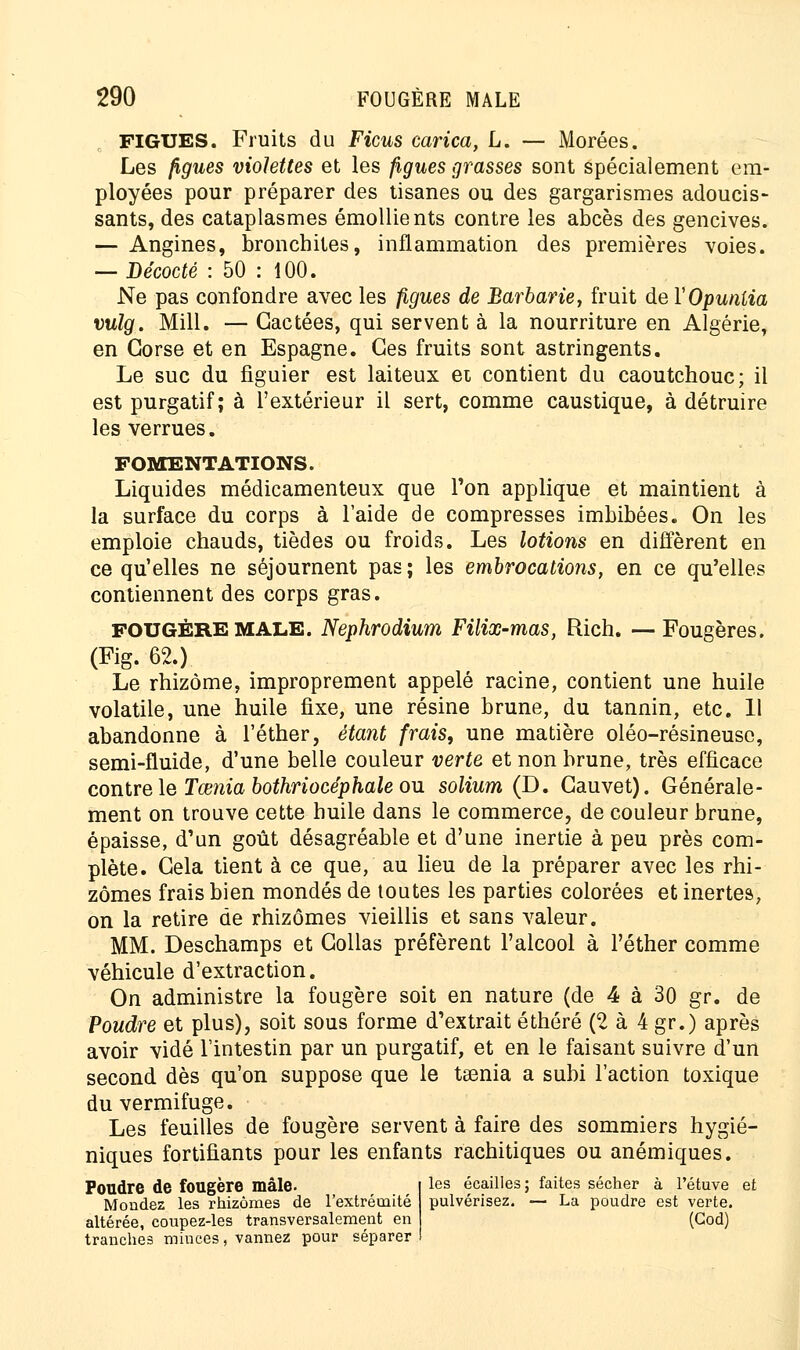FIGUES. Fruits du Ficus carica, L. — Morées. Les figues violettes et les figues grasses sont spécialement em- ployées pour préparer des tisanes ou des gargarismes adoucis- sants, des cataplasmes émollients contre les abcès des gencives. — Angines, bronchites, inflammation des premières voies. — Décodé : 50 : 100. Ne pas confondre avec les figues de Barbarie, fruit de Y Opuntia vulg. Mill. — Cactées, qui servent à la nourriture en Algérie, en Corse et en Espagne. Ces fruits sont astringents. Le suc du figuier est laiteux et contient du caoutchouc; il est purgatif; à l'extérieur il sert, comme caustique, à détruire les verrues. FOMENTATIONS. Liquides médicamenteux que Ton applique et maintient à la surface du corps à l'aide de compresses imbibées. On les emploie chauds, tièdes ou froids. Les lotions en diffèrent en ce qu'elles ne séjournent pas; les embrocations, en ce qu'elles contiennent des corps gras. FOUGÈRE MALE. Nephrodium Filix-mas, Rien. —Fougères. (Fig. 62.) Le rhizome, improprement appelé racine, contient une huile volatile, une huile fixe, une résine brune, du tannin, etc. 11 abandonne à l'éther, étant frais, une matière oléo-résineusc, semi-fluide, d'une belle couleur verte et non brune, très efficace contre le Tœnia bothriocéphale ou solium (D. Cauvet). Générale- ment on trouve cette huile dans le commerce, de couleur brune, épaisse, d'un goût désagréable et d'une inertie à peu près com- plète. Cela tient à ce que, au lieu de la préparer avec les rhi- zomes frais bien mondés de toutes les parties colorées et inertes, on la retire de rhizomes vieillis et sans valeur. MM. Deschamps et Collas préfèrent l'alcool à l'éther comme véhicule d'extraction. On administre la fougère soit en nature (de 4 à 30 gr. de Poudre et plus), soit sous forme d'extrait éthéré (2 à 4 gr.) après avoir vidé l'intestin par un purgatif, et en le faisant suivre d'un second dès qu'on suppose que le tsenia a subi l'action toxique du vermifuge. Les feuilles de fougère servent à faire des sommiers hygié- niques fortifiants pour les enfants rachitiques ou anémiques. les écailles; faites sécher à l'étuve et pulvérisez. — La poudre est verte. Poudre de fougère mâle. Mondez les rhizomes de l'extrémité tranches minces, vannez pour séparer