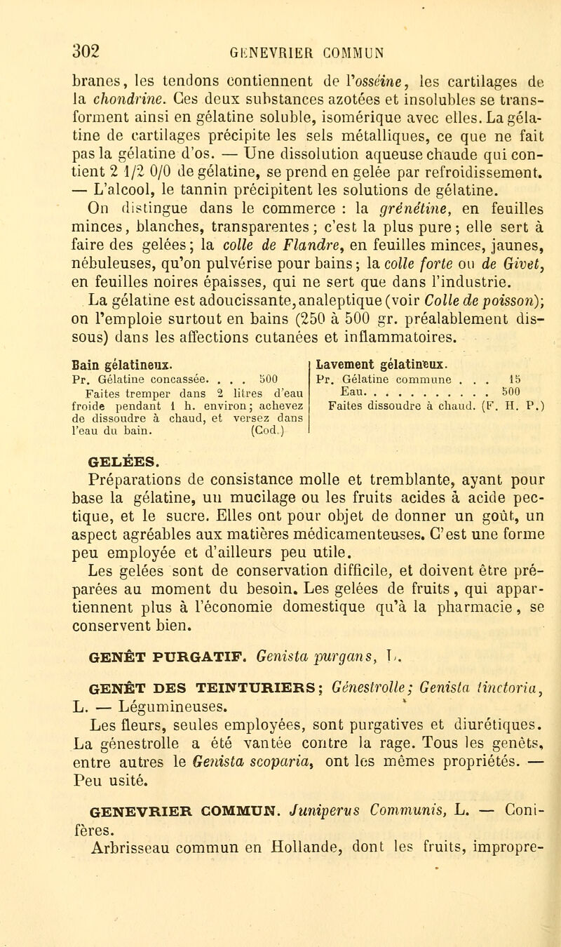 branes, les tendons contiennent de Vosséine, les cartilages de la chondrine. Ces deux substances azotées et insolubles se trans- forment ainsi en gélatine soluble, isomérique avec elles. La géla- tine de cartilages précipite les sels métalliques, ce que ne fait pas la gélatine d'os. — Une dissolution aqueuse chaude qui con- tient 2 1/2 0/0 de gélatine, se prend en gelée par refroidissement. — L'alcool, le tannin précipitent les solutions de gélatine. On distingue dans le commerce : la grénétine, en feuilles minces, blanches, transparentes; c'est la plus pure; elle sert à faire des gelées ; la colle de Flandre, en feuilles minces, jaunes, nébuleuses, qu'on pulvérise pour bains ; la colle forte ou de Givet, en feuilles noires épaisses, qui ne sert que dans l'industrie. La gélatine est adoucissante, analeptique (voir Colle de poisson); on l'emploie surtout en bains (250 à 500 gr. préalablement dis- sous) dans les affections cutanées et inflammatoires. Bain gélatineux. Pr. Gélatine concassée. . . . 500 Faites tremper dans 2 litres d'eau froide pendant 1 h. environ ; achevez de dissoudre à chaud, et versez dans l'eau du bain. (Cod.) Lavement gélatineux. Pr. Gélatine commune ... 15 Eau 500 Faites dissoudre à chaud. (F. H. P.) GELÉES. Préparations de consistance molle et tremblante, ayant pour base la gélatine, un mucilage ou les fruits acides à acide pec- tique, et le sucre. Elles ont pour objet de donner un goût, un aspect agréables aux matières médicamenteuses. C'est une forme peu employée et d'ailleurs peu utile. Les gelées sont de conservation difficile, et doivent être pré- parées au moment du besoin. Les gelées de fruits, qui appar- tiennent plus à l'économie domestique qu'à la pharmacie, se conservent bien. GENÊT PURGATIF. Genista pur g an s, L, GENÊT DES TEINTURIERS; Géîiestrolle; Genista iinctoria, L. — Légumineuses. Les fleurs, seules employées, sont purgatives et diurétiques. La génestrolle a été vantée contre la rage. Tous les genêts, entre autres le Genista scoparia, ont les mêmes propriétés. — Peu usité. GENEVRIER COMMUN. Junipervs Communis, L. — Coni- fères. Arbrisseau commun en Hollande, dont les fruits, impropre-