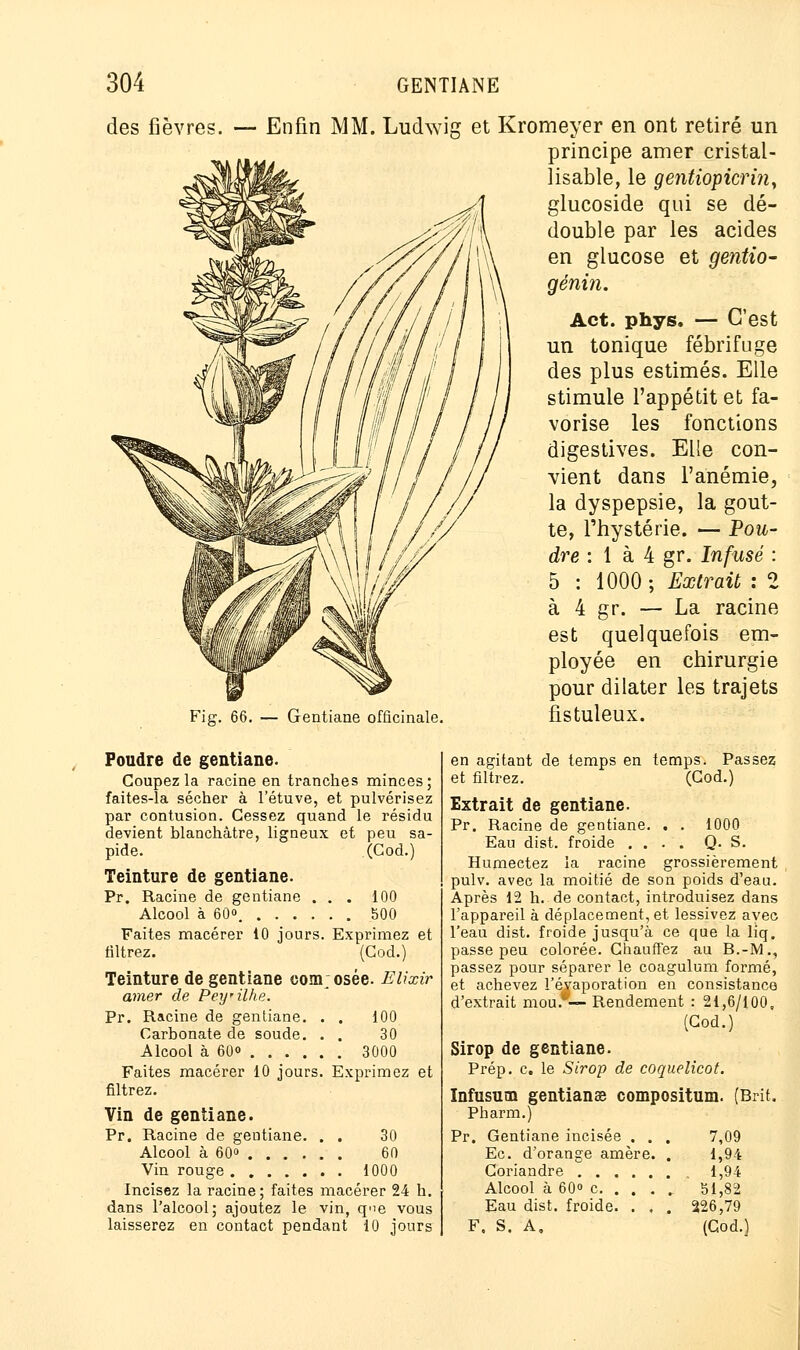 des fièvres. — Enfin MM, — Gentiane officinale. Ludvvig et Kromeyer en ont retiré un principe amer cristal- lisante, le gentiopicrin, glucoside qui se dé- double par les acides en glucose et gentio- génin. Act. phys. — C'est un tonique fébrifuge des plus estimés. Elle stimule l'appétit et fa- vorise les fonctions digestives. Elle con- vient dans l'anémie, la dyspepsie, la gout- te, l'hystérie. — Fou- dre : 1 à 4 gr. Infusé : 5 : 1000; Extrait : 2 à 4 gr. — La racine est quelquefois em- ployée en chirurgie pour dilater les trajets fistuleux. Foudre de gentiane. Coupez la racine en tranches minces; faites-la sécher â l'étuve, et pulvérisez par contusion. Cessez quand le résidu devient blanchâtre, ligneux et peu sa- pide. (Cod.) Teinture de gentiane. Pr. Racine de gentiane ... 100 Alcool à 60 500 Faites macérer 10 jours. Exprimez et filtrez. (Cod.) Teinture de gentiane com osée. Elixir amer de Peyilhe. Pr. Racine de gentiane. . . 100 Carbonate de soude. . . 30 Alcool à 60» 3000 Faites macérer 10 jours. Exprimez et filtrez. Vin de gentiane. Pr. Racine de gentiane. . . 30 Alcool à 60° 60 Vin rouge 1000 Incisez la racine; faites macérer 24 h. dans l'alcool; ajoutez le vin, qne vous laisserez en contact pendant 10 jours en agitant de temps en temps. Passez et filtrez. (Cod.) Extrait de gentiane. Pr. Racine de gentiane. . . 1000 Eau dist. froide .... Q. S. Humectez la racine grossièrement pulv. avec la moitié de son poids d'eau. Après 12 h. de contact, introduisez dans l'appareil à déplacement, et lessivez avec l'eau dist. froide jusqu'à ce que la liq. passe peu colorée. Chauffez au B.-M., passez pour séparer le coagulum formé, et achevez l'éyaporation en consistance d'extrait mou.*— Rendement : 21,6/100, (Cod.) Sirop de gentiane. Prép. c. le Sirop de coquelicot. Infusuru gentianae compositum. (Brit. Pharm.) Pr. Gentiane incisée . . . 7,09 Ec. d'orange amère. . 1,94 Coriandre 1,94 Alcool à 60 c 51,82 Eau dist. froide. . . . 226,79 F. S. A, (Cod.)