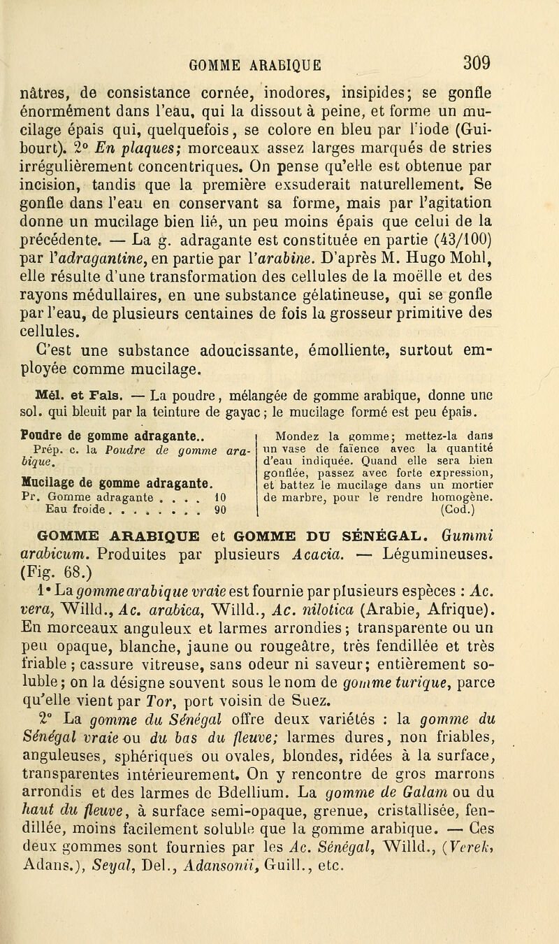 nâtres, de consistance cornée, inodores, insipides; se gonfle énormément dans l'eau, qui la dissout à peine, et forme un mu- cilage épais qui, quelquefois, se colore en bleu par l'iode (Gui- bourt). 2° En plaques; morceaux assez larges marqués de stries irrégulièrement concentriques. On pense qu'elle est obtenue par incision, tandis que la première exsuderait naturellement. Se gonfle dans l'eau en conservant sa forme, mais par l'agitation donne un mucilage bien lié, un peu moins épais que celui de la précédente* — La g. adragante est constituée en partie (43/100) par Vadragantine, en partie par Yarabine. D'après M. Hugo Mohl, elle résulte d'une transformation des cellules de la moelle et des rayons médullaires, en une substance gélatineuse, qui se gonfle par l'eau, de plusieurs centaines de fois la grosseur primitive des cellules. C'est une substance adoucissante, émolliente, surtout em- ployée comme mucilage. Mél. et Fais. — La poudre, mélangée de gomme arabique, donne une sol. qui bleuit par la teinture de gayac; le mucilage formé est peu épais. Poudre de gomme adragante.. Prép. c. la Poudre de gomme ara- bique. Mucilage de gomme adragante. Pr. Gomme adragante .... 10 Eau froide 90 Mondez la somme; mettez-la dana un vase de faïence avec la quantité d'eau indiquée. Quand elle sera bien gonflée, passez avec forte expression, et battez le mucilage dans un mortier de marbre, pour le rendre homogène. (God.) GOMME ARABIQUE et GOMME DU SÉNÉGAL. Gummi arabicum. Produites par plusieurs Acacia. — Légumineuses. (Fig. 68.) 1« La gomme arabique vraie est fournie par plusieurs espèces : Ac. vera, Willd., Ac. arabica, Willd., Ac. nilotica (Arabie, Afrique). En morceaux anguleux et larmes arrondies ; transparente ou un peu opaque, blanche, jaune ou rougeâtre, très fendillée et très friable ; cassure vitreuse, sans odeur ni saveur; entièrement so- luble ; on la désigne souvent sous le nom de gomme turique, parce qu'elle vient par Tor, port voisin de Suez. 2° La gomme du Sénégal offre deux variétés : la gomme du Sénégal vraie ou du bas du fleuve; larmes dures, non friables, anguleuses, sphériques ou ovales, blondes, ridées à la surface, transparentes intérieurement. On y rencontre de gros marrons arrondis et des larmes de Bdellium. La gomme de Galam ou du haut du fleuve, à surface semi-opaque, grenue, cristallisée, fen- dillée, moins facilement soluble que la gomme arabique. — Ces deux gommes sont fournies par les Ac. Sénégal, Willd., (Ver.efa Adans.), Seyal, Del., Adansonii, G-uill., etc.