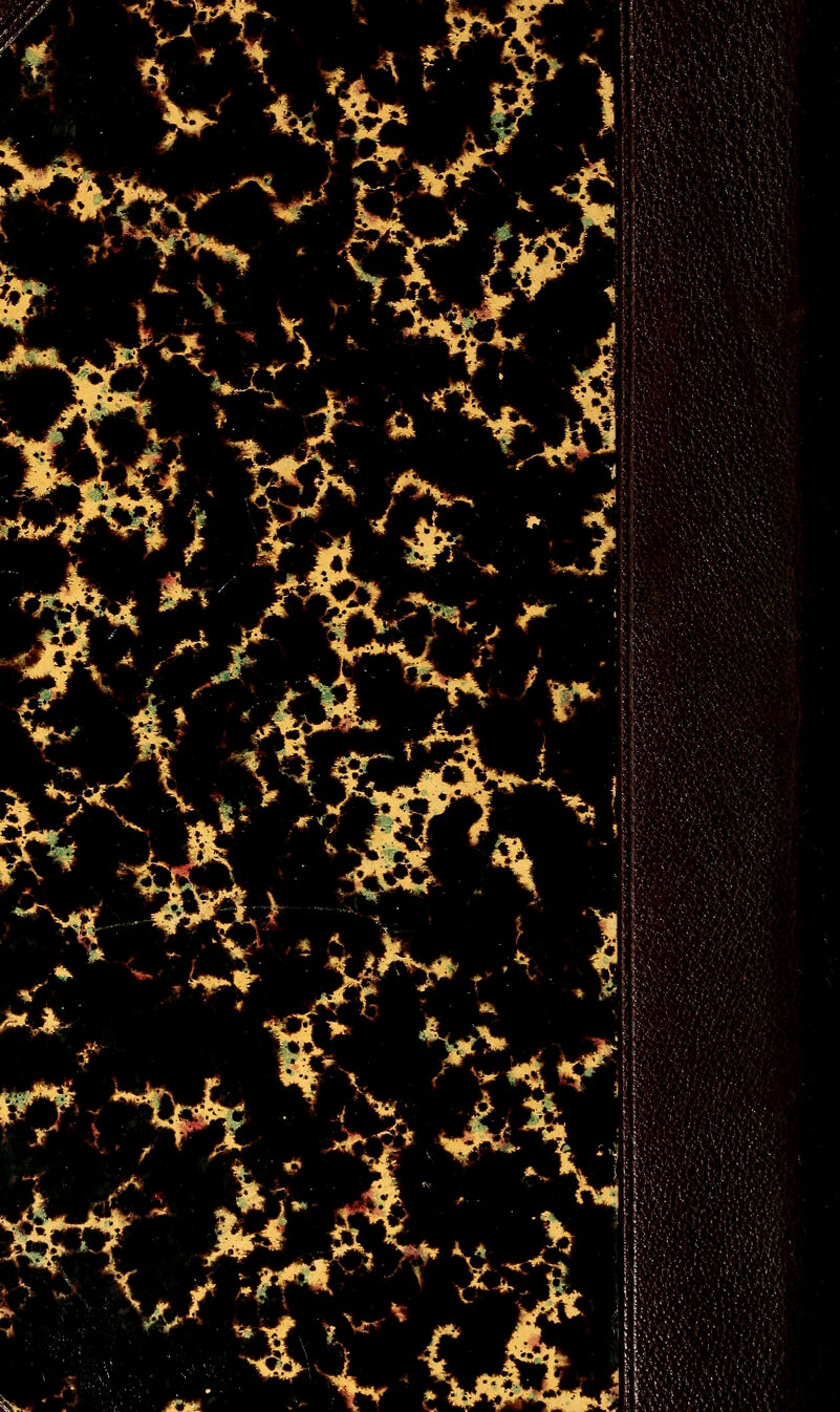 - _ % ' M ;?ì^ ^■d^ tUt*'. ^%- ^^B If^' - **ÌDr^- 1 ^ -'\^^ ■ wft' JÉ ^. ' ■■--■